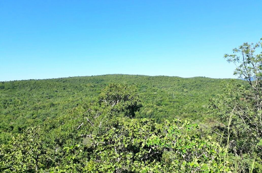 Siqueira Imobiliária de Pirenópolis