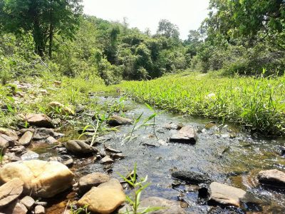 Venda de Casa em Pirenópolis é na Siqueira Imobiliária de Pirenópolis / Imobiliária de Goiás / Imobiliária do Brasil / Imobiliária do Centro-Oeste / Pirenópolis Imóveis / Imóveis Pirenópolis / Imobiliária de Pirenópolis / Pirenópolis Imobiliária / Goiás Imóveis / Brasil Imóveis / Pirenópolis / Goiás / Brasil / Siqueira Imobiliária de Goiás / Consultoria Imobiliária / Consultor Imobiliário / Venda de Imóveis Pirenópolis / Melhor Imobiliária de Pirenópolis / Venda de pousadas / Venda de terrenos / venda de casas/ Venda de Lotes / Venda de Chácara / Venda de Fazenda / Venda de Apartamentos / Venda de Flat / Venda de Sítio / Brasília Imóveis / Goiânia Imóveis / Imobiliária de Goiânia / Imobiliária de Brasília/ Imobiliária em Pirenópolis / Imobiliária de Pirenópolis / Condomínio Fechado Vaga Fogo / Condomínio Paço da Estalagem / Condomínio Parque da Estalagem / Condomínio Quinta do Sol / Condomínio Fechado Pirenópolis / Cachoeiras Pirenópolis / Restaurante Pirenópolis / Imóveis Pirenópolis / Chácara Rio das Almas