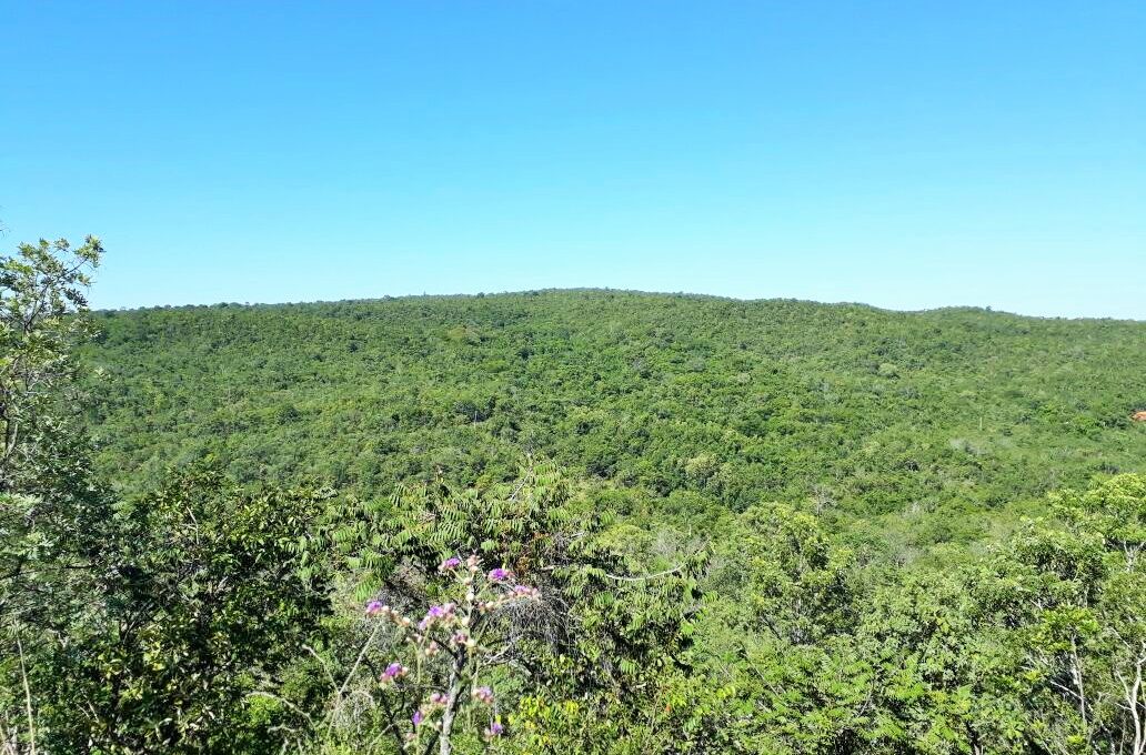 Siqueira Imobiliária de Pirenópolis