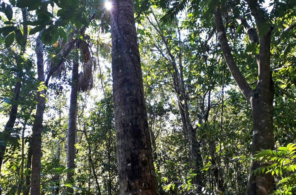 Siqueira Imobiliária de Pirenópolis