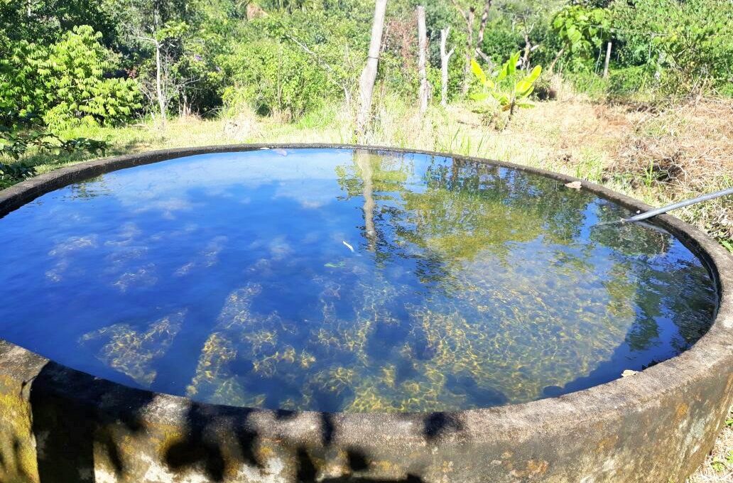 Siqueira Imobiliária de Pirenópolis