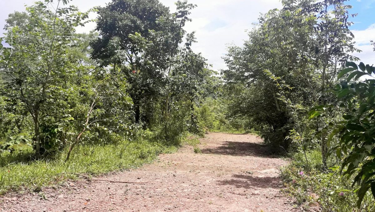 Venda de Terreno Top / Venda de Casa em Pirenópolis é na Siqueira Imobiliária de Pirenópolis / Imobiliária de Goiás / Imobiliária do Brasil / Imobiliária do Centro-Oeste / Pirenópolis Imóveis / Imóveis Pirenópolis / Imobiliária de Pirenópolis / Pirenópolis Imobiliária / Goiás Imóveis / Brasil Imóveis / Pirenópolis / Goiás / Brasil / Siqueira Imobiliária de Goiás / Consultoria Imobiliária / Consultor Imobiliário / Venda de Imóveis Pirenópolis / Melhor Imobiliária de Pirenópolis / Venda de pousadas / Venda de terrenos / venda de casas/ Venda de Lotes / Venda de Chácara / Venda de Fazenda / Venda de Apartamentos / Venda de Flat / Venda de Sítio / Brasília Imóveis / Goiânia Imóveis / Imobiliária de Goiânia / Imobiliária de Brasília/ Imobiliária em Pirenópolis / Imobiliária de Pirenópolis / Condomínio Fechado Vaga Fogo / Condomínio Paço da Estalagem / Condomínio Parque da Estalagem / Condomínio Quinta do Sol / Condomínio Fechado Pirenópolis / Cachoeiras Pirenópolis / Restaurante Pirenópolis / Imóveis Pirenópolis / Chácara Rio das Almas