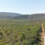 Siqueira Imóveis de Pirenópolis / Goiás / BrasilVenda de Casa em Brasília é na Siqueira Imobiliária de Pirenópolis / Imobiliária de Goiás / Imobiliária do Brasil / Imobiliária do Centro-Oeste / Pirenópolis Imóveis / Imóveis Pirenópolis / Imobiliária de Pirenópolis / Pirenópolis Imobiliária / Goiás Imóveis / Brasil Imóveis / Pirenópolis / Goiás / Brasil / Siqueira Imobiliária de Goiás / Consultoria Imobiliária / Consultor Imobiliário / Venda de Imóveis Pirenópolis / Melhor Imobiliária de Pirenópolis / Venda de pousadas / Venda de terrenos / venda de casas/ Venda de Lotes / Venda de Chácara / Venda de Fazenda / Venda de Apartamentos / Venda de Flat / Venda de Sítio / Brasília Imóveis / Goiânia Imóveis / Imobiliária de Goiânia / Imobiliária de Brasília/ Imobiliária em Pirenópolis / Imobiliária de Pirenópolis / Condomínio Fechado Vaga Fogo / Condomínio Paço da Estalagem / Condomínio Parque da Estalagem / Condomínio Quinta do Sol / Condomínio Fechado Pirenópolis / Cachoeiras Pirenópolis / Restaurante Pirenópolis /