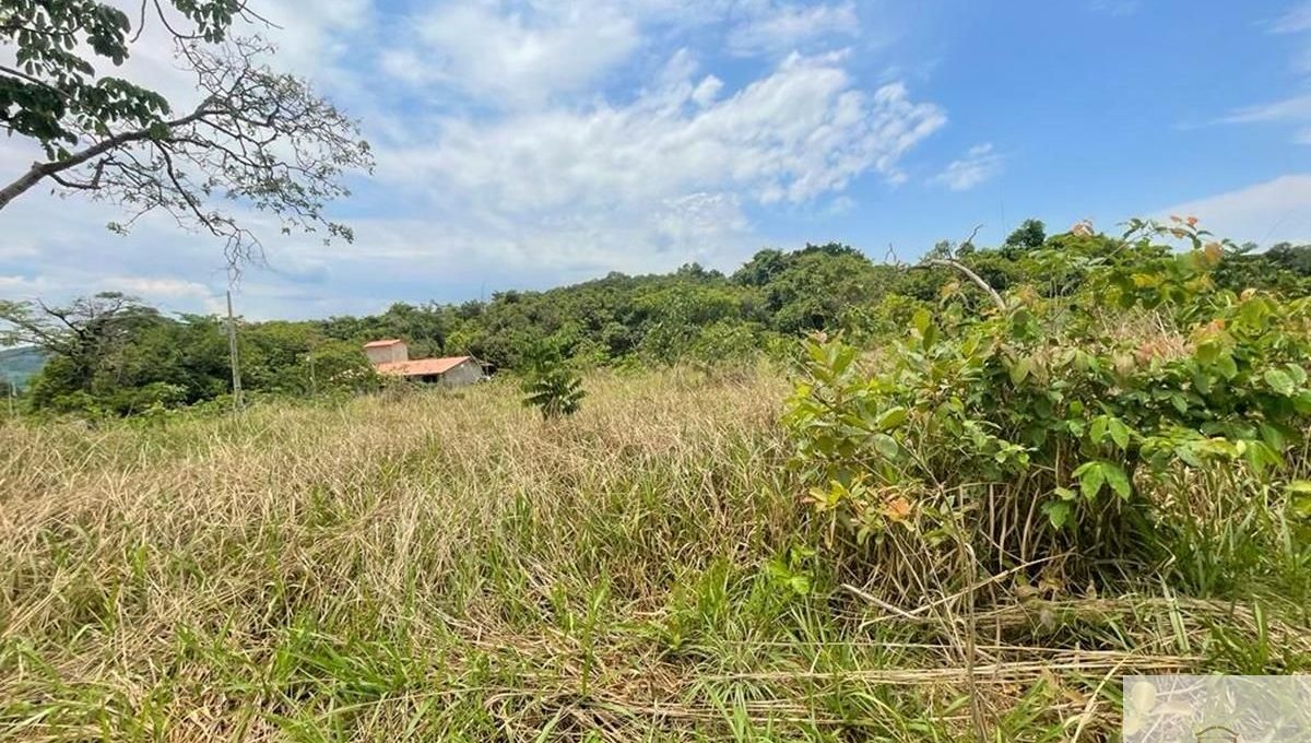 Siqueira Imóveis de Pirenópolis / Goiás / BrasilVenda de Casa em Brasília é na Siqueira Imobiliária de Pirenópolis / Imobiliária de Goiás / Imobiliária do Brasil / Imobiliária do Centro-Oeste / Pirenópolis Imóveis / Imóveis Pirenópolis / Imobiliária de Pirenópolis / Pirenópolis Imobiliária / Goiás Imóveis / Brasil Imóveis / Pirenópolis / Goiás / Brasil / Siqueira Imobiliária de Goiás / Consultoria Imobiliária / Consultor Imobiliário / Venda de Imóveis Pirenópolis / Melhor Imobiliária de Pirenópolis / Venda de pousadas / Venda de terrenos / venda de casas/ Venda de Lotes / Venda de Chácara / Venda de Fazenda / Venda de Apartamentos / Venda de Flat / Venda de Sítio / Brasília Imóveis / Goiânia Imóveis / Imobiliária de Goiânia / Imobiliária de Brasília/ Imobiliária em Pirenópolis / Imobiliária de Pirenópolis / Condomínio Fechado Vaga Fogo / Condomínio Paço da Estalagem / Condomínio Parque da Estalagem / Condomínio Quinta do Sol / Condomínio Fechado Pirenópolis / Cachoeiras Pirenópolis / Restaurante Pirenópolis /