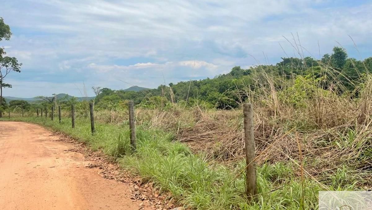 Siqueira Imóveis de Pirenópolis / Goiás / BrasilVenda de Casa em Brasília é na Siqueira Imobiliária de Pirenópolis / Imobiliária de Goiás / Imobiliária do Brasil / Imobiliária do Centro-Oeste / Pirenópolis Imóveis / Imóveis Pirenópolis / Imobiliária de Pirenópolis / Pirenópolis Imobiliária / Goiás Imóveis / Brasil Imóveis / Pirenópolis / Goiás / Brasil / Siqueira Imobiliária de Goiás / Consultoria Imobiliária / Consultor Imobiliário / Venda de Imóveis Pirenópolis / Melhor Imobiliária de Pirenópolis / Venda de pousadas / Venda de terrenos / venda de casas/ Venda de Lotes / Venda de Chácara / Venda de Fazenda / Venda de Apartamentos / Venda de Flat / Venda de Sítio / Brasília Imóveis / Goiânia Imóveis / Imobiliária de Goiânia / Imobiliária de Brasília/ Imobiliária em Pirenópolis / Imobiliária de Pirenópolis / Condomínio Fechado Vaga Fogo / Condomínio Paço da Estalagem / Condomínio Parque da Estalagem / Condomínio Quinta do Sol / Condomínio Fechado Pirenópolis / Cachoeiras Pirenópolis / Restaurante Pirenópolis /