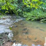 Siqueira Imóveis de Pirenópolis / Goiás / BrasilVenda de Casa em Brasília é na Siqueira Imobiliária de Pirenópolis / Imobiliária de Goiás / Imobiliária do Brasil / Imobiliária do Centro-Oeste / Pirenópolis Imóveis / Imóveis Pirenópolis / Imobiliária de Pirenópolis / Pirenópolis Imobiliária / Goiás Imóveis / Brasil Imóveis / Pirenópolis / Goiás / Brasil / Siqueira Imobiliária de Goiás / Consultoria Imobiliária / Consultor Imobiliário / Venda de Imóveis Pirenópolis / Melhor Imobiliária de Pirenópolis / Venda de pousadas / Venda de terrenos / venda de casas/ Venda de Lotes / Venda de Chácara / Venda de Fazenda / Venda de Apartamentos / Venda de Flat / Venda de Sítio / Brasília Imóveis / Goiânia Imóveis / Imobiliária de Goiânia / Imobiliária de Brasília/ Imobiliária em Pirenópolis / Imobiliária de Pirenópolis / Condomínio Fechado Vaga Fogo / Condomínio Paço da Estalagem / Condomínio Parque da Estalagem / Condomínio Quinta do Sol / Condomínio Fechado Pirenópolis / Cachoeiras Pirenópolis / Restaurante Pirenópolis /