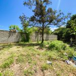 Siqueira Imóveis de Pirenópolis / Goiás / BrasilVenda de Casa em Brasília é na Siqueira Imobiliária de Pirenópolis / Imobiliária de Goiás / Imobiliária do Brasil / Imobiliária do Centro-Oeste / Pirenópolis Imóveis / Imóveis Pirenópolis / Imobiliária de Pirenópolis / Pirenópolis Imobiliária / Goiás Imóveis / Brasil Imóveis / Pirenópolis / Goiás / Brasil / Siqueira Imobiliária de Goiás / Consultoria Imobiliária / Consultor Imobiliário / Venda de Imóveis Pirenópolis / Melhor Imobiliária de Pirenópolis / Venda de pousadas / Venda de terrenos / venda de casas/ Venda de Lotes / Venda de Chácara / Venda de Fazenda / Venda de Apartamentos / Venda de Flat / Venda de Sítio / Brasília Imóveis / Goiânia Imóveis / Imobiliária de Goiânia / Imobiliária de Brasília/ Imobiliária em Pirenópolis / Imobiliária de Pirenópolis / Condomínio Fechado Vaga Fogo / Condomínio Paço da Estalagem / Condomínio Parque da Estalagem / Condomínio Quinta do Sol / Condomínio Fechado Pirenópolis / Cachoeiras Pirenópolis / Restaurante Pirenópolis /Siqueira Imóveis de Pirenópolis / Goiás / BrasilVenda de Casa em Brasília é na Siqueira Imobiliária de Pirenópolis / Imobiliária de Goiás / Imobiliária do Brasil / Imobiliária do Centro-Oeste / Pirenópolis Imóveis / Imóveis Pirenópolis / Imobiliária de Pirenópolis / Pirenópolis Imobiliária / Goiás Imóveis / Brasil Imóveis / Pirenópolis / Goiás / Brasil / Siqueira Imobiliária de Goiás / Consultoria Imobiliária / Consultor Imobiliário / Venda de Imóveis Pirenópolis / Melhor Imobiliária de Pirenópolis / Venda de pousadas / Venda de terrenos / venda de casas/ Venda de Lotes / Venda de Chácara / Venda de Fazenda / Venda de Apartamentos / Venda de Flat / Venda de Sítio / Brasília Imóveis / Goiânia Imóveis / Imobiliária de Goiânia / Imobiliária de Brasília/ Imobiliária em Pirenópolis / Imobiliária de Pirenópolis / Condomínio Fechado Vaga Fogo / Condomínio Paço da Estalagem / Condomínio Parque da Estalagem / Condomínio Quinta do Sol / Condomínio Fechado Pirenópolis / Cachoeiras Pirenópolis / Restaurante Pirenópolis /