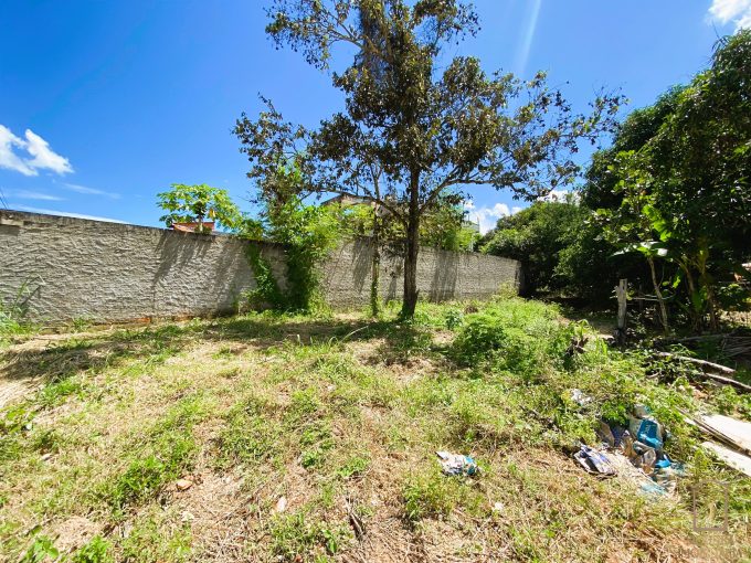 Siqueira Imóveis de Pirenópolis / Goiás / BrasilVenda de Casa em Brasília é na Siqueira Imobiliária de Pirenópolis / Imobiliária de Goiás / Imobiliária do Brasil / Imobiliária do Centro-Oeste / Pirenópolis Imóveis / Imóveis Pirenópolis / Imobiliária de Pirenópolis / Pirenópolis Imobiliária / Goiás Imóveis / Brasil Imóveis / Pirenópolis / Goiás / Brasil / Siqueira Imobiliária de Goiás / Consultoria Imobiliária / Consultor Imobiliário / Venda de Imóveis Pirenópolis / Melhor Imobiliária de Pirenópolis / Venda de pousadas / Venda de terrenos / venda de casas/ Venda de Lotes / Venda de Chácara / Venda de Fazenda / Venda de Apartamentos / Venda de Flat / Venda de Sítio / Brasília Imóveis / Goiânia Imóveis / Imobiliária de Goiânia / Imobiliária de Brasília/ Imobiliária em Pirenópolis / Imobiliária de Pirenópolis / Condomínio Fechado Vaga Fogo / Condomínio Paço da Estalagem / Condomínio Parque da Estalagem / Condomínio Quinta do Sol / Condomínio Fechado Pirenópolis / Cachoeiras Pirenópolis / Restaurante Pirenópolis /Siqueira Imóveis de Pirenópolis / Goiás / BrasilVenda de Casa em Brasília é na Siqueira Imobiliária de Pirenópolis / Imobiliária de Goiás / Imobiliária do Brasil / Imobiliária do Centro-Oeste / Pirenópolis Imóveis / Imóveis Pirenópolis / Imobiliária de Pirenópolis / Pirenópolis Imobiliária / Goiás Imóveis / Brasil Imóveis / Pirenópolis / Goiás / Brasil / Siqueira Imobiliária de Goiás / Consultoria Imobiliária / Consultor Imobiliário / Venda de Imóveis Pirenópolis / Melhor Imobiliária de Pirenópolis / Venda de pousadas / Venda de terrenos / venda de casas/ Venda de Lotes / Venda de Chácara / Venda de Fazenda / Venda de Apartamentos / Venda de Flat / Venda de Sítio / Brasília Imóveis / Goiânia Imóveis / Imobiliária de Goiânia / Imobiliária de Brasília/ Imobiliária em Pirenópolis / Imobiliária de Pirenópolis / Condomínio Fechado Vaga Fogo / Condomínio Paço da Estalagem / Condomínio Parque da Estalagem / Condomínio Quinta do Sol / Condomínio Fechado Pirenópolis / Cachoeiras Pirenópolis / Restaurante Pirenópolis /
