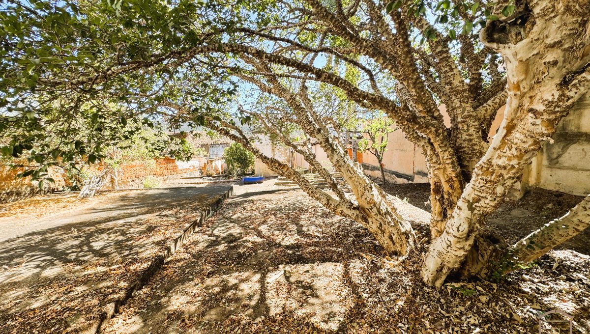 Siqueira Imóveis de Pirenópolis / Goiás / BrasilVenda de Casa em Brasília é na Siqueira Imobiliária de Pirenópolis / Imobiliária de Goiás / Imobiliária do Brasil / Imobiliária do Centro-Oeste / Pirenópolis Imóveis / Imóveis Pirenópolis / Imobiliária de Pirenópolis / Pirenópolis Imobiliária / Goiás Imóveis / Brasil Imóveis / Pirenópolis / Goiás / Brasil / Siqueira Imobiliária de Goiás / Consultoria Imobiliária / Consultor Imobiliário / Venda de Imóveis Pirenópolis / Melhor Imobiliária de Pirenópolis / Venda de pousadas / Venda de terrenos / venda de casas/ Venda de Lotes / Venda de Chácara / Venda de Fazenda / Venda de Apartamentos / Venda de Flat / Venda de Sítio / Brasília Imóveis / Goiânia Imóveis / Imobiliária de Goiânia / Imobiliária de Brasília/ Imobiliária em Pirenópolis / Imobiliária de Pirenópolis / Condomínio Fechado Vaga Fogo / Condomínio Paço da Estalagem / Condomínio Parque da Estalagem / Condomínio Quinta do Sol / Condomínio Fechado Pirenópolis / Cachoeiras Pirenópolis / Restaurante Pirenópolis /Siqueira Imóveis de Pirenópolis / Goiás / BrasilVenda de Casa em Brasília é na Siqueira Imobiliária de Pirenópolis / Imobiliária de Goiás / Imobiliária do Brasil / Imobiliária do Centro-Oeste / Pirenópolis Imóveis / Imóveis Pirenópolis / Imobiliária de Pirenópolis / Pirenópolis Imobiliária / Goiás Imóveis / Brasil Imóveis / Pirenópolis / Goiás / Brasil / Siqueira Imobiliária de Goiás / Consultoria Imobiliária / Consultor Imobiliário / Venda de Imóveis Pirenópolis / Melhor Imobiliária de Pirenópolis / Venda de pousadas / Venda de terrenos / venda de casas/ Venda de Lotes / Venda de Chácara / Venda de Fazenda / Venda de Apartamentos / Venda de Flat / Venda de Sítio / Brasília Imóveis / Goiânia Imóveis / Imobiliária de Goiânia / Imobiliária de Brasília/ Imobiliária em Pirenópolis / Imobiliária de Pirenópolis / Condomínio Fechado Vaga Fogo / Condomínio Paço da Estalagem / Condomínio Parque da Estalagem / Condomínio Quinta do Sol / Condomínio Fechado Pirenópolis / Cachoeiras Pirenópolis / Restaurante Pirenópolis /