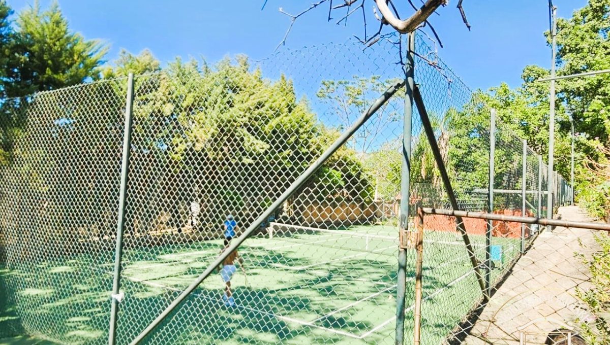 Siqueira Imóveis de Pirenópolis / Goiás / BrasilVenda de Casa em Brasília é na Siqueira Imobiliária de Pirenópolis / Imobiliária de Goiás / Imobiliária do Brasil / Imobiliária do Centro-Oeste / Pirenópolis Imóveis / Imóveis Pirenópolis / Imobiliária de Pirenópolis / Pirenópolis Imobiliária / Goiás Imóveis / Brasil Imóveis / Pirenópolis / Goiás / Brasil / Siqueira Imobiliária de Goiás / Consultoria Imobiliária / Consultor Imobiliário / Venda de Imóveis Pirenópolis / Melhor Imobiliária de Pirenópolis / Venda de pousadas / Venda de terrenos / venda de casas/ Venda de Lotes / Venda de Chácara / Venda de Fazenda / Venda de Apartamentos / Venda de Flat / Venda de Sítio / Brasília Imóveis / Goiânia Imóveis / Imobiliária de Goiânia / Imobiliária de Brasília/ Imobiliária em Pirenópolis / Imobiliária de Pirenópolis / Condomínio Fechado Vaga Fogo / Condomínio Paço da Estalagem / Condomínio Parque da Estalagem / Condomínio Quinta do Sol / Condomínio Fechado Pirenópolis / Cachoeiras Pirenópolis / Restaurante Pirenópolis /Siqueira Imóveis de Pirenópolis / Goiás / BrasilVenda de Casa em Brasília é na Siqueira Imobiliária de Pirenópolis / Imobiliária de Goiás / Imobiliária do Brasil / Imobiliária do Centro-Oeste / Pirenópolis Imóveis / Imóveis Pirenópolis / Imobiliária de Pirenópolis / Pirenópolis Imobiliária / Goiás Imóveis / Brasil Imóveis / Pirenópolis / Goiás / Brasil / Siqueira Imobiliária de Goiás / Consultoria Imobiliária / Consultor Imobiliário / Venda de Imóveis Pirenópolis / Melhor Imobiliária de Pirenópolis / Venda de pousadas / Venda de terrenos / venda de casas/ Venda de Lotes / Venda de Chácara / Venda de Fazenda / Venda de Apartamentos / Venda de Flat / Venda de Sítio / Brasília Imóveis / Goiânia Imóveis / Imobiliária de Goiânia / Imobiliária de Brasília/ Imobiliária em Pirenópolis / Imobiliária de Pirenópolis / Condomínio Fechado Vaga Fogo / Condomínio Paço da Estalagem / Condomínio Parque da Estalagem / Condomínio Quinta do Sol / Condomínio Fechado Pirenópolis / Cachoeiras Pirenópolis / Restaurante Pirenópolis /Siqueira Imóveis de Pirenópolis / Goiás / BrasilVenda de Casa em Brasília é na Siqueira Imobiliária de Pirenópolis / Imobiliária de Goiás / Imobiliária do Brasil / Imobiliária do Centro-Oeste / Pirenópolis Imóveis / Imóveis Pirenópolis / Imobiliária de Pirenópolis / Pirenópolis Imobiliária / Goiás Imóveis / Brasil Imóveis / Pirenópolis / Goiás / Brasil / Siqueira Imobiliária de Goiás / Consultoria Imobiliária / Consultor Imobiliário / Venda de Imóveis Pirenópolis / Melhor Imobiliária de Pirenópolis / Venda de pousadas / Venda de terrenos / venda de casas/ Venda de Lotes / Venda de Chácara / Venda de Fazenda / Venda de Apartamentos / Venda de Flat / Venda de Sítio / Brasília Imóveis / Goiânia Imóveis / Imobiliária de Goiânia / Imobiliária de Brasília/ Imobiliária em Pirenópolis / Imobiliária de Pirenópolis / Condomínio Fechado Vaga Fogo / Condomínio Paço da Estalagem / Condomínio Parque da Estalagem / Condomínio Quinta do Sol / Condomínio Fechado Pirenópolis / Cachoeiras Pirenópolis / Restaurante Pirenópolis /Siqueira Imóveis de Pirenópolis / Goiás / BrasilVenda de Casa em Brasília é na Siqueira Imobiliária de Pirenópolis / Imobiliária de Goiás / Imobiliária do Brasil / Imobiliária do Centro-Oeste / Pirenópolis Imóveis / Imóveis Pirenópolis / Imobiliária de Pirenópolis / Pirenópolis Imobiliária / Goiás Imóveis / Brasil Imóveis / Pirenópolis / Goiás / Brasil / Siqueira Imobiliária de Goiás / Consultoria Imobiliária / Consultor Imobiliário / Venda de Imóveis Pirenópolis / Melhor Imobiliária de Pirenópolis / Venda de pousadas / Venda de terrenos / venda de casas/ Venda de Lotes / Venda de Chácara / Venda de Fazenda / Venda de Apartamentos / Venda de Flat / Venda de Sítio / Brasília Imóveis / Goiânia Imóveis / Imobiliária de Goiânia / Imobiliária de Brasília/ Imobiliária em Pirenópolis / Imobiliária de Pirenópolis / Condomínio Fechado Vaga Fogo / Condomínio Paço da Estalagem / Condomínio Parque da Estalagem / Condomínio Quinta do Sol / Condomínio Fechado Pirenópolis / Cachoeiras Pirenópolis / Restaurante Pirenópolis /