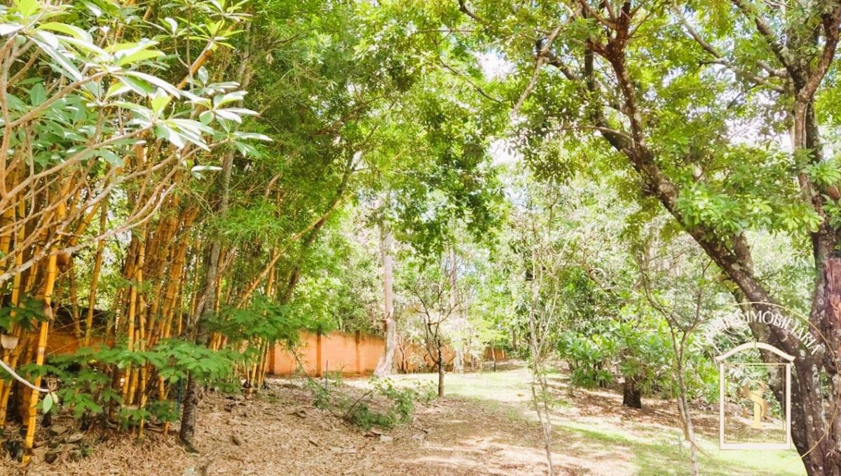 Siqueira Imóveis de Pirenópolis / Goiás / BrasilVenda de Casa em Brasília é na Siqueira Imobiliária de Pirenópolis / Imobiliária de Goiás / Imobiliária do Brasil / Imobiliária do Centro-Oeste / Pirenópolis Imóveis / Imóveis Pirenópolis / Imobiliária de Pirenópolis / Pirenópolis Imobiliária / Goiás Imóveis / Brasil Imóveis / Pirenópolis / Goiás / Brasil / Siqueira Imobiliária de Goiás / Consultoria Imobiliária / Consultor Imobiliário / Venda de Imóveis Pirenópolis / Melhor Imobiliária de Pirenópolis / Venda de pousadas / Venda de terrenos / venda de casas/ Venda de Lotes / Venda de Chácara / Venda de Fazenda / Venda de Apartamentos / Venda de Flat / Venda de Sítio / Brasília Imóveis / Goiânia Imóveis / Imobiliária de Goiânia / Imobiliária de Brasília/ Imobiliária em Pirenópolis / Imobiliária de Pirenópolis / Condomínio Fechado Vaga Fogo / Condomínio Paço da Estalagem / Condomínio Parque da Estalagem / Condomínio Quinta do Sol / Condomínio Fechado Pirenópolis / Cachoeiras Pirenópolis / Restaurante Pirenópolis /Siqueira Imóveis de Pirenópolis / Goiás / BrasilVenda de Casa em Brasília é na Siqueira Imobiliária de Pirenópolis / Imobiliária de Goiás / Imobiliária do Brasil / Imobiliária do Centro-Oeste / Pirenópolis Imóveis / Imóveis Pirenópolis / Imobiliária de Pirenópolis / Pirenópolis Imobiliária / Goiás Imóveis / Brasil Imóveis / Pirenópolis / Goiás / Brasil / Siqueira Imobiliária de Goiás / Consultoria Imobiliária / Consultor Imobiliário / Venda de Imóveis Pirenópolis / Melhor Imobiliária de Pirenópolis / Venda de pousadas / Venda de terrenos / venda de casas/ Venda de Lotes / Venda de Chácara / Venda de Fazenda / Venda de Apartamentos / Venda de Flat / Venda de Sítio / Brasília Imóveis / Goiânia Imóveis / Imobiliária de Goiânia / Imobiliária de Brasília/ Imobiliária em Pirenópolis / Imobiliária de Pirenópolis / Condomínio Fechado Vaga Fogo / Condomínio Paço da Estalagem / Condomínio Parque da Estalagem / Condomínio Quinta do Sol / Condomínio Fechado Pirenópolis / Cachoeiras Pirenópolis / Restaurante Pirenópolis /Siqueira Imóveis de Pirenópolis / Goiás / BrasilVenda de Casa em Brasília é na Siqueira Imobiliária de Pirenópolis / Imobiliária de Goiás / Imobiliária do Brasil / Imobiliária do Centro-Oeste / Pirenópolis Imóveis / Imóveis Pirenópolis / Imobiliária de Pirenópolis / Pirenópolis Imobiliária / Goiás Imóveis / Brasil Imóveis / Pirenópolis / Goiás / Brasil / Siqueira Imobiliária de Goiás / Consultoria Imobiliária / Consultor Imobiliário / Venda de Imóveis Pirenópolis / Melhor Imobiliária de Pirenópolis / Venda de pousadas / Venda de terrenos / venda de casas/ Venda de Lotes / Venda de Chácara / Venda de Fazenda / Venda de Apartamentos / Venda de Flat / Venda de Sítio / Brasília Imóveis / Goiânia Imóveis / Imobiliária de Goiânia / Imobiliária de Brasília/ Imobiliária em Pirenópolis / Imobiliária de Pirenópolis / Condomínio Fechado Vaga Fogo / Condomínio Paço da Estalagem / Condomínio Parque da Estalagem / Condomínio Quinta do Sol / Condomínio Fechado Pirenópolis / Cachoeiras Pirenópolis / Restaurante Pirenópolis /Siqueira Imóveis de Pirenópolis / Goiás / BrasilVenda de Casa em Brasília é na Siqueira Imobiliária de Pirenópolis / Imobiliária de Goiás / Imobiliária do Brasil / Imobiliária do Centro-Oeste / Pirenópolis Imóveis / Imóveis Pirenópolis / Imobiliária de Pirenópolis / Pirenópolis Imobiliária / Goiás Imóveis / Brasil Imóveis / Pirenópolis / Goiás / Brasil / Siqueira Imobiliária de Goiás / Consultoria Imobiliária / Consultor Imobiliário / Venda de Imóveis Pirenópolis / Melhor Imobiliária de Pirenópolis / Venda de pousadas / Venda de terrenos / venda de casas/ Venda de Lotes / Venda de Chácara / Venda de Fazenda / Venda de Apartamentos / Venda de Flat / Venda de Sítio / Brasília Imóveis / Goiânia Imóveis / Imobiliária de Goiânia / Imobiliária de Brasília/ Imobiliária em Pirenópolis / Imobiliária de Pirenópolis / Condomínio Fechado Vaga Fogo / Condomínio Paço da Estalagem / Condomínio Parque da Estalagem / Condomínio Quinta do Sol / Condomínio Fechado Pirenópolis / Cachoeiras Pirenópolis / Restaurante Pirenópolis /