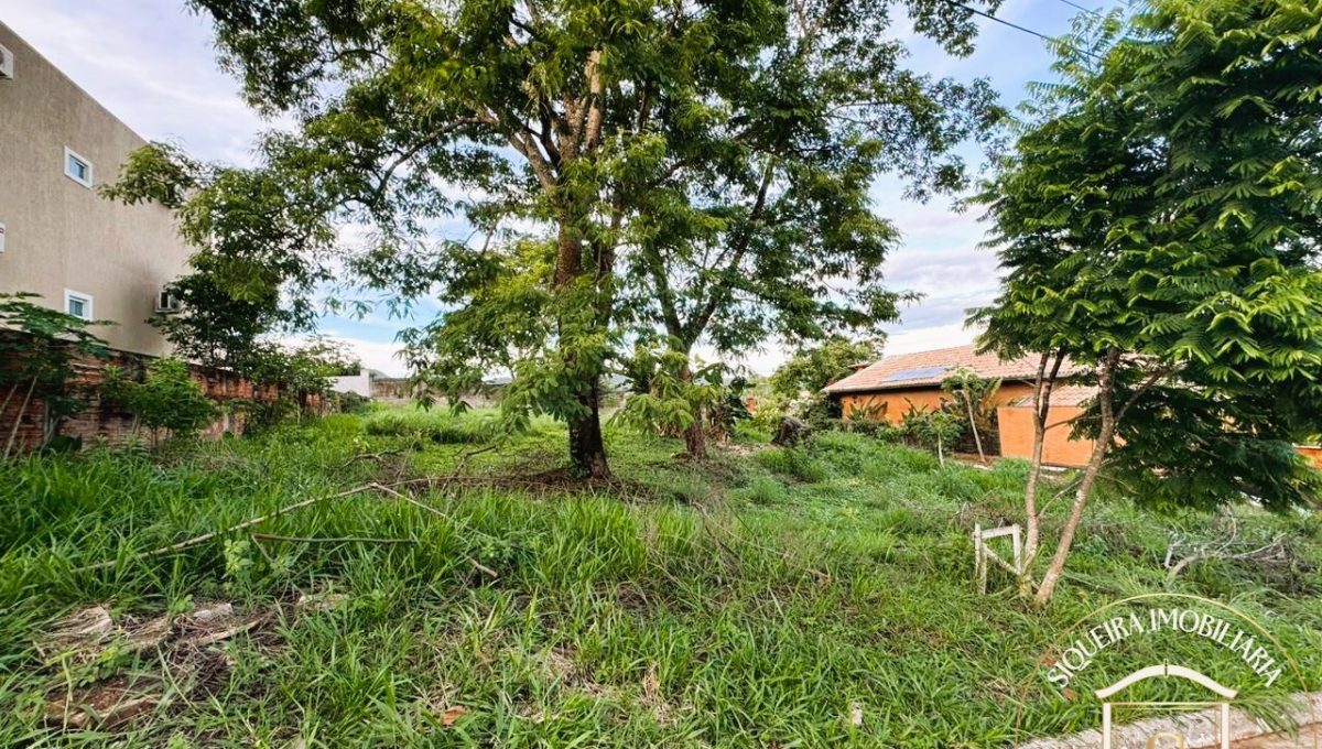 Siqueira Imóveis de Pirenópolis / Goiás / BrasilVenda de Casa em Brasília é na Siqueira Imobiliária de Pirenópolis / Imobiliária de Goiás / Imobiliária do Brasil / Imobiliária do Centro-Oeste / Pirenópolis Imóveis / Imóveis Pirenópolis / Imobiliária de Pirenópolis / Pirenópolis Imobiliária / Goiás Imóveis / Brasil Imóveis / Pirenópolis / Goiás / Brasil / Siqueira Imobiliária de Goiás / Consultoria Imobiliária / Consultor Imobiliário / Venda de Imóveis Pirenópolis / Melhor Imobiliária de Pirenópolis / Venda de pousadas / Venda de terrenos / venda de casas/ Venda de Lotes / Venda de Chácara / Venda de Fazenda / Venda de Apartamentos / Venda de Flat / Venda de Sítio / Brasília Imóveis / Goiânia Imóveis / Imobiliária de Goiânia / Imobiliária de Brasília/ Imobiliária em Pirenópolis / Imobiliária de Pirenópolis / Condomínio Fechado Vaga Fogo / Condomínio Paço da Estalagem / Condomínio Parque da Estalagem / Condomínio Quinta do Sol / Condomínio Fechado Pirenópolis / Cachoeiras Pirenópolis / Restaurante Pirenópolis /Siqueira Imóveis de Pirenópolis / Goiás / BrasilVenda de Casa em Brasília é na Siqueira Imobiliária de Pirenópolis / Imobiliária de Goiás / Imobiliária do Brasil / Imobiliária do Centro-Oeste / Pirenópolis Imóveis / Imóveis Pirenópolis / Imobiliária de Pirenópolis / Pirenópolis Imobiliária / Goiás Imóveis / Brasil Imóveis / Pirenópolis / Goiás / Brasil / Siqueira Imobiliária de Goiás / Consultoria Imobiliária / Consultor Imobiliário / Venda de Imóveis Pirenópolis / Melhor Imobiliária de Pirenópolis / Venda de pousadas / Venda de terrenos / venda de casas/ Venda de Lotes / Venda de Chácara / Venda de Fazenda / Venda de Apartamentos / Venda de Flat / Venda de Sítio / Brasília Imóveis / Goiânia Imóveis / Imobiliária de Goiânia / Imobiliária de Brasília/ Imobiliária em Pirenópolis / Imobiliária de Pirenópolis / Condomínio Fechado Vaga Fogo / Condomínio Paço da Estalagem / Condomínio Parque da Estalagem / Condomínio Quinta do Sol / Condomínio Fechado Pirenópolis / Cachoeiras Pirenópolis / Restaurante Pirenópolis /Siqueira Imóveis de Pirenópolis / Goiás / BrasilVenda de Casa em Brasília é na Siqueira Imobiliária de Pirenópolis / Imobiliária de Goiás / Imobiliária do Brasil / Imobiliária do Centro-Oeste / Pirenópolis Imóveis / Imóveis Pirenópolis / Imobiliária de Pirenópolis / Pirenópolis Imobiliária / Goiás Imóveis / Brasil Imóveis / Pirenópolis / Goiás / Brasil / Siqueira Imobiliária de Goiás / Consultoria Imobiliária / Consultor Imobiliário / Venda de Imóveis Pirenópolis / Melhor Imobiliária de Pirenópolis / Venda de pousadas / Venda de terrenos / venda de casas/ Venda de Lotes / Venda de Chácara / Venda de Fazenda / Venda de Apartamentos / Venda de Flat / Venda de Sítio / Brasília Imóveis / Goiânia Imóveis / Imobiliária de Goiânia / Imobiliária de Brasília/ Imobiliária em Pirenópolis / Imobiliária de Pirenópolis / Condomínio Fechado Vaga Fogo / Condomínio Paço da Estalagem / Condomínio Parque da Estalagem / Condomínio Quinta do Sol / Condomínio Fechado Pirenópolis / Cachoeiras Pirenópolis / Restaurante Pirenópolis /Siqueira Imóveis de Pirenópolis / Goiás / BrasilVenda de Casa em Brasília é na Siqueira Imobiliária de Pirenópolis / Imobiliária de Goiás / Imobiliária do Brasil / Imobiliária do Centro-Oeste / Pirenópolis Imóveis / Imóveis Pirenópolis / Imobiliária de Pirenópolis / Pirenópolis Imobiliária / Goiás Imóveis / Brasil Imóveis / Pirenópolis / Goiás / Brasil / Siqueira Imobiliária de Goiás / Consultoria Imobiliária / Consultor Imobiliário / Venda de Imóveis Pirenópolis / Melhor Imobiliária de Pirenópolis / Venda de pousadas / Venda de terrenos / venda de casas/ Venda de Lotes / Venda de Chácara / Venda de Fazenda / Venda de Apartamentos / Venda de Flat / Venda de Sítio / Brasília Imóveis / Goiânia Imóveis / Imobiliária de Goiânia / Imobiliária de Brasília/ Imobiliária em Pirenópolis / Imobiliária de Pirenópolis / Condomínio Fechado Vaga Fogo / Condomínio Paço da Estalagem / Condomínio Parque da Estalagem / Condomínio Quinta do Sol / Condomínio Fechado Pirenópolis / Cachoeiras Pirenópolis / Restaurante Pirenópolis /