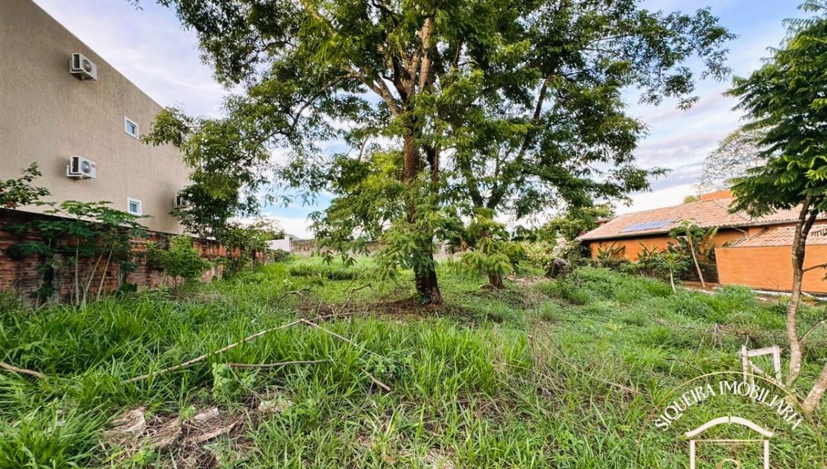 Siqueira Imóveis de Pirenópolis / Goiás / BrasilVenda de Casa em Brasília é na Siqueira Imobiliária de Pirenópolis / Imobiliária de Goiás / Imobiliária do Brasil / Imobiliária do Centro-Oeste / Pirenópolis Imóveis / Imóveis Pirenópolis / Imobiliária de Pirenópolis / Pirenópolis Imobiliária / Goiás Imóveis / Brasil Imóveis / Pirenópolis / Goiás / Brasil / Siqueira Imobiliária de Goiás / Consultoria Imobiliária / Consultor Imobiliário / Venda de Imóveis Pirenópolis / Melhor Imobiliária de Pirenópolis / Venda de pousadas / Venda de terrenos / venda de casas/ Venda de Lotes / Venda de Chácara / Venda de Fazenda / Venda de Apartamentos / Venda de Flat / Venda de Sítio / Brasília Imóveis / Goiânia Imóveis / Imobiliária de Goiânia / Imobiliária de Brasília/ Imobiliária em Pirenópolis / Imobiliária de Pirenópolis / Condomínio Fechado Vaga Fogo / Condomínio Paço da Estalagem / Condomínio Parque da Estalagem / Condomínio Quinta do Sol / Condomínio Fechado Pirenópolis / Cachoeiras Pirenópolis / Restaurante Pirenópolis /Siqueira Imóveis de Pirenópolis / Goiás / BrasilVenda de Casa em Brasília é na Siqueira Imobiliária de Pirenópolis / Imobiliária de Goiás / Imobiliária do Brasil / Imobiliária do Centro-Oeste / Pirenópolis Imóveis / Imóveis Pirenópolis / Imobiliária de Pirenópolis / Pirenópolis Imobiliária / Goiás Imóveis / Brasil Imóveis / Pirenópolis / Goiás / Brasil / Siqueira Imobiliária de Goiás / Consultoria Imobiliária / Consultor Imobiliário / Venda de Imóveis Pirenópolis / Melhor Imobiliária de Pirenópolis / Venda de pousadas / Venda de terrenos / venda de casas/ Venda de Lotes / Venda de Chácara / Venda de Fazenda / Venda de Apartamentos / Venda de Flat / Venda de Sítio / Brasília Imóveis / Goiânia Imóveis / Imobiliária de Goiânia / Imobiliária de Brasília/ Imobiliária em Pirenópolis / Imobiliária de Pirenópolis / Condomínio Fechado Vaga Fogo / Condomínio Paço da Estalagem / Condomínio Parque da Estalagem / Condomínio Quinta do Sol / Condomínio Fechado Pirenópolis / Cachoeiras Pirenópolis / Restaurante Pirenópolis /Siqueira Imóveis de Pirenópolis / Goiás / BrasilVenda de Casa em Brasília é na Siqueira Imobiliária de Pirenópolis / Imobiliária de Goiás / Imobiliária do Brasil / Imobiliária do Centro-Oeste / Pirenópolis Imóveis / Imóveis Pirenópolis / Imobiliária de Pirenópolis / Pirenópolis Imobiliária / Goiás Imóveis / Brasil Imóveis / Pirenópolis / Goiás / Brasil / Siqueira Imobiliária de Goiás / Consultoria Imobiliária / Consultor Imobiliário / Venda de Imóveis Pirenópolis / Melhor Imobiliária de Pirenópolis / Venda de pousadas / Venda de terrenos / venda de casas/ Venda de Lotes / Venda de Chácara / Venda de Fazenda / Venda de Apartamentos / Venda de Flat / Venda de Sítio / Brasília Imóveis / Goiânia Imóveis / Imobiliária de Goiânia / Imobiliária de Brasília/ Imobiliária em Pirenópolis / Imobiliária de Pirenópolis / Condomínio Fechado Vaga Fogo / Condomínio Paço da Estalagem / Condomínio Parque da Estalagem / Condomínio Quinta do Sol / Condomínio Fechado Pirenópolis / Cachoeiras Pirenópolis / Restaurante Pirenópolis /Siqueira Imóveis de Pirenópolis / Goiás / BrasilVenda de Casa em Brasília é na Siqueira Imobiliária de Pirenópolis / Imobiliária de Goiás / Imobiliária do Brasil / Imobiliária do Centro-Oeste / Pirenópolis Imóveis / Imóveis Pirenópolis / Imobiliária de Pirenópolis / Pirenópolis Imobiliária / Goiás Imóveis / Brasil Imóveis / Pirenópolis / Goiás / Brasil / Siqueira Imobiliária de Goiás / Consultoria Imobiliária / Consultor Imobiliário / Venda de Imóveis Pirenópolis / Melhor Imobiliária de Pirenópolis / Venda de pousadas / Venda de terrenos / venda de casas/ Venda de Lotes / Venda de Chácara / Venda de Fazenda / Venda de Apartamentos / Venda de Flat / Venda de Sítio / Brasília Imóveis / Goiânia Imóveis / Imobiliária de Goiânia / Imobiliária de Brasília/ Imobiliária em Pirenópolis / Imobiliária de Pirenópolis / Condomínio Fechado Vaga Fogo / Condomínio Paço da Estalagem / Condomínio Parque da Estalagem / Condomínio Quinta do Sol / Condomínio Fechado Pirenópolis / Cachoeiras Pirenópolis / Restaurante Pirenópolis /