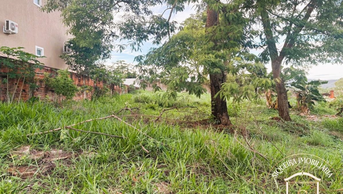 Siqueira Imóveis de Pirenópolis / Goiás / BrasilVenda de Casa em Brasília é na Siqueira Imobiliária de Pirenópolis / Imobiliária de Goiás / Imobiliária do Brasil / Imobiliária do Centro-Oeste / Pirenópolis Imóveis / Imóveis Pirenópolis / Imobiliária de Pirenópolis / Pirenópolis Imobiliária / Goiás Imóveis / Brasil Imóveis / Pirenópolis / Goiás / Brasil / Siqueira Imobiliária de Goiás / Consultoria Imobiliária / Consultor Imobiliário / Venda de Imóveis Pirenópolis / Melhor Imobiliária de Pirenópolis / Venda de pousadas / Venda de terrenos / venda de casas/ Venda de Lotes / Venda de Chácara / Venda de Fazenda / Venda de Apartamentos / Venda de Flat / Venda de Sítio / Brasília Imóveis / Goiânia Imóveis / Imobiliária de Goiânia / Imobiliária de Brasília/ Imobiliária em Pirenópolis / Imobiliária de Pirenópolis / Condomínio Fechado Vaga Fogo / Condomínio Paço da Estalagem / Condomínio Parque da Estalagem / Condomínio Quinta do Sol / Condomínio Fechado Pirenópolis / Cachoeiras Pirenópolis / Restaurante Pirenópolis /Siqueira Imóveis de Pirenópolis / Goiás / BrasilVenda de Casa em Brasília é na Siqueira Imobiliária de Pirenópolis / Imobiliária de Goiás / Imobiliária do Brasil / Imobiliária do Centro-Oeste / Pirenópolis Imóveis / Imóveis Pirenópolis / Imobiliária de Pirenópolis / Pirenópolis Imobiliária / Goiás Imóveis / Brasil Imóveis / Pirenópolis / Goiás / Brasil / Siqueira Imobiliária de Goiás / Consultoria Imobiliária / Consultor Imobiliário / Venda de Imóveis Pirenópolis / Melhor Imobiliária de Pirenópolis / Venda de pousadas / Venda de terrenos / venda de casas/ Venda de Lotes / Venda de Chácara / Venda de Fazenda / Venda de Apartamentos / Venda de Flat / Venda de Sítio / Brasília Imóveis / Goiânia Imóveis / Imobiliária de Goiânia / Imobiliária de Brasília/ Imobiliária em Pirenópolis / Imobiliária de Pirenópolis / Condomínio Fechado Vaga Fogo / Condomínio Paço da Estalagem / Condomínio Parque da Estalagem / Condomínio Quinta do Sol / Condomínio Fechado Pirenópolis / Cachoeiras Pirenópolis / Restaurante Pirenópolis /Siqueira Imóveis de Pirenópolis / Goiás / BrasilVenda de Casa em Brasília é na Siqueira Imobiliária de Pirenópolis / Imobiliária de Goiás / Imobiliária do Brasil / Imobiliária do Centro-Oeste / Pirenópolis Imóveis / Imóveis Pirenópolis / Imobiliária de Pirenópolis / Pirenópolis Imobiliária / Goiás Imóveis / Brasil Imóveis / Pirenópolis / Goiás / Brasil / Siqueira Imobiliária de Goiás / Consultoria Imobiliária / Consultor Imobiliário / Venda de Imóveis Pirenópolis / Melhor Imobiliária de Pirenópolis / Venda de pousadas / Venda de terrenos / venda de casas/ Venda de Lotes / Venda de Chácara / Venda de Fazenda / Venda de Apartamentos / Venda de Flat / Venda de Sítio / Brasília Imóveis / Goiânia Imóveis / Imobiliária de Goiânia / Imobiliária de Brasília/ Imobiliária em Pirenópolis / Imobiliária de Pirenópolis / Condomínio Fechado Vaga Fogo / Condomínio Paço da Estalagem / Condomínio Parque da Estalagem / Condomínio Quinta do Sol / Condomínio Fechado Pirenópolis / Cachoeiras Pirenópolis / Restaurante Pirenópolis /Siqueira Imóveis de Pirenópolis / Goiás / BrasilVenda de Casa em Brasília é na Siqueira Imobiliária de Pirenópolis / Imobiliária de Goiás / Imobiliária do Brasil / Imobiliária do Centro-Oeste / Pirenópolis Imóveis / Imóveis Pirenópolis / Imobiliária de Pirenópolis / Pirenópolis Imobiliária / Goiás Imóveis / Brasil Imóveis / Pirenópolis / Goiás / Brasil / Siqueira Imobiliária de Goiás / Consultoria Imobiliária / Consultor Imobiliário / Venda de Imóveis Pirenópolis / Melhor Imobiliária de Pirenópolis / Venda de pousadas / Venda de terrenos / venda de casas/ Venda de Lotes / Venda de Chácara / Venda de Fazenda / Venda de Apartamentos / Venda de Flat / Venda de Sítio / Brasília Imóveis / Goiânia Imóveis / Imobiliária de Goiânia / Imobiliária de Brasília/ Imobiliária em Pirenópolis / Imobiliária de Pirenópolis / Condomínio Fechado Vaga Fogo / Condomínio Paço da Estalagem / Condomínio Parque da Estalagem / Condomínio Quinta do Sol / Condomínio Fechado Pirenópolis / Cachoeiras Pirenópolis / Restaurante Pirenópolis /