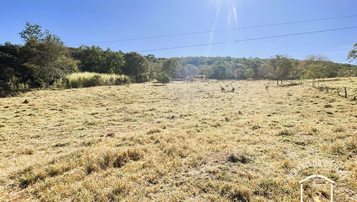 Siqueira Imóveis de Pirenópolis / Goiás / BrasilVenda de Casa em Brasília é na Siqueira Imobiliária de Pirenópolis / Imobiliária de Goiás / Imobiliária do Brasil / Imobiliária do Centro-Oeste / Pirenópolis Imóveis / Imóveis Pirenópolis / Imobiliária de Pirenópolis / Pirenópolis Imobiliária / Goiás Imóveis / Brasil Imóveis / Pirenópolis / Goiás / Brasil / Siqueira Imobiliária de Goiás / Consultoria Imobiliária / Consultor Imobiliário / Venda de Imóveis Pirenópolis / Melhor Imobiliária de Pirenópolis / Venda de pousadas / Venda de terrenos / venda de casas/ Venda de Lotes / Venda de Chácara / Venda de Fazenda / Venda de Apartamentos / Venda de Flat / Venda de Sítio / Brasília Imóveis / Goiânia Imóveis / Imobiliária de Goiânia / Imobiliária de Brasília/ Imobiliária em Pirenópolis / Imobiliária de Pirenópolis / Condomínio Fechado Vaga Fogo / Condomínio Paço da Estalagem / Condomínio Parque da Estalagem / Condomínio Quinta do Sol / Condomínio Fechado Pirenópolis / Cachoeiras Pirenópolis / Restaurante Pirenópolis /Siqueira Imóveis de Pirenópolis / Goiás / BrasilVenda de Casa em Brasília é na Siqueira Imobiliária de Pirenópolis / Imobiliária de Goiás / Imobiliária do Brasil / Imobiliária do Centro-Oeste / Pirenópolis Imóveis / Imóveis Pirenópolis / Imobiliária de Pirenópolis / Pirenópolis Imobiliária / Goiás Imóveis / Brasil Imóveis / Pirenópolis / Goiás / Brasil / Siqueira Imobiliária de Goiás / Consultoria Imobiliária / Consultor Imobiliário / Venda de Imóveis Pirenópolis / Melhor Imobiliária de Pirenópolis / Venda de pousadas / Venda de terrenos / venda de casas/ Venda de Lotes / Venda de Chácara / Venda de Fazenda / Venda de Apartamentos / Venda de Flat / Venda de Sítio / Brasília Imóveis / Goiânia Imóveis / Imobiliária de Goiânia / Imobiliária de Brasília/ Imobiliária em Pirenópolis / Imobiliária de Pirenópolis / Condomínio Fechado Vaga Fogo / Condomínio Paço da Estalagem / Condomínio Parque da Estalagem / Condomínio Quinta do Sol / Condomínio Fechado Pirenópolis / Cachoeiras Pirenópolis / Restaurante Pirenópolis /Siqueira Imóveis de Pirenópolis / Goiás / BrasilVenda de Casa em Brasília é na Siqueira Imobiliária de Pirenópolis / Imobiliária de Goiás / Imobiliária do Brasil / Imobiliária do Centro-Oeste / Pirenópolis Imóveis / Imóveis Pirenópolis / Imobiliária de Pirenópolis / Pirenópolis Imobiliária / Goiás Imóveis / Brasil Imóveis / Pirenópolis / Goiás / Brasil / Siqueira Imobiliária de Goiás / Consultoria Imobiliária / Consultor Imobiliário / Venda de Imóveis Pirenópolis / Melhor Imobiliária de Pirenópolis / Venda de pousadas / Venda de terrenos / venda de casas/ Venda de Lotes / Venda de Chácara / Venda de Fazenda / Venda de Apartamentos / Venda de Flat / Venda de Sítio / Brasília Imóveis / Goiânia Imóveis / Imobiliária de Goiânia / Imobiliária de Brasília/ Imobiliária em Pirenópolis / Imobiliária de Pirenópolis / Condomínio Fechado Vaga Fogo / Condomínio Paço da Estalagem / Condomínio Parque da Estalagem / Condomínio Quinta do Sol / Condomínio Fechado Pirenópolis / Cachoeiras Pirenópolis / Restaurante Pirenópolis /Siqueira Imóveis de Pirenópolis / Goiás / BrasilVenda de Casa em Brasília é na Siqueira Imobiliária de Pirenópolis / Imobiliária de Goiás / Imobiliária do Brasil / Imobiliária do Centro-Oeste / Pirenópolis Imóveis / Imóveis Pirenópolis / Imobiliária de Pirenópolis / Pirenópolis Imobiliária / Goiás Imóveis / Brasil Imóveis / Pirenópolis / Goiás / Brasil / Siqueira Imobiliária de Goiás / Consultoria Imobiliária / Consultor Imobiliário / Venda de Imóveis Pirenópolis / Melhor Imobiliária de Pirenópolis / Venda de pousadas / Venda de terrenos / venda de casas/ Venda de Lotes / Venda de Chácara / Venda de Fazenda / Venda de Apartamentos / Venda de Flat / Venda de Sítio / Brasília Imóveis / Goiânia Imóveis / Imobiliária de Goiânia / Imobiliária de Brasília/ Imobiliária em Pirenópolis / Imobiliária de Pirenópolis / Condomínio Fechado Vaga Fogo / Condomínio Paço da Estalagem / Condomínio Parque da Estalagem / Condomínio Quinta do Sol / Condomínio Fechado Pirenópolis / Cachoeiras Pirenópolis / Restaurante Pirenópolis /