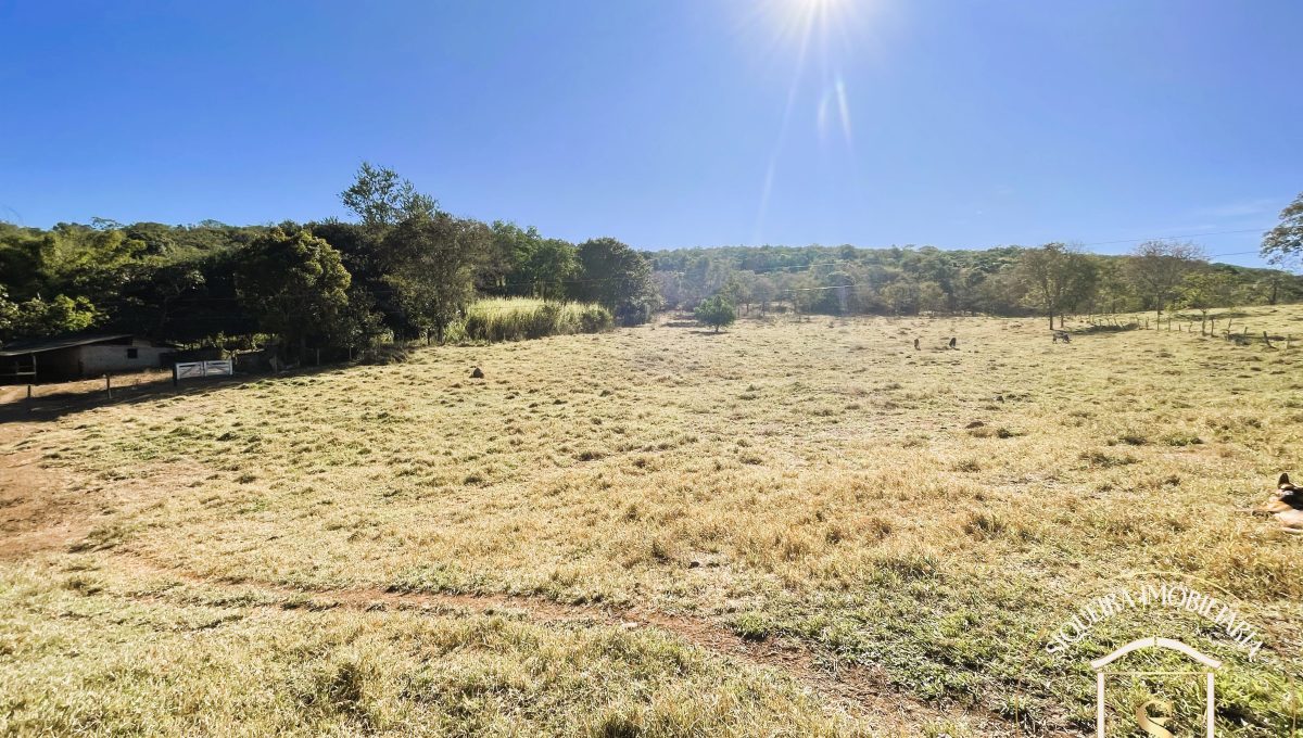 Siqueira Imóveis de Pirenópolis / Goiás / BrasilVenda de Casa em Brasília é na Siqueira Imobiliária de Pirenópolis / Imobiliária de Goiás / Imobiliária do Brasil / Imobiliária do Centro-Oeste / Pirenópolis Imóveis / Imóveis Pirenópolis / Imobiliária de Pirenópolis / Pirenópolis Imobiliária / Goiás Imóveis / Brasil Imóveis / Pirenópolis / Goiás / Brasil / Siqueira Imobiliária de Goiás / Consultoria Imobiliária / Consultor Imobiliário / Venda de Imóveis Pirenópolis / Melhor Imobiliária de Pirenópolis / Venda de pousadas / Venda de terrenos / venda de casas/ Venda de Lotes / Venda de Chácara / Venda de Fazenda / Venda de Apartamentos / Venda de Flat / Venda de Sítio / Brasília Imóveis / Goiânia Imóveis / Imobiliária de Goiânia / Imobiliária de Brasília/ Imobiliária em Pirenópolis / Imobiliária de Pirenópolis / Condomínio Fechado Vaga Fogo / Condomínio Paço da Estalagem / Condomínio Parque da Estalagem / Condomínio Quinta do Sol / Condomínio Fechado Pirenópolis / Cachoeiras Pirenópolis / Restaurante Pirenópolis /Siqueira Imóveis de Pirenópolis / Goiás / BrasilVenda de Casa em Brasília é na Siqueira Imobiliária de Pirenópolis / Imobiliária de Goiás / Imobiliária do Brasil / Imobiliária do Centro-Oeste / Pirenópolis Imóveis / Imóveis Pirenópolis / Imobiliária de Pirenópolis / Pirenópolis Imobiliária / Goiás Imóveis / Brasil Imóveis / Pirenópolis / Goiás / Brasil / Siqueira Imobiliária de Goiás / Consultoria Imobiliária / Consultor Imobiliário / Venda de Imóveis Pirenópolis / Melhor Imobiliária de Pirenópolis / Venda de pousadas / Venda de terrenos / venda de casas/ Venda de Lotes / Venda de Chácara / Venda de Fazenda / Venda de Apartamentos / Venda de Flat / Venda de Sítio / Brasília Imóveis / Goiânia Imóveis / Imobiliária de Goiânia / Imobiliária de Brasília/ Imobiliária em Pirenópolis / Imobiliária de Pirenópolis / Condomínio Fechado Vaga Fogo / Condomínio Paço da Estalagem / Condomínio Parque da Estalagem / Condomínio Quinta do Sol / Condomínio Fechado Pirenópolis / Cachoeiras Pirenópolis / Restaurante Pirenópolis /Siqueira Imóveis de Pirenópolis / Goiás / BrasilVenda de Casa em Brasília é na Siqueira Imobiliária de Pirenópolis / Imobiliária de Goiás / Imobiliária do Brasil / Imobiliária do Centro-Oeste / Pirenópolis Imóveis / Imóveis Pirenópolis / Imobiliária de Pirenópolis / Pirenópolis Imobiliária / Goiás Imóveis / Brasil Imóveis / Pirenópolis / Goiás / Brasil / Siqueira Imobiliária de Goiás / Consultoria Imobiliária / Consultor Imobiliário / Venda de Imóveis Pirenópolis / Melhor Imobiliária de Pirenópolis / Venda de pousadas / Venda de terrenos / venda de casas/ Venda de Lotes / Venda de Chácara / Venda de Fazenda / Venda de Apartamentos / Venda de Flat / Venda de Sítio / Brasília Imóveis / Goiânia Imóveis / Imobiliária de Goiânia / Imobiliária de Brasília/ Imobiliária em Pirenópolis / Imobiliária de Pirenópolis / Condomínio Fechado Vaga Fogo / Condomínio Paço da Estalagem / Condomínio Parque da Estalagem / Condomínio Quinta do Sol / Condomínio Fechado Pirenópolis / Cachoeiras Pirenópolis / Restaurante Pirenópolis /Siqueira Imóveis de Pirenópolis / Goiás / BrasilVenda de Casa em Brasília é na Siqueira Imobiliária de Pirenópolis / Imobiliária de Goiás / Imobiliária do Brasil / Imobiliária do Centro-Oeste / Pirenópolis Imóveis / Imóveis Pirenópolis / Imobiliária de Pirenópolis / Pirenópolis Imobiliária / Goiás Imóveis / Brasil Imóveis / Pirenópolis / Goiás / Brasil / Siqueira Imobiliária de Goiás / Consultoria Imobiliária / Consultor Imobiliário / Venda de Imóveis Pirenópolis / Melhor Imobiliária de Pirenópolis / Venda de pousadas / Venda de terrenos / venda de casas/ Venda de Lotes / Venda de Chácara / Venda de Fazenda / Venda de Apartamentos / Venda de Flat / Venda de Sítio / Brasília Imóveis / Goiânia Imóveis / Imobiliária de Goiânia / Imobiliária de Brasília/ Imobiliária em Pirenópolis / Imobiliária de Pirenópolis / Condomínio Fechado Vaga Fogo / Condomínio Paço da Estalagem / Condomínio Parque da Estalagem / Condomínio Quinta do Sol / Condomínio Fechado Pirenópolis / Cachoeiras Pirenópolis / Restaurante Pirenópolis /