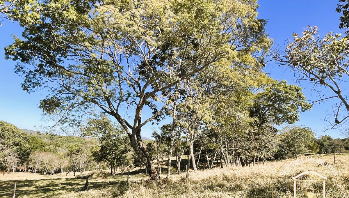 Siqueira Imóveis de Pirenópolis / Goiás / BrasilVenda de Casa em Brasília é na Siqueira Imobiliária de Pirenópolis / Imobiliária de Goiás / Imobiliária do Brasil / Imobiliária do Centro-Oeste / Pirenópolis Imóveis / Imóveis Pirenópolis / Imobiliária de Pirenópolis / Pirenópolis Imobiliária / Goiás Imóveis / Brasil Imóveis / Pirenópolis / Goiás / Brasil / Siqueira Imobiliária de Goiás / Consultoria Imobiliária / Consultor Imobiliário / Venda de Imóveis Pirenópolis / Melhor Imobiliária de Pirenópolis / Venda de pousadas / Venda de terrenos / venda de casas/ Venda de Lotes / Venda de Chácara / Venda de Fazenda / Venda de Apartamentos / Venda de Flat / Venda de Sítio / Brasília Imóveis / Goiânia Imóveis / Imobiliária de Goiânia / Imobiliária de Brasília/ Imobiliária em Pirenópolis / Imobiliária de Pirenópolis / Condomínio Fechado Vaga Fogo / Condomínio Paço da Estalagem / Condomínio Parque da Estalagem / Condomínio Quinta do Sol / Condomínio Fechado Pirenópolis / Cachoeiras Pirenópolis / Restaurante Pirenópolis /Siqueira Imóveis de Pirenópolis / Goiás / BrasilVenda de Casa em Brasília é na Siqueira Imobiliária de Pirenópolis / Imobiliária de Goiás / Imobiliária do Brasil / Imobiliária do Centro-Oeste / Pirenópolis Imóveis / Imóveis Pirenópolis / Imobiliária de Pirenópolis / Pirenópolis Imobiliária / Goiás Imóveis / Brasil Imóveis / Pirenópolis / Goiás / Brasil / Siqueira Imobiliária de Goiás / Consultoria Imobiliária / Consultor Imobiliário / Venda de Imóveis Pirenópolis / Melhor Imobiliária de Pirenópolis / Venda de pousadas / Venda de terrenos / venda de casas/ Venda de Lotes / Venda de Chácara / Venda de Fazenda / Venda de Apartamentos / Venda de Flat / Venda de Sítio / Brasília Imóveis / Goiânia Imóveis / Imobiliária de Goiânia / Imobiliária de Brasília/ Imobiliária em Pirenópolis / Imobiliária de Pirenópolis / Condomínio Fechado Vaga Fogo / Condomínio Paço da Estalagem / Condomínio Parque da Estalagem / Condomínio Quinta do Sol / Condomínio Fechado Pirenópolis / Cachoeiras Pirenópolis / Restaurante Pirenópolis /Siqueira Imóveis de Pirenópolis / Goiás / BrasilVenda de Casa em Brasília é na Siqueira Imobiliária de Pirenópolis / Imobiliária de Goiás / Imobiliária do Brasil / Imobiliária do Centro-Oeste / Pirenópolis Imóveis / Imóveis Pirenópolis / Imobiliária de Pirenópolis / Pirenópolis Imobiliária / Goiás Imóveis / Brasil Imóveis / Pirenópolis / Goiás / Brasil / Siqueira Imobiliária de Goiás / Consultoria Imobiliária / Consultor Imobiliário / Venda de Imóveis Pirenópolis / Melhor Imobiliária de Pirenópolis / Venda de pousadas / Venda de terrenos / venda de casas/ Venda de Lotes / Venda de Chácara / Venda de Fazenda / Venda de Apartamentos / Venda de Flat / Venda de Sítio / Brasília Imóveis / Goiânia Imóveis / Imobiliária de Goiânia / Imobiliária de Brasília/ Imobiliária em Pirenópolis / Imobiliária de Pirenópolis / Condomínio Fechado Vaga Fogo / Condomínio Paço da Estalagem / Condomínio Parque da Estalagem / Condomínio Quinta do Sol / Condomínio Fechado Pirenópolis / Cachoeiras Pirenópolis / Restaurante Pirenópolis /Siqueira Imóveis de Pirenópolis / Goiás / BrasilVenda de Casa em Brasília é na Siqueira Imobiliária de Pirenópolis / Imobiliária de Goiás / Imobiliária do Brasil / Imobiliária do Centro-Oeste / Pirenópolis Imóveis / Imóveis Pirenópolis / Imobiliária de Pirenópolis / Pirenópolis Imobiliária / Goiás Imóveis / Brasil Imóveis / Pirenópolis / Goiás / Brasil / Siqueira Imobiliária de Goiás / Consultoria Imobiliária / Consultor Imobiliário / Venda de Imóveis Pirenópolis / Melhor Imobiliária de Pirenópolis / Venda de pousadas / Venda de terrenos / venda de casas/ Venda de Lotes / Venda de Chácara / Venda de Fazenda / Venda de Apartamentos / Venda de Flat / Venda de Sítio / Brasília Imóveis / Goiânia Imóveis / Imobiliária de Goiânia / Imobiliária de Brasília/ Imobiliária em Pirenópolis / Imobiliária de Pirenópolis / Condomínio Fechado Vaga Fogo / Condomínio Paço da Estalagem / Condomínio Parque da Estalagem / Condomínio Quinta do Sol / Condomínio Fechado Pirenópolis / Cachoeiras Pirenópolis / Restaurante Pirenópolis /Siqueira Imóveis de Pirenópolis / Goiás / BrasilVenda de Casa em Brasília é na Siqueira Imobiliária de Pirenópolis / Imobiliária de Goiás / Imobiliária do Brasil / Imobiliária do Centro-Oeste / Pirenópolis Imóveis / Imóveis Pirenópolis / Imobiliária de Pirenópolis / Pirenópolis Imobiliária / Goiás Imóveis / Brasil Imóveis / Pirenópolis / Goiás / Brasil / Siqueira Imobiliária de Goiás / Consultoria Imobiliária / Consultor Imobiliário / Venda de Imóveis Pirenópolis / Melhor Imobiliária de Pirenópolis / Venda de pousadas / Venda de terrenos / venda de casas/ Venda de Lotes / Venda de Chácara / Venda de Fazenda / Venda de Apartamentos / Venda de Flat / Venda de Sítio / Brasília Imóveis / Goiânia Imóveis / Imobiliária de Goiânia / Imobiliária de Brasília/ Imobiliária em Pirenópolis / Imobiliária de Pirenópolis / Condomínio Fechado Vaga Fogo / Condomínio Paço da Estalagem / Condomínio Parque da Estalagem / Condomínio Quinta do Sol / Condomínio Fechado Pirenópolis / Cachoeiras Pirenópolis / Restaurante Pirenópolis /Siqueira Imóveis de Pirenópolis / Goiás / BrasilVenda de Casa em Brasília é na Siqueira Imobiliária de Pirenópolis / Imobiliária de Goiás / Imobiliária do Brasil / Imobiliária do Centro-Oeste / Pirenópolis Imóveis / Imóveis Pirenópolis / Imobiliária de Pirenópolis / Pirenópolis Imobiliária / Goiás Imóveis / Brasil Imóveis / Pirenópolis / Goiás / Brasil / Siqueira Imobiliária de Goiás / Consultoria Imobiliária / Consultor Imobiliário / Venda de Imóveis Pirenópolis / Melhor Imobiliária de Pirenópolis / Venda de pousadas / Venda de terrenos / venda de casas/ Venda de Lotes / Venda de Chácara / Venda de Fazenda / Venda de Apartamentos / Venda de Flat / Venda de Sítio / Brasília Imóveis / Goiânia Imóveis / Imobiliária de Goiânia / Imobiliária de Brasília/ Imobiliária em Pirenópolis / Imobiliária de Pirenópolis / Condomínio Fechado Vaga Fogo / Condomínio Paço da Estalagem / Condomínio Parque da Estalagem / Condomínio Quinta do Sol / Condomínio Fechado Pirenópolis / Cachoeiras Pirenópolis / Restaurante Pirenópolis /Siqueira Imóveis de Pirenópolis / Goiás / BrasilVenda de Casa em Brasília é na Siqueira Imobiliária de Pirenópolis / Imobiliária de Goiás / Imobiliária do Brasil / Imobiliária do Centro-Oeste / Pirenópolis Imóveis / Imóveis Pirenópolis / Imobiliária de Pirenópolis / Pirenópolis Imobiliária / Goiás Imóveis / Brasil Imóveis / Pirenópolis / Goiás / Brasil / Siqueira Imobiliária de Goiás / Consultoria Imobiliária / Consultor Imobiliário / Venda de Imóveis Pirenópolis / Melhor Imobiliária de Pirenópolis / Venda de pousadas / Venda de terrenos / venda de casas/ Venda de Lotes / Venda de Chácara / Venda de Fazenda / Venda de Apartamentos / Venda de Flat / Venda de Sítio / Brasília Imóveis / Goiânia Imóveis / Imobiliária de Goiânia / Imobiliária de Brasília/ Imobiliária em Pirenópolis / Imobiliária de Pirenópolis / Condomínio Fechado Vaga Fogo / Condomínio Paço da Estalagem / Condomínio Parque da Estalagem / Condomínio Quinta do Sol / Condomínio Fechado Pirenópolis / Cachoeiras Pirenópolis / Restaurante Pirenópolis /Siqueira Imóveis de Pirenópolis / Goiás / BrasilVenda de Casa em Brasília é na Siqueira Imobiliária de Pirenópolis / Imobiliária de Goiás / Imobiliária do Brasil / Imobiliária do Centro-Oeste / Pirenópolis Imóveis / Imóveis Pirenópolis / Imobiliária de Pirenópolis / Pirenópolis Imobiliária / Goiás Imóveis / Brasil Imóveis / Pirenópolis / Goiás / Brasil / Siqueira Imobiliária de Goiás / Consultoria Imobiliária / Consultor Imobiliário / Venda de Imóveis Pirenópolis / Melhor Imobiliária de Pirenópolis / Venda de pousadas / Venda de terrenos / venda de casas/ Venda de Lotes / Venda de Chácara / Venda de Fazenda / Venda de Apartamentos / Venda de Flat / Venda de Sítio / Brasília Imóveis / Goiânia Imóveis / Imobiliária de Goiânia / Imobiliária de Brasília/ Imobiliária em Pirenópolis / Imobiliária de Pirenópolis / Condomínio Fechado Vaga Fogo / Condomínio Paço da Estalagem / Condomínio Parque da Estalagem / Condomínio Quinta do Sol / Condomínio Fechado Pirenópolis / Cachoeiras Pirenópolis / Restaurante Pirenópolis /