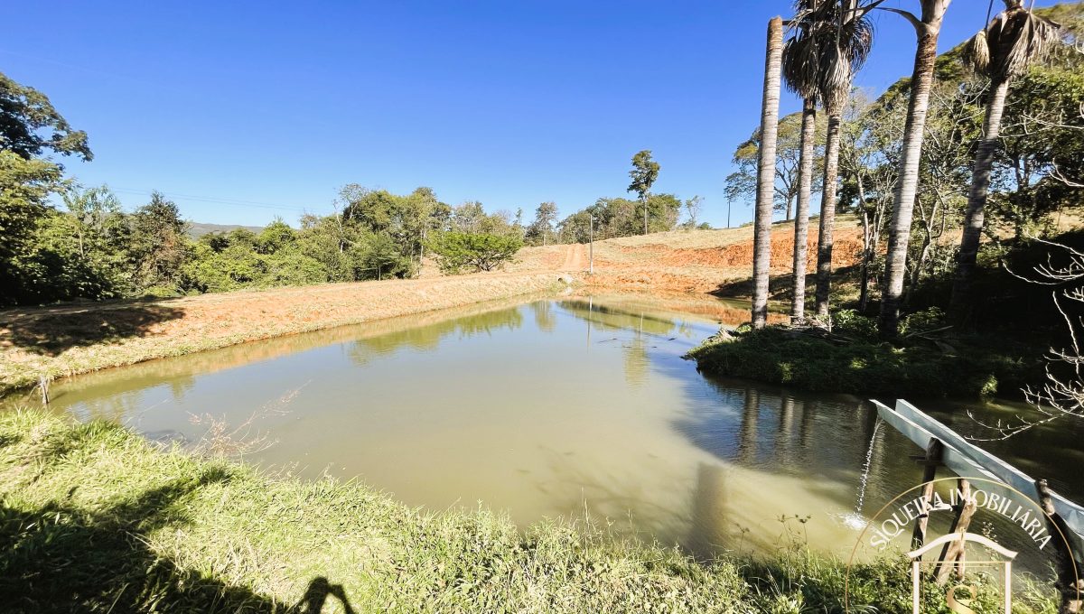 Siqueira Imóveis de Pirenópolis / Goiás / BrasilVenda de Casa em Brasília é na Siqueira Imobiliária de Pirenópolis / Imobiliária de Goiás / Imobiliária do Brasil / Imobiliária do Centro-Oeste / Pirenópolis Imóveis / Imóveis Pirenópolis / Imobiliária de Pirenópolis / Pirenópolis Imobiliária / Goiás Imóveis / Brasil Imóveis / Pirenópolis / Goiás / Brasil / Siqueira Imobiliária de Goiás / Consultoria Imobiliária / Consultor Imobiliário / Venda de Imóveis Pirenópolis / Melhor Imobiliária de Pirenópolis / Venda de pousadas / Venda de terrenos / venda de casas/ Venda de Lotes / Venda de Chácara / Venda de Fazenda / Venda de Apartamentos / Venda de Flat / Venda de Sítio / Brasília Imóveis / Goiânia Imóveis / Imobiliária de Goiânia / Imobiliária de Brasília/ Imobiliária em Pirenópolis / Imobiliária de Pirenópolis / Condomínio Fechado Vaga Fogo / Condomínio Paço da Estalagem / Condomínio Parque da Estalagem / Condomínio Quinta do Sol / Condomínio Fechado Pirenópolis / Cachoeiras Pirenópolis / Restaurante Pirenópolis /Siqueira Imóveis de Pirenópolis / Goiás / BrasilVenda de Casa em Brasília é na Siqueira Imobiliária de Pirenópolis / Imobiliária de Goiás / Imobiliária do Brasil / Imobiliária do Centro-Oeste / Pirenópolis Imóveis / Imóveis Pirenópolis / Imobiliária de Pirenópolis / Pirenópolis Imobiliária / Goiás Imóveis / Brasil Imóveis / Pirenópolis / Goiás / Brasil / Siqueira Imobiliária de Goiás / Consultoria Imobiliária / Consultor Imobiliário / Venda de Imóveis Pirenópolis / Melhor Imobiliária de Pirenópolis / Venda de pousadas / Venda de terrenos / venda de casas/ Venda de Lotes / Venda de Chácara / Venda de Fazenda / Venda de Apartamentos / Venda de Flat / Venda de Sítio / Brasília Imóveis / Goiânia Imóveis / Imobiliária de Goiânia / Imobiliária de Brasília/ Imobiliária em Pirenópolis / Imobiliária de Pirenópolis / Condomínio Fechado Vaga Fogo / Condomínio Paço da Estalagem / Condomínio Parque da Estalagem / Condomínio Quinta do Sol / Condomínio Fechado Pirenópolis / Cachoeiras Pirenópolis / Restaurante Pirenópolis /Siqueira Imóveis de Pirenópolis / Goiás / BrasilVenda de Casa em Brasília é na Siqueira Imobiliária de Pirenópolis / Imobiliária de Goiás / Imobiliária do Brasil / Imobiliária do Centro-Oeste / Pirenópolis Imóveis / Imóveis Pirenópolis / Imobiliária de Pirenópolis / Pirenópolis Imobiliária / Goiás Imóveis / Brasil Imóveis / Pirenópolis / Goiás / Brasil / Siqueira Imobiliária de Goiás / Consultoria Imobiliária / Consultor Imobiliário / Venda de Imóveis Pirenópolis / Melhor Imobiliária de Pirenópolis / Venda de pousadas / Venda de terrenos / venda de casas/ Venda de Lotes / Venda de Chácara / Venda de Fazenda / Venda de Apartamentos / Venda de Flat / Venda de Sítio / Brasília Imóveis / Goiânia Imóveis / Imobiliária de Goiânia / Imobiliária de Brasília/ Imobiliária em Pirenópolis / Imobiliária de Pirenópolis / Condomínio Fechado Vaga Fogo / Condomínio Paço da Estalagem / Condomínio Parque da Estalagem / Condomínio Quinta do Sol / Condomínio Fechado Pirenópolis / Cachoeiras Pirenópolis / Restaurante Pirenópolis /Siqueira Imóveis de Pirenópolis / Goiás / BrasilVenda de Casa em Brasília é na Siqueira Imobiliária de Pirenópolis / Imobiliária de Goiás / Imobiliária do Brasil / Imobiliária do Centro-Oeste / Pirenópolis Imóveis / Imóveis Pirenópolis / Imobiliária de Pirenópolis / Pirenópolis Imobiliária / Goiás Imóveis / Brasil Imóveis / Pirenópolis / Goiás / Brasil / Siqueira Imobiliária de Goiás / Consultoria Imobiliária / Consultor Imobiliário / Venda de Imóveis Pirenópolis / Melhor Imobiliária de Pirenópolis / Venda de pousadas / Venda de terrenos / venda de casas/ Venda de Lotes / Venda de Chácara / Venda de Fazenda / Venda de Apartamentos / Venda de Flat / Venda de Sítio / Brasília Imóveis / Goiânia Imóveis / Imobiliária de Goiânia / Imobiliária de Brasília/ Imobiliária em Pirenópolis / Imobiliária de Pirenópolis / Condomínio Fechado Vaga Fogo / Condomínio Paço da Estalagem / Condomínio Parque da Estalagem / Condomínio Quinta do Sol / Condomínio Fechado Pirenópolis / Cachoeiras Pirenópolis / Restaurante Pirenópolis /
