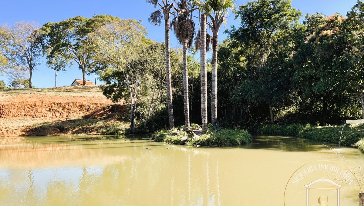 Siqueira Imóveis de Pirenópolis / Goiás / BrasilVenda de Casa em Brasília é na Siqueira Imobiliária de Pirenópolis / Imobiliária de Goiás / Imobiliária do Brasil / Imobiliária do Centro-Oeste / Pirenópolis Imóveis / Imóveis Pirenópolis / Imobiliária de Pirenópolis / Pirenópolis Imobiliária / Goiás Imóveis / Brasil Imóveis / Pirenópolis / Goiás / Brasil / Siqueira Imobiliária de Goiás / Consultoria Imobiliária / Consultor Imobiliário / Venda de Imóveis Pirenópolis / Melhor Imobiliária de Pirenópolis / Venda de pousadas / Venda de terrenos / venda de casas/ Venda de Lotes / Venda de Chácara / Venda de Fazenda / Venda de Apartamentos / Venda de Flat / Venda de Sítio / Brasília Imóveis / Goiânia Imóveis / Imobiliária de Goiânia / Imobiliária de Brasília/ Imobiliária em Pirenópolis / Imobiliária de Pirenópolis / Condomínio Fechado Vaga Fogo / Condomínio Paço da Estalagem / Condomínio Parque da Estalagem / Condomínio Quinta do Sol / Condomínio Fechado Pirenópolis / Cachoeiras Pirenópolis / Restaurante Pirenópolis /Siqueira Imóveis de Pirenópolis / Goiás / BrasilVenda de Casa em Brasília é na Siqueira Imobiliária de Pirenópolis / Imobiliária de Goiás / Imobiliária do Brasil / Imobiliária do Centro-Oeste / Pirenópolis Imóveis / Imóveis Pirenópolis / Imobiliária de Pirenópolis / Pirenópolis Imobiliária / Goiás Imóveis / Brasil Imóveis / Pirenópolis / Goiás / Brasil / Siqueira Imobiliária de Goiás / Consultoria Imobiliária / Consultor Imobiliário / Venda de Imóveis Pirenópolis / Melhor Imobiliária de Pirenópolis / Venda de pousadas / Venda de terrenos / venda de casas/ Venda de Lotes / Venda de Chácara / Venda de Fazenda / Venda de Apartamentos / Venda de Flat / Venda de Sítio / Brasília Imóveis / Goiânia Imóveis / Imobiliária de Goiânia / Imobiliária de Brasília/ Imobiliária em Pirenópolis / Imobiliária de Pirenópolis / Condomínio Fechado Vaga Fogo / Condomínio Paço da Estalagem / Condomínio Parque da Estalagem / Condomínio Quinta do Sol / Condomínio Fechado Pirenópolis / Cachoeiras Pirenópolis / Restaurante Pirenópolis /Siqueira Imóveis de Pirenópolis / Goiás / BrasilVenda de Casa em Brasília é na Siqueira Imobiliária de Pirenópolis / Imobiliária de Goiás / Imobiliária do Brasil / Imobiliária do Centro-Oeste / Pirenópolis Imóveis / Imóveis Pirenópolis / Imobiliária de Pirenópolis / Pirenópolis Imobiliária / Goiás Imóveis / Brasil Imóveis / Pirenópolis / Goiás / Brasil / Siqueira Imobiliária de Goiás / Consultoria Imobiliária / Consultor Imobiliário / Venda de Imóveis Pirenópolis / Melhor Imobiliária de Pirenópolis / Venda de pousadas / Venda de terrenos / venda de casas/ Venda de Lotes / Venda de Chácara / Venda de Fazenda / Venda de Apartamentos / Venda de Flat / Venda de Sítio / Brasília Imóveis / Goiânia Imóveis / Imobiliária de Goiânia / Imobiliária de Brasília/ Imobiliária em Pirenópolis / Imobiliária de Pirenópolis / Condomínio Fechado Vaga Fogo / Condomínio Paço da Estalagem / Condomínio Parque da Estalagem / Condomínio Quinta do Sol / Condomínio Fechado Pirenópolis / Cachoeiras Pirenópolis / Restaurante Pirenópolis /Siqueira Imóveis de Pirenópolis / Goiás / BrasilVenda de Casa em Brasília é na Siqueira Imobiliária de Pirenópolis / Imobiliária de Goiás / Imobiliária do Brasil / Imobiliária do Centro-Oeste / Pirenópolis Imóveis / Imóveis Pirenópolis / Imobiliária de Pirenópolis / Pirenópolis Imobiliária / Goiás Imóveis / Brasil Imóveis / Pirenópolis / Goiás / Brasil / Siqueira Imobiliária de Goiás / Consultoria Imobiliária / Consultor Imobiliário / Venda de Imóveis Pirenópolis / Melhor Imobiliária de Pirenópolis / Venda de pousadas / Venda de terrenos / venda de casas/ Venda de Lotes / Venda de Chácara / Venda de Fazenda / Venda de Apartamentos / Venda de Flat / Venda de Sítio / Brasília Imóveis / Goiânia Imóveis / Imobiliária de Goiânia / Imobiliária de Brasília/ Imobiliária em Pirenópolis / Imobiliária de Pirenópolis / Condomínio Fechado Vaga Fogo / Condomínio Paço da Estalagem / Condomínio Parque da Estalagem / Condomínio Quinta do Sol / Condomínio Fechado Pirenópolis / Cachoeiras Pirenópolis / Restaurante Pirenópolis /
