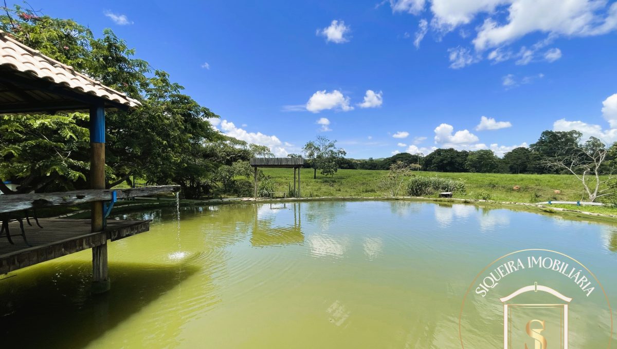 Siqueira Imóveis de Pirenópolis / Goiás / BrasilVenda de Casa em Brasília é na Siqueira Imobiliária de Pirenópolis / Imobiliária de Goiás / Imobiliária do Brasil / Imobiliária do Centro-Oeste / Pirenópolis Imóveis / Imóveis Pirenópolis / Imobiliária de Pirenópolis / Pirenópolis Imobiliária / Goiás Imóveis / Brasil Imóveis / Pirenópolis / Goiás / Brasil / Siqueira Imobiliária de Goiás / Consultoria Imobiliária / Consultor Imobiliário / Venda de Imóveis Pirenópolis / Melhor Imobiliária de Pirenópolis / Venda de pousadas / Venda de terrenos / venda de casas/ Venda de Lotes / Venda de Chácara / Venda de Fazenda / Venda de Apartamentos / Venda de Flat / Venda de Sítio / Brasília Imóveis / Goiânia Imóveis / Imobiliária de Goiânia / Imobiliária de Brasília/ Imobiliária em Pirenópolis / Imobiliária de Pirenópolis / Condomínio Fechado Vaga Fogo / Condomínio Paço da Estalagem / Condomínio Parque da Estalagem / Condomínio Quinta do Sol / Condomínio Fechado Pirenópolis / Cachoeiras Pirenópolis / Restaurante Pirenópolis /Siqueira Imóveis de Pirenópolis / Goiás / BrasilVenda de Casa em Brasília é na Siqueira Imobiliária de Pirenópolis / Imobiliária de Goiás / Imobiliária do Brasil / Imobiliária do Centro-Oeste / Pirenópolis Imóveis / Imóveis Pirenópolis / Imobiliária de Pirenópolis / Pirenópolis Imobiliária / Goiás Imóveis / Brasil Imóveis / Pirenópolis / Goiás / Brasil / Siqueira Imobiliária de Goiás / Consultoria Imobiliária / Consultor Imobiliário / Venda de Imóveis Pirenópolis / Melhor Imobiliária de Pirenópolis / Venda de pousadas / Venda de terrenos / venda de casas/ Venda de Lotes / Venda de Chácara / Venda de Fazenda / Venda de Apartamentos / Venda de Flat / Venda de Sítio / Brasília Imóveis / Goiânia Imóveis / Imobiliária de Goiânia / Imobiliária de Brasília/ Imobiliária em Pirenópolis / Imobiliária de Pirenópolis / Condomínio Fechado Vaga Fogo / Condomínio Paço da Estalagem / Condomínio Parque da Estalagem / Condomínio Quinta do Sol / Condomínio Fechado Pirenópolis / Cachoeiras Pirenópolis / Restaurante Pirenópolis /Siqueira Imóveis de Pirenópolis / Goiás / BrasilVenda de Casa em Brasília é na Siqueira Imobiliária de Pirenópolis / Imobiliária de Goiás / Imobiliária do Brasil / Imobiliária do Centro-Oeste / Pirenópolis Imóveis / Imóveis Pirenópolis / Imobiliária de Pirenópolis / Pirenópolis Imobiliária / Goiás Imóveis / Brasil Imóveis / Pirenópolis / Goiás / Brasil / Siqueira Imobiliária de Goiás / Consultoria Imobiliária / Consultor Imobiliário / Venda de Imóveis Pirenópolis / Melhor Imobiliária de Pirenópolis / Venda de pousadas / Venda de terrenos / venda de casas/ Venda de Lotes / Venda de Chácara / Venda de Fazenda / Venda de Apartamentos / Venda de Flat / Venda de Sítio / Brasília Imóveis / Goiânia Imóveis / Imobiliária de Goiânia / Imobiliária de Brasília/ Imobiliária em Pirenópolis / Imobiliária de Pirenópolis / Condomínio Fechado Vaga Fogo / Condomínio Paço da Estalagem / Condomínio Parque da Estalagem / Condomínio Quinta do Sol / Condomínio Fechado Pirenópolis / Cachoeiras Pirenópolis / Restaurante Pirenópolis /Siqueira Imóveis de Pirenópolis / Goiás / BrasilVenda de Casa em Brasília é na Siqueira Imobiliária de Pirenópolis / Imobiliária de Goiás / Imobiliária do Brasil / Imobiliária do Centro-Oeste / Pirenópolis Imóveis / Imóveis Pirenópolis / Imobiliária de Pirenópolis / Pirenópolis Imobiliária / Goiás Imóveis / Brasil Imóveis / Pirenópolis / Goiás / Brasil / Siqueira Imobiliária de Goiás / Consultoria Imobiliária / Consultor Imobiliário / Venda de Imóveis Pirenópolis / Melhor Imobiliária de Pirenópolis / Venda de pousadas / Venda de terrenos / venda de casas/ Venda de Lotes / Venda de Chácara / Venda de Fazenda / Venda de Apartamentos / Venda de Flat / Venda de Sítio / Brasília Imóveis / Goiânia Imóveis / Imobiliária de Goiânia / Imobiliária de Brasília/ Imobiliária em Pirenópolis / Imobiliária de Pirenópolis / Condomínio Fechado Vaga Fogo / Condomínio Paço da Estalagem / Condomínio Parque da Estalagem / Condomínio Quinta do Sol / Condomínio Fechado Pirenópolis / Cachoeiras Pirenópolis / Restaurante Pirenópolis /