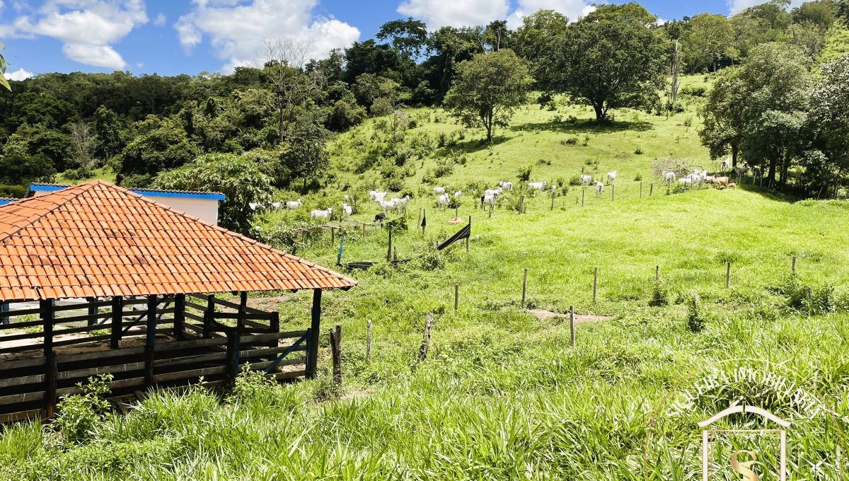 IMG_9760Siqueira Imóveis de Pirenópolis / Goiás / BrasilVenda de Casa em Brasília é na Siqueira Imobiliária de Pirenópolis / Imobiliária de Goiás / Imobiliária do Brasil / Imobiliária do Centro-Oeste / Pirenópolis Imóveis / Imóveis Pirenópolis / Imobiliária de Pirenópolis / Pirenópolis Imobiliária / Goiás Imóveis / Brasil Imóveis / Pirenópolis / Goiás / Brasil / Siqueira Imobiliária de Goiás / Consultoria Imobiliária / Consultor Imobiliário / Venda de Imóveis Pirenópolis / Melhor Imobiliária de Pirenópolis / Venda de pousadas / Venda de terrenos / venda de casas/ Venda de Lotes / Venda de Chácara / Venda de Fazenda / Venda de Apartamentos / Venda de Flat / Venda de Sítio / Brasília Imóveis / Goiânia Imóveis / Imobiliária de Goiânia / Imobiliária de Brasília/ Imobiliária em Pirenópolis / Imobiliária de Pirenópolis / Condomínio Fechado Vaga Fogo / Condomínio Paço da Estalagem / Condomínio Parque da Estalagem / Condomínio Quinta do Sol / Condomínio Fechado Pirenópolis / Cachoeiras Pirenópolis / Restaurante Pirenópolis /Siqueira Imóveis de Pirenópolis / Goiás / BrasilVenda de Casa em Brasília é na Siqueira Imobiliária de Pirenópolis / Imobiliária de Goiás / Imobiliária do Brasil / Imobiliária do Centro-Oeste / Pirenópolis Imóveis / Imóveis Pirenópolis / Imobiliária de Pirenópolis / Pirenópolis Imobiliária / Goiás Imóveis / Brasil Imóveis / Pirenópolis / Goiás / Brasil / Siqueira Imobiliária de Goiás / Consultoria Imobiliária / Consultor Imobiliário / Venda de Imóveis Pirenópolis / Melhor Imobiliária de Pirenópolis / Venda de pousadas / Venda de terrenos / venda de casas/ Venda de Lotes / Venda de Chácara / Venda de Fazenda / Venda de Apartamentos / Venda de Flat / Venda de Sítio / Brasília Imóveis / Goiânia Imóveis / Imobiliária de Goiânia / Imobiliária de Brasília/ Imobiliária em Pirenópolis / Imobiliária de Pirenópolis / Condomínio Fechado Vaga Fogo / Condomínio Paço da Estalagem / Condomínio Parque da Estalagem / Condomínio Quinta do Sol / Condomínio Fechado Pirenópolis / Cachoeiras Pirenópolis / Restaurante Pirenópolis /Siqueira Imóveis de Pirenópolis / Goiás / BrasilVenda de Casa em Brasília é na Siqueira Imobiliária de Pirenópolis / Imobiliária de Goiás / Imobiliária do Brasil / Imobiliária do Centro-Oeste / Pirenópolis Imóveis / Imóveis Pirenópolis / Imobiliária de Pirenópolis / Pirenópolis Imobiliária / Goiás Imóveis / Brasil Imóveis / Pirenópolis / Goiás / Brasil / Siqueira Imobiliária de Goiás / Consultoria Imobiliária / Consultor Imobiliário / Venda de Imóveis Pirenópolis / Melhor Imobiliária de Pirenópolis / Venda de pousadas / Venda de terrenos / venda de casas/ Venda de Lotes / Venda de Chácara / Venda de Fazenda / Venda de Apartamentos / Venda de Flat / Venda de Sítio / Brasília Imóveis / Goiânia Imóveis / Imobiliária de Goiânia / Imobiliária de Brasília/ Imobiliária em Pirenópolis / Imobiliária de Pirenópolis / Condomínio Fechado Vaga Fogo / Condomínio Paço da Estalagem / Condomínio Parque da Estalagem / Condomínio Quinta do Sol / Condomínio Fechado Pirenópolis / Cachoeiras Pirenópolis / Restaurante Pirenópolis /Siqueira Imóveis de Pirenópolis / Goiás / BrasilVenda de Casa em Brasília é na Siqueira Imobiliária de Pirenópolis / Imobiliária de Goiás / Imobiliária do Brasil / Imobiliária do Centro-Oeste / Pirenópolis Imóveis / Imóveis Pirenópolis / Imobiliária de Pirenópolis / Pirenópolis Imobiliária / Goiás Imóveis / Brasil Imóveis / Pirenópolis / Goiás / Brasil / Siqueira Imobiliária de Goiás / Consultoria Imobiliária / Consultor Imobiliário / Venda de Imóveis Pirenópolis / Melhor Imobiliária de Pirenópolis / Venda de pousadas / Venda de terrenos / venda de casas/ Venda de Lotes / Venda de Chácara / Venda de Fazenda / Venda de Apartamentos / Venda de Flat / Venda de Sítio / Brasília Imóveis / Goiânia Imóveis / Imobiliária de Goiânia / Imobiliária de Brasília/ Imobiliária em Pirenópolis / Imobiliária de Pirenópolis / Condomínio Fechado Vaga Fogo / Condomínio Paço da Estalagem / Condomínio Parque da Estalagem / Condomínio Quinta do Sol / Condomínio Fechado Pirenópolis / Cachoeiras Pirenópolis / Restaurante Pirenópolis /