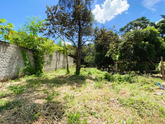 Siqueira Imóveis de Pirenópolis / Goiás / BrasilVenda de Casa em Brasília é na Siqueira Imobiliária de Pirenópolis / Imobiliária de Goiás / Imobiliária do Brasil / Imobiliária do Centro-Oeste / Pirenópolis Imóveis / Imóveis Pirenópolis / Imobiliária de Pirenópolis / Pirenópolis Imobiliária / Goiás Imóveis / Brasil Imóveis / Pirenópolis / Goiás / Brasil / Siqueira Imobiliária de Goiás / Consultoria Imobiliária / Consultor Imobiliário / Venda de Imóveis Pirenópolis / Melhor Imobiliária de Pirenópolis / Venda de pousadas / Venda de terrenos / venda de casas/ Venda de Lotes / Venda de Chácara / Venda de Fazenda / Venda de Apartamentos / Venda de Flat / Venda de Sítio / Brasília Imóveis / Goiânia Imóveis / Imobiliária de Goiânia / Imobiliária de Brasília/ Imobiliária em Pirenópolis / Imobiliária de Pirenópolis / Condomínio Fechado Vaga Fogo / Condomínio Paço da Estalagem / Condomínio Parque da Estalagem / Condomínio Quinta do Sol / Condomínio Fechado Pirenópolis / Cachoeiras Pirenópolis / Restaurante Pirenópolis /Siqueira Imóveis de Pirenópolis / Goiás / BrasilVenda de Casa em Brasília é na Siqueira Imobiliária de Pirenópolis / Imobiliária de Goiás / Imobiliária do Brasil / Imobiliária do Centro-Oeste / Pirenópolis Imóveis / Imóveis Pirenópolis / Imobiliária de Pirenópolis / Pirenópolis Imobiliária / Goiás Imóveis / Brasil Imóveis / Pirenópolis / Goiás / Brasil / Siqueira Imobiliária de Goiás / Consultoria Imobiliária / Consultor Imobiliário / Venda de Imóveis Pirenópolis / Melhor Imobiliária de Pirenópolis / Venda de pousadas / Venda de terrenos / venda de casas/ Venda de Lotes / Venda de Chácara / Venda de Fazenda / Venda de Apartamentos / Venda de Flat / Venda de Sítio / Brasília Imóveis / Goiânia Imóveis / Imobiliária de Goiânia / Imobiliária de Brasília/ Imobiliária em Pirenópolis / Imobiliária de Pirenópolis / Condomínio Fechado Vaga Fogo / Condomínio Paço da Estalagem / Condomínio Parque da Estalagem / Condomínio Quinta do Sol / Condomínio Fechado Pirenópolis / Cachoeiras Pirenópolis / Restaurante Pirenópolis /Siqueira Imóveis de Pirenópolis / Goiás / BrasilVenda de Casa em Brasília é na Siqueira Imobiliária de Pirenópolis / Imobiliária de Goiás / Imobiliária do Brasil / Imobiliária do Centro-Oeste / Pirenópolis Imóveis / Imóveis Pirenópolis / Imobiliária de Pirenópolis / Pirenópolis Imobiliária / Goiás Imóveis / Brasil Imóveis / Pirenópolis / Goiás / Brasil / Siqueira Imobiliária de Goiás / Consultoria Imobiliária / Consultor Imobiliário / Venda de Imóveis Pirenópolis / Melhor Imobiliária de Pirenópolis / Venda de pousadas / Venda de terrenos / venda de casas/ Venda de Lotes / Venda de Chácara / Venda de Fazenda / Venda de Apartamentos / Venda de Flat / Venda de Sítio / Brasília Imóveis / Goiânia Imóveis / Imobiliária de Goiânia / Imobiliária de Brasília/ Imobiliária em Pirenópolis / Imobiliária de Pirenópolis / Condomínio Fechado Vaga Fogo / Condomínio Paço da Estalagem / Condomínio Parque da Estalagem / Condomínio Quinta do Sol / Condomínio Fechado Pirenópolis / Cachoeiras Pirenópolis / Restaurante Pirenópolis /Siqueira Imóveis de Pirenópolis / Goiás / BrasilVenda de Casa em Brasília é na Siqueira Imobiliária de Pirenópolis / Imobiliária de Goiás / Imobiliária do Brasil / Imobiliária do Centro-Oeste / Pirenópolis Imóveis / Imóveis Pirenópolis / Imobiliária de Pirenópolis / Pirenópolis Imobiliária / Goiás Imóveis / Brasil Imóveis / Pirenópolis / Goiás / Brasil / Siqueira Imobiliária de Goiás / Consultoria Imobiliária / Consultor Imobiliário / Venda de Imóveis Pirenópolis / Melhor Imobiliária de Pirenópolis / Venda de pousadas / Venda de terrenos / venda de casas/ Venda de Lotes / Venda de Chácara / Venda de Fazenda / Venda de Apartamentos / Venda de Flat / Venda de Sítio / Brasília Imóveis / Goiânia Imóveis / Imobiliária de Goiânia / Imobiliária de Brasília/ Imobiliária em Pirenópolis / Imobiliária de Pirenópolis / Condomínio Fechado Vaga Fogo / Condomínio Paço da Estalagem / Condomínio Parque da Estalagem / Condomínio Quinta do Sol / Condomínio Fechado Pirenópolis / Cachoeiras Pirenópolis / Restaurante Pirenópolis /