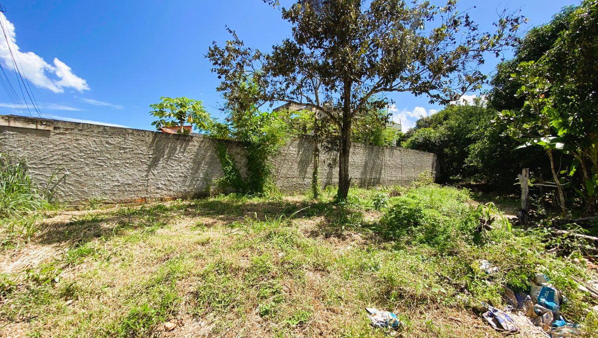 Siqueira Imóveis de Pirenópolis / Goiás / BrasilVenda de Casa em Brasília é na Siqueira Imobiliária de Pirenópolis / Imobiliária de Goiás / Imobiliária do Brasil / Imobiliária do Centro-Oeste / Pirenópolis Imóveis / Imóveis Pirenópolis / Imobiliária de Pirenópolis / Pirenópolis Imobiliária / Goiás Imóveis / Brasil Imóveis / Pirenópolis / Goiás / Brasil / Siqueira Imobiliária de Goiás / Consultoria Imobiliária / Consultor Imobiliário / Venda de Imóveis Pirenópolis / Melhor Imobiliária de Pirenópolis / Venda de pousadas / Venda de terrenos / venda de casas/ Venda de Lotes / Venda de Chácara / Venda de Fazenda / Venda de Apartamentos / Venda de Flat / Venda de Sítio / Brasília Imóveis / Goiânia Imóveis / Imobiliária de Goiânia / Imobiliária de Brasília/ Imobiliária em Pirenópolis / Imobiliária de Pirenópolis / Condomínio Fechado Vaga Fogo / Condomínio Paço da Estalagem / Condomínio Parque da Estalagem / Condomínio Quinta do Sol / Condomínio Fechado Pirenópolis / Cachoeiras Pirenópolis / Restaurante Pirenópolis /Siqueira Imóveis de Pirenópolis / Goiás / BrasilVenda de Casa em Brasília é na Siqueira Imobiliária de Pirenópolis / Imobiliária de Goiás / Imobiliária do Brasil / Imobiliária do Centro-Oeste / Pirenópolis Imóveis / Imóveis Pirenópolis / Imobiliária de Pirenópolis / Pirenópolis Imobiliária / Goiás Imóveis / Brasil Imóveis / Pirenópolis / Goiás / Brasil / Siqueira Imobiliária de Goiás / Consultoria Imobiliária / Consultor Imobiliário / Venda de Imóveis Pirenópolis / Melhor Imobiliária de Pirenópolis / Venda de pousadas / Venda de terrenos / venda de casas/ Venda de Lotes / Venda de Chácara / Venda de Fazenda / Venda de Apartamentos / Venda de Flat / Venda de Sítio / Brasília Imóveis / Goiânia Imóveis / Imobiliária de Goiânia / Imobiliária de Brasília/ Imobiliária em Pirenópolis / Imobiliária de Pirenópolis / Condomínio Fechado Vaga Fogo / Condomínio Paço da Estalagem / Condomínio Parque da Estalagem / Condomínio Quinta do Sol / Condomínio Fechado Pirenópolis / Cachoeiras Pirenópolis / Restaurante Pirenópolis /Siqueira Imóveis de Pirenópolis / Goiás / BrasilVenda de Casa em Brasília é na Siqueira Imobiliária de Pirenópolis / Imobiliária de Goiás / Imobiliária do Brasil / Imobiliária do Centro-Oeste / Pirenópolis Imóveis / Imóveis Pirenópolis / Imobiliária de Pirenópolis / Pirenópolis Imobiliária / Goiás Imóveis / Brasil Imóveis / Pirenópolis / Goiás / Brasil / Siqueira Imobiliária de Goiás / Consultoria Imobiliária / Consultor Imobiliário / Venda de Imóveis Pirenópolis / Melhor Imobiliária de Pirenópolis / Venda de pousadas / Venda de terrenos / venda de casas/ Venda de Lotes / Venda de Chácara / Venda de Fazenda / Venda de Apartamentos / Venda de Flat / Venda de Sítio / Brasília Imóveis / Goiânia Imóveis / Imobiliária de Goiânia / Imobiliária de Brasília/ Imobiliária em Pirenópolis / Imobiliária de Pirenópolis / Condomínio Fechado Vaga Fogo / Condomínio Paço da Estalagem / Condomínio Parque da Estalagem / Condomínio Quinta do Sol / Condomínio Fechado Pirenópolis / Cachoeiras Pirenópolis / Restaurante Pirenópolis /Siqueira Imóveis de Pirenópolis / Goiás / BrasilVenda de Casa em Brasília é na Siqueira Imobiliária de Pirenópolis / Imobiliária de Goiás / Imobiliária do Brasil / Imobiliária do Centro-Oeste / Pirenópolis Imóveis / Imóveis Pirenópolis / Imobiliária de Pirenópolis / Pirenópolis Imobiliária / Goiás Imóveis / Brasil Imóveis / Pirenópolis / Goiás / Brasil / Siqueira Imobiliária de Goiás / Consultoria Imobiliária / Consultor Imobiliário / Venda de Imóveis Pirenópolis / Melhor Imobiliária de Pirenópolis / Venda de pousadas / Venda de terrenos / venda de casas/ Venda de Lotes / Venda de Chácara / Venda de Fazenda / Venda de Apartamentos / Venda de Flat / Venda de Sítio / Brasília Imóveis / Goiânia Imóveis / Imobiliária de Goiânia / Imobiliária de Brasília/ Imobiliária em Pirenópolis / Imobiliária de Pirenópolis / Condomínio Fechado Vaga Fogo / Condomínio Paço da Estalagem / Condomínio Parque da Estalagem / Condomínio Quinta do Sol / Condomínio Fechado Pirenópolis / Cachoeiras Pirenópolis / Restaurante Pirenópolis /