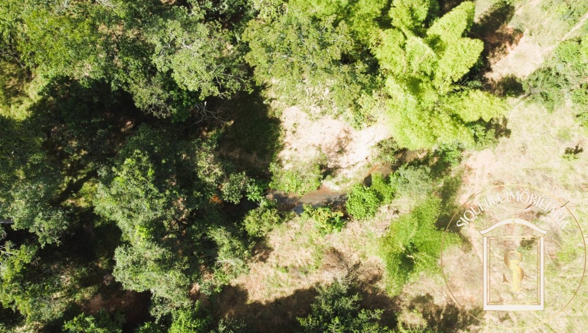 Siqueira Imóveis de Pirenópolis / Goiás / BrasilVenda de Casa em Brasília é na Siqueira Imobiliária de Pirenópolis / Imobiliária de Goiás / Imobiliária do Brasil / Imobiliária do Centro-Oeste / Pirenópolis Imóveis / Imóveis Pirenópolis / Imobiliária de Pirenópolis / Pirenópolis Imobiliária / Goiás Imóveis / Brasil Imóveis / Pirenópolis / Goiás / Brasil / Siqueira Imobiliária de Goiás / Consultoria Imobiliária / Consultor Imobiliário / Venda de Imóveis Pirenópolis / Melhor Imobiliária de Pirenópolis / Venda de pousadas / Venda de terrenos / venda de casas/ Venda de Lotes / Venda de Chácara / Venda de Fazenda / Venda de Apartamentos / Venda de Flat / Venda de Sítio / Brasília Imóveis / Goiânia Imóveis / Imobiliária de Goiânia / Imobiliária de Brasília/ Imobiliária em Pirenópolis / Imobiliária de Pirenópolis / Condomínio Fechado Vaga Fogo / Condomínio Paço da Estalagem / Condomínio Parque da Estalagem / Condomínio Quinta do Sol / Condomínio Fechado Pirenópolis / Cachoeiras Pirenópolis / Restaurante Pirenópolis /Siqueira Imóveis de Pirenópolis / Goiás / BrasilVenda de Casa em Brasília é na Siqueira Imobiliária de Pirenópolis / Imobiliária de Goiás / Imobiliária do Brasil / Imobiliária do Centro-Oeste / Pirenópolis Imóveis / Imóveis Pirenópolis / Imobiliária de Pirenópolis / Pirenópolis Imobiliária / Goiás Imóveis / Brasil Imóveis / Pirenópolis / Goiás / Brasil / Siqueira Imobiliária de Goiás / Consultoria Imobiliária / Consultor Imobiliário / Venda de Imóveis Pirenópolis / Melhor Imobiliária de Pirenópolis / Venda de pousadas / Venda de terrenos / venda de casas/ Venda de Lotes / Venda de Chácara / Venda de Fazenda / Venda de Apartamentos / Venda de Flat / Venda de Sítio / Brasília Imóveis / Goiânia Imóveis / Imobiliária de Goiânia / Imobiliária de Brasília/ Imobiliária em Pirenópolis / Imobiliária de Pirenópolis / Condomínio Fechado Vaga Fogo / Condomínio Paço da Estalagem / Condomínio Parque da Estalagem / Condomínio Quinta do Sol / Condomínio Fechado Pirenópolis / Cachoeiras Pirenópolis / Restaurante Pirenópolis /Siqueira Imóveis de Pirenópolis / Goiás / BrasilVenda de Casa em Brasília é na Siqueira Imobiliária de Pirenópolis / Imobiliária de Goiás / Imobiliária do Brasil / Imobiliária do Centro-Oeste / Pirenópolis Imóveis / Imóveis Pirenópolis / Imobiliária de Pirenópolis / Pirenópolis Imobiliária / Goiás Imóveis / Brasil Imóveis / Pirenópolis / Goiás / Brasil / Siqueira Imobiliária de Goiás / Consultoria Imobiliária / Consultor Imobiliário / Venda de Imóveis Pirenópolis / Melhor Imobiliária de Pirenópolis / Venda de pousadas / Venda de terrenos / venda de casas/ Venda de Lotes / Venda de Chácara / Venda de Fazenda / Venda de Apartamentos / Venda de Flat / Venda de Sítio / Brasília Imóveis / Goiânia Imóveis / Imobiliária de Goiânia / Imobiliária de Brasília/ Imobiliária em Pirenópolis / Imobiliária de Pirenópolis / Condomínio Fechado Vaga Fogo / Condomínio Paço da Estalagem / Condomínio Parque da Estalagem / Condomínio Quinta do Sol / Condomínio Fechado Pirenópolis / Cachoeiras Pirenópolis / Restaurante Pirenópolis /Siqueira Imóveis de Pirenópolis / Goiás / BrasilVenda de Casa em Brasília é na Siqueira Imobiliária de Pirenópolis / Imobiliária de Goiás / Imobiliária do Brasil / Imobiliária do Centro-Oeste / Pirenópolis Imóveis / Imóveis Pirenópolis / Imobiliária de Pirenópolis / Pirenópolis Imobiliária / Goiás Imóveis / Brasil Imóveis / Pirenópolis / Goiás / Brasil / Siqueira Imobiliária de Goiás / Consultoria Imobiliária / Consultor Imobiliário / Venda de Imóveis Pirenópolis / Melhor Imobiliária de Pirenópolis / Venda de pousadas / Venda de terrenos / venda de casas/ Venda de Lotes / Venda de Chácara / Venda de Fazenda / Venda de Apartamentos / Venda de Flat / Venda de Sítio / Brasília Imóveis / Goiânia Imóveis / Imobiliária de Goiânia / Imobiliária de Brasília/ Imobiliária em Pirenópolis / Imobiliária de Pirenópolis / Condomínio Fechado Vaga Fogo / Condomínio Paço da Estalagem / Condomínio Parque da Estalagem / Condomínio Quinta do Sol / Condomínio Fechado Pirenópolis / Cachoeiras Pirenópolis / Restaurante Pirenópolis /