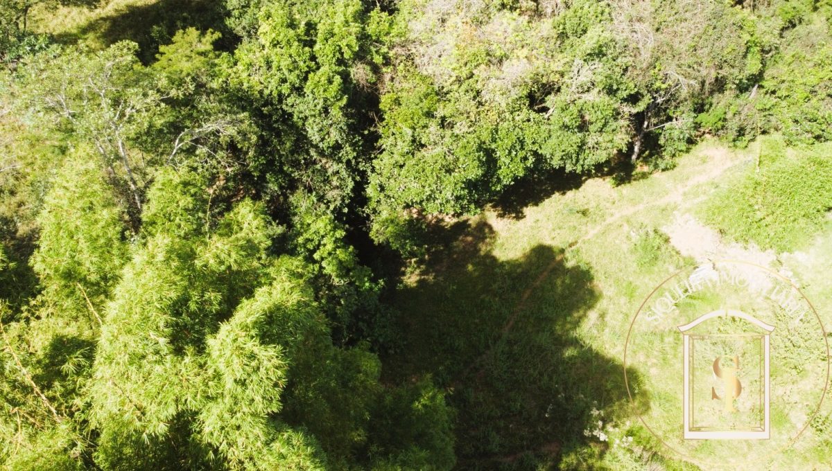 Siqueira Imóveis de Pirenópolis / Goiás / BrasilVenda de Casa em Brasília é na Siqueira Imobiliária de Pirenópolis / Imobiliária de Goiás / Imobiliária do Brasil / Imobiliária do Centro-Oeste / Pirenópolis Imóveis / Imóveis Pirenópolis / Imobiliária de Pirenópolis / Pirenópolis Imobiliária / Goiás Imóveis / Brasil Imóveis / Pirenópolis / Goiás / Brasil / Siqueira Imobiliária de Goiás / Consultoria Imobiliária / Consultor Imobiliário / Venda de Imóveis Pirenópolis / Melhor Imobiliária de Pirenópolis / Venda de pousadas / Venda de terrenos / venda de casas/ Venda de Lotes / Venda de Chácara / Venda de Fazenda / Venda de Apartamentos / Venda de Flat / Venda de Sítio / Brasília Imóveis / Goiânia Imóveis / Imobiliária de Goiânia / Imobiliária de Brasília/ Imobiliária em Pirenópolis / Imobiliária de Pirenópolis / Condomínio Fechado Vaga Fogo / Condomínio Paço da Estalagem / Condomínio Parque da Estalagem / Condomínio Quinta do Sol / Condomínio Fechado Pirenópolis / Cachoeiras Pirenópolis / Restaurante Pirenópolis /Siqueira Imóveis de Pirenópolis / Goiás / BrasilVenda de Casa em Brasília é na Siqueira Imobiliária de Pirenópolis / Imobiliária de Goiás / Imobiliária do Brasil / Imobiliária do Centro-Oeste / Pirenópolis Imóveis / Imóveis Pirenópolis / Imobiliária de Pirenópolis / Pirenópolis Imobiliária / Goiás Imóveis / Brasil Imóveis / Pirenópolis / Goiás / Brasil / Siqueira Imobiliária de Goiás / Consultoria Imobiliária / Consultor Imobiliário / Venda de Imóveis Pirenópolis / Melhor Imobiliária de Pirenópolis / Venda de pousadas / Venda de terrenos / venda de casas/ Venda de Lotes / Venda de Chácara / Venda de Fazenda / Venda de Apartamentos / Venda de Flat / Venda de Sítio / Brasília Imóveis / Goiânia Imóveis / Imobiliária de Goiânia / Imobiliária de Brasília/ Imobiliária em Pirenópolis / Imobiliária de Pirenópolis / Condomínio Fechado Vaga Fogo / Condomínio Paço da Estalagem / Condomínio Parque da Estalagem / Condomínio Quinta do Sol / Condomínio Fechado Pirenópolis / Cachoeiras Pirenópolis / Restaurante Pirenópolis /Siqueira Imóveis de Pirenópolis / Goiás / BrasilVenda de Casa em Brasília é na Siqueira Imobiliária de Pirenópolis / Imobiliária de Goiás / Imobiliária do Brasil / Imobiliária do Centro-Oeste / Pirenópolis Imóveis / Imóveis Pirenópolis / Imobiliária de Pirenópolis / Pirenópolis Imobiliária / Goiás Imóveis / Brasil Imóveis / Pirenópolis / Goiás / Brasil / Siqueira Imobiliária de Goiás / Consultoria Imobiliária / Consultor Imobiliário / Venda de Imóveis Pirenópolis / Melhor Imobiliária de Pirenópolis / Venda de pousadas / Venda de terrenos / venda de casas/ Venda de Lotes / Venda de Chácara / Venda de Fazenda / Venda de Apartamentos / Venda de Flat / Venda de Sítio / Brasília Imóveis / Goiânia Imóveis / Imobiliária de Goiânia / Imobiliária de Brasília/ Imobiliária em Pirenópolis / Imobiliária de Pirenópolis / Condomínio Fechado Vaga Fogo / Condomínio Paço da Estalagem / Condomínio Parque da Estalagem / Condomínio Quinta do Sol / Condomínio Fechado Pirenópolis / Cachoeiras Pirenópolis / Restaurante Pirenópolis /Siqueira Imóveis de Pirenópolis / Goiás / BrasilVenda de Casa em Brasília é na Siqueira Imobiliária de Pirenópolis / Imobiliária de Goiás / Imobiliária do Brasil / Imobiliária do Centro-Oeste / Pirenópolis Imóveis / Imóveis Pirenópolis / Imobiliária de Pirenópolis / Pirenópolis Imobiliária / Goiás Imóveis / Brasil Imóveis / Pirenópolis / Goiás / Brasil / Siqueira Imobiliária de Goiás / Consultoria Imobiliária / Consultor Imobiliário / Venda de Imóveis Pirenópolis / Melhor Imobiliária de Pirenópolis / Venda de pousadas / Venda de terrenos / venda de casas/ Venda de Lotes / Venda de Chácara / Venda de Fazenda / Venda de Apartamentos / Venda de Flat / Venda de Sítio / Brasília Imóveis / Goiânia Imóveis / Imobiliária de Goiânia / Imobiliária de Brasília/ Imobiliária em Pirenópolis / Imobiliária de Pirenópolis / Condomínio Fechado Vaga Fogo / Condomínio Paço da Estalagem / Condomínio Parque da Estalagem / Condomínio Quinta do Sol / Condomínio Fechado Pirenópolis / Cachoeiras Pirenópolis / Restaurante Pirenópolis /