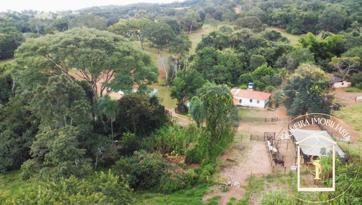 Siqueira Imóveis de Pirenópolis / Goiás / BrasilVenda de Casa em Brasília é na Siqueira Imobiliária de Pirenópolis / Imobiliária de Goiás / Imobiliária do Brasil / Imobiliária do Centro-Oeste / Pirenópolis Imóveis / Imóveis Pirenópolis / Imobiliária de Pirenópolis / Pirenópolis Imobiliária / Goiás Imóveis / Brasil Imóveis / Pirenópolis / Goiás / Brasil / Siqueira Imobiliária de Goiás / Consultoria Imobiliária / Consultor Imobiliário / Venda de Imóveis Pirenópolis / Melhor Imobiliária de Pirenópolis / Venda de pousadas / Venda de terrenos / venda de casas/ Venda de Lotes / Venda de Chácara / Venda de Fazenda / Venda de Apartamentos / Venda de Flat / Venda de Sítio / Brasília Imóveis / Goiânia Imóveis / Imobiliária de Goiânia / Imobiliária de Brasília/ Imobiliária em Pirenópolis / Imobiliária de Pirenópolis / Condomínio Fechado Vaga Fogo / Condomínio Paço da Estalagem / Condomínio Parque da Estalagem / Condomínio Quinta do Sol / Condomínio Fechado Pirenópolis / Cachoeiras Pirenópolis / Restaurante Pirenópolis /Siqueira Imóveis de Pirenópolis / Goiás / BrasilVenda de Casa em Brasília é na Siqueira Imobiliária de Pirenópolis / Imobiliária de Goiás / Imobiliária do Brasil / Imobiliária do Centro-Oeste / Pirenópolis Imóveis / Imóveis Pirenópolis / Imobiliária de Pirenópolis / Pirenópolis Imobiliária / Goiás Imóveis / Brasil Imóveis / Pirenópolis / Goiás / Brasil / Siqueira Imobiliária de Goiás / Consultoria Imobiliária / Consultor Imobiliário / Venda de Imóveis Pirenópolis / Melhor Imobiliária de Pirenópolis / Venda de pousadas / Venda de terrenos / venda de casas/ Venda de Lotes / Venda de Chácara / Venda de Fazenda / Venda de Apartamentos / Venda de Flat / Venda de Sítio / Brasília Imóveis / Goiânia Imóveis / Imobiliária de Goiânia / Imobiliária de Brasília/ Imobiliária em Pirenópolis / Imobiliária de Pirenópolis / Condomínio Fechado Vaga Fogo / Condomínio Paço da Estalagem / Condomínio Parque da Estalagem / Condomínio Quinta do Sol / Condomínio Fechado Pirenópolis / Cachoeiras Pirenópolis / Restaurante Pirenópolis /Siqueira Imóveis de Pirenópolis / Goiás / BrasilVenda de Casa em Brasília é na Siqueira Imobiliária de Pirenópolis / Imobiliária de Goiás / Imobiliária do Brasil / Imobiliária do Centro-Oeste / Pirenópolis Imóveis / Imóveis Pirenópolis / Imobiliária de Pirenópolis / Pirenópolis Imobiliária / Goiás Imóveis / Brasil Imóveis / Pirenópolis / Goiás / Brasil / Siqueira Imobiliária de Goiás / Consultoria Imobiliária / Consultor Imobiliário / Venda de Imóveis Pirenópolis / Melhor Imobiliária de Pirenópolis / Venda de pousadas / Venda de terrenos / venda de casas/ Venda de Lotes / Venda de Chácara / Venda de Fazenda / Venda de Apartamentos / Venda de Flat / Venda de Sítio / Brasília Imóveis / Goiânia Imóveis / Imobiliária de Goiânia / Imobiliária de Brasília/ Imobiliária em Pirenópolis / Imobiliária de Pirenópolis / Condomínio Fechado Vaga Fogo / Condomínio Paço da Estalagem / Condomínio Parque da Estalagem / Condomínio Quinta do Sol / Condomínio Fechado Pirenópolis / Cachoeiras Pirenópolis / Restaurante Pirenópolis /Siqueira Imóveis de Pirenópolis / Goiás / BrasilVenda de Casa em Brasília é na Siqueira Imobiliária de Pirenópolis / Imobiliária de Goiás / Imobiliária do Brasil / Imobiliária do Centro-Oeste / Pirenópolis Imóveis / Imóveis Pirenópolis / Imobiliária de Pirenópolis / Pirenópolis Imobiliária / Goiás Imóveis / Brasil Imóveis / Pirenópolis / Goiás / Brasil / Siqueira Imobiliária de Goiás / Consultoria Imobiliária / Consultor Imobiliário / Venda de Imóveis Pirenópolis / Melhor Imobiliária de Pirenópolis / Venda de pousadas / Venda de terrenos / venda de casas/ Venda de Lotes / Venda de Chácara / Venda de Fazenda / Venda de Apartamentos / Venda de Flat / Venda de Sítio / Brasília Imóveis / Goiânia Imóveis / Imobiliária de Goiânia / Imobiliária de Brasília/ Imobiliária em Pirenópolis / Imobiliária de Pirenópolis / Condomínio Fechado Vaga Fogo / Condomínio Paço da Estalagem / Condomínio Parque da Estalagem / Condomínio Quinta do Sol / Condomínio Fechado Pirenópolis / Cachoeiras Pirenópolis / Restaurante Pirenópolis /