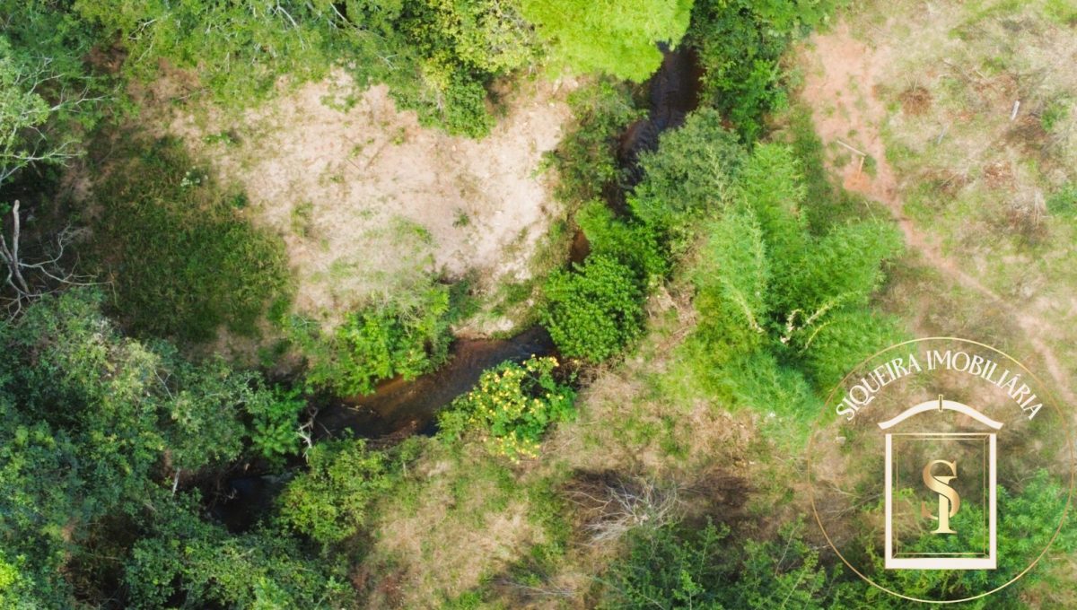 Siqueira Imóveis de Pirenópolis / Goiás / BrasilVenda de Casa em Brasília é na Siqueira Imobiliária de Pirenópolis / Imobiliária de Goiás / Imobiliária do Brasil / Imobiliária do Centro-Oeste / Pirenópolis Imóveis / Imóveis Pirenópolis / Imobiliária de Pirenópolis / Pirenópolis Imobiliária / Goiás Imóveis / Brasil Imóveis / Pirenópolis / Goiás / Brasil / Siqueira Imobiliária de Goiás / Consultoria Imobiliária / Consultor Imobiliário / Venda de Imóveis Pirenópolis / Melhor Imobiliária de Pirenópolis / Venda de pousadas / Venda de terrenos / venda de casas/ Venda de Lotes / Venda de Chácara / Venda de Fazenda / Venda de Apartamentos / Venda de Flat / Venda de Sítio / Brasília Imóveis / Goiânia Imóveis / Imobiliária de Goiânia / Imobiliária de Brasília/ Imobiliária em Pirenópolis / Imobiliária de Pirenópolis / Condomínio Fechado Vaga Fogo / Condomínio Paço da Estalagem / Condomínio Parque da Estalagem / Condomínio Quinta do Sol / Condomínio Fechado Pirenópolis / Cachoeiras Pirenópolis / Restaurante Pirenópolis /Siqueira Imóveis de Pirenópolis / Goiás / BrasilVenda de Casa em Brasília é na Siqueira Imobiliária de Pirenópolis / Imobiliária de Goiás / Imobiliária do Brasil / Imobiliária do Centro-Oeste / Pirenópolis Imóveis / Imóveis Pirenópolis / Imobiliária de Pirenópolis / Pirenópolis Imobiliária / Goiás Imóveis / Brasil Imóveis / Pirenópolis / Goiás / Brasil / Siqueira Imobiliária de Goiás / Consultoria Imobiliária / Consultor Imobiliário / Venda de Imóveis Pirenópolis / Melhor Imobiliária de Pirenópolis / Venda de pousadas / Venda de terrenos / venda de casas/ Venda de Lotes / Venda de Chácara / Venda de Fazenda / Venda de Apartamentos / Venda de Flat / Venda de Sítio / Brasília Imóveis / Goiânia Imóveis / Imobiliária de Goiânia / Imobiliária de Brasília/ Imobiliária em Pirenópolis / Imobiliária de Pirenópolis / Condomínio Fechado Vaga Fogo / Condomínio Paço da Estalagem / Condomínio Parque da Estalagem / Condomínio Quinta do Sol / Condomínio Fechado Pirenópolis / Cachoeiras Pirenópolis / Restaurante Pirenópolis /Siqueira Imóveis de Pirenópolis / Goiás / BrasilVenda de Casa em Brasília é na Siqueira Imobiliária de Pirenópolis / Imobiliária de Goiás / Imobiliária do Brasil / Imobiliária do Centro-Oeste / Pirenópolis Imóveis / Imóveis Pirenópolis / Imobiliária de Pirenópolis / Pirenópolis Imobiliária / Goiás Imóveis / Brasil Imóveis / Pirenópolis / Goiás / Brasil / Siqueira Imobiliária de Goiás / Consultoria Imobiliária / Consultor Imobiliário / Venda de Imóveis Pirenópolis / Melhor Imobiliária de Pirenópolis / Venda de pousadas / Venda de terrenos / venda de casas/ Venda de Lotes / Venda de Chácara / Venda de Fazenda / Venda de Apartamentos / Venda de Flat / Venda de Sítio / Brasília Imóveis / Goiânia Imóveis / Imobiliária de Goiânia / Imobiliária de Brasília/ Imobiliária em Pirenópolis / Imobiliária de Pirenópolis / Condomínio Fechado Vaga Fogo / Condomínio Paço da Estalagem / Condomínio Parque da Estalagem / Condomínio Quinta do Sol / Condomínio Fechado Pirenópolis / Cachoeiras Pirenópolis / Restaurante Pirenópolis /Siqueira Imóveis de Pirenópolis / Goiás / BrasilVenda de Casa em Brasília é na Siqueira Imobiliária de Pirenópolis / Imobiliária de Goiás / Imobiliária do Brasil / Imobiliária do Centro-Oeste / Pirenópolis Imóveis / Imóveis Pirenópolis / Imobiliária de Pirenópolis / Pirenópolis Imobiliária / Goiás Imóveis / Brasil Imóveis / Pirenópolis / Goiás / Brasil / Siqueira Imobiliária de Goiás / Consultoria Imobiliária / Consultor Imobiliário / Venda de Imóveis Pirenópolis / Melhor Imobiliária de Pirenópolis / Venda de pousadas / Venda de terrenos / venda de casas/ Venda de Lotes / Venda de Chácara / Venda de Fazenda / Venda de Apartamentos / Venda de Flat / Venda de Sítio / Brasília Imóveis / Goiânia Imóveis / Imobiliária de Goiânia / Imobiliária de Brasília/ Imobiliária em Pirenópolis / Imobiliária de Pirenópolis / Condomínio Fechado Vaga Fogo / Condomínio Paço da Estalagem / Condomínio Parque da Estalagem / Condomínio Quinta do Sol / Condomínio Fechado Pirenópolis / Cachoeiras Pirenópolis / Restaurante Pirenópolis /