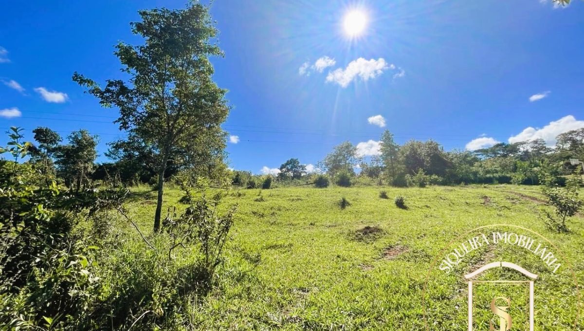 Siqueira Imóveis de Pirenópolis / Goiás / BrasilVenda de Casa em Brasília é na Siqueira Imobiliária de Pirenópolis / Imobiliária de Goiás / Imobiliária do Brasil / Imobiliária do Centro-Oeste / Pirenópolis Imóveis / Imóveis Pirenópolis / Imobiliária de Pirenópolis / Pirenópolis Imobiliária / Goiás Imóveis / Brasil Imóveis / Pirenópolis / Goiás / Brasil / Siqueira Imobiliária de Goiás / Consultoria Imobiliária / Consultor Imobiliário / Venda de Imóveis Pirenópolis / Melhor Imobiliária de Pirenópolis / Venda de pousadas / Venda de terrenos / venda de casas/ Venda de Lotes / Venda de Chácara / Venda de Fazenda / Venda de Apartamentos / Venda de Flat / Venda de Sítio / Brasília Imóveis / Goiânia Imóveis / Imobiliária de Goiânia / Imobiliária de Brasília/ Imobiliária em Pirenópolis / Imobiliária de Pirenópolis / Condomínio Fechado Vaga Fogo / Condomínio Paço da Estalagem / Condomínio Parque da Estalagem / Condomínio Quinta do Sol / Condomínio Fechado Pirenópolis / Cachoeiras Pirenópolis / Restaurante Pirenópolis /Siqueira Imóveis de Pirenópolis / Goiás / BrasilVenda de Casa em Brasília é na Siqueira Imobiliária de Pirenópolis / Imobiliária de Goiás / Imobiliária do Brasil / Imobiliária do Centro-Oeste / Pirenópolis Imóveis / Imóveis Pirenópolis / Imobiliária de Pirenópolis / Pirenópolis Imobiliária / Goiás Imóveis / Brasil Imóveis / Pirenópolis / Goiás / Brasil / Siqueira Imobiliária de Goiás / Consultoria Imobiliária / Consultor Imobiliário / Venda de Imóveis Pirenópolis / Melhor Imobiliária de Pirenópolis / Venda de pousadas / Venda de terrenos / venda de casas/ Venda de Lotes / Venda de Chácara / Venda de Fazenda / Venda de Apartamentos / Venda de Flat / Venda de Sítio / Brasília Imóveis / Goiânia Imóveis / Imobiliária de Goiânia / Imobiliária de Brasília/ Imobiliária em Pirenópolis / Imobiliária de Pirenópolis / Condomínio Fechado Vaga Fogo / Condomínio Paço da Estalagem / Condomínio Parque da Estalagem / Condomínio Quinta do Sol / Condomínio Fechado Pirenópolis / Cachoeiras Pirenópolis / Restaurante Pirenópolis /Siqueira Imóveis de Pirenópolis / Goiás / BrasilVenda de Casa em Brasília é na Siqueira Imobiliária de Pirenópolis / Imobiliária de Goiás / Imobiliária do Brasil / Imobiliária do Centro-Oeste / Pirenópolis Imóveis / Imóveis Pirenópolis / Imobiliária de Pirenópolis / Pirenópolis Imobiliária / Goiás Imóveis / Brasil Imóveis / Pirenópolis / Goiás / Brasil / Siqueira Imobiliária de Goiás / Consultoria Imobiliária / Consultor Imobiliário / Venda de Imóveis Pirenópolis / Melhor Imobiliária de Pirenópolis / Venda de pousadas / Venda de terrenos / venda de casas/ Venda de Lotes / Venda de Chácara / Venda de Fazenda / Venda de Apartamentos / Venda de Flat / Venda de Sítio / Brasília Imóveis / Goiânia Imóveis / Imobiliária de Goiânia / Imobiliária de Brasília/ Imobiliária em Pirenópolis / Imobiliária de Pirenópolis / Condomínio Fechado Vaga Fogo / Condomínio Paço da Estalagem / Condomínio Parque da Estalagem / Condomínio Quinta do Sol / Condomínio Fechado Pirenópolis / Cachoeiras Pirenópolis / Restaurante Pirenópolis /Siqueira Imóveis de Pirenópolis / Goiás / BrasilVenda de Casa em Brasília é na Siqueira Imobiliária de Pirenópolis / Imobiliária de Goiás / Imobiliária do Brasil / Imobiliária do Centro-Oeste / Pirenópolis Imóveis / Imóveis Pirenópolis / Imobiliária de Pirenópolis / Pirenópolis Imobiliária / Goiás Imóveis / Brasil Imóveis / Pirenópolis / Goiás / Brasil / Siqueira Imobiliária de Goiás / Consultoria Imobiliária / Consultor Imobiliário / Venda de Imóveis Pirenópolis / Melhor Imobiliária de Pirenópolis / Venda de pousadas / Venda de terrenos / venda de casas/ Venda de Lotes / Venda de Chácara / Venda de Fazenda / Venda de Apartamentos / Venda de Flat / Venda de Sítio / Brasília Imóveis / Goiânia Imóveis / Imobiliária de Goiânia / Imobiliária de Brasília/ Imobiliária em Pirenópolis / Imobiliária de Pirenópolis / Condomínio Fechado Vaga Fogo / Condomínio Paço da Estalagem / Condomínio Parque da Estalagem / Condomínio Quinta do Sol / Condomínio Fechado Pirenópolis / Cachoeiras Pirenópolis / Restaurante Pirenópolis /Siqueira Imóveis de Pirenópolis / Goiás / BrasilVenda de Casa em Brasília é na Siqueira Imobiliária de Pirenópolis / Imobiliária de Goiás / Imobiliária do Brasil / Imobiliária do Centro-Oeste / Pirenópolis Imóveis / Imóveis Pirenópolis / Imobiliária de Pirenópolis / Pirenópolis Imobiliária / Goiás Imóveis / Brasil Imóveis / Pirenópolis / Goiás / Brasil / Siqueira Imobiliária de Goiás / Consultoria Imobiliária / Consultor Imobiliário / Venda de Imóveis Pirenópolis / Melhor Imobiliária de Pirenópolis / Venda de pousadas / Venda de terrenos / venda de casas/ Venda de Lotes / Venda de Chácara / Venda de Fazenda / Venda de Apartamentos / Venda de Flat / Venda de Sítio / Brasília Imóveis / Goiânia Imóveis / Imobiliária de Goiânia / Imobiliária de Brasília/ Imobiliária em Pirenópolis / Imobiliária de Pirenópolis / Condomínio Fechado Vaga Fogo / Condomínio Paço da Estalagem / Condomínio Parque da Estalagem / Condomínio Quinta do Sol / Condomínio Fechado Pirenópolis / Cachoeiras Pirenópolis / Restaurante Pirenópolis /Siqueira Imóveis de Pirenópolis / Goiás / BrasilVenda de Casa em Brasília é na Siqueira Imobiliária de Pirenópolis / Imobiliária de Goiás / Imobiliária do Brasil / Imobiliária do Centro-Oeste / Pirenópolis Imóveis / Imóveis Pirenópolis / Imobiliária de Pirenópolis / Pirenópolis Imobiliária / Goiás Imóveis / Brasil Imóveis / Pirenópolis / Goiás / Brasil / Siqueira Imobiliária de Goiás / Consultoria Imobiliária / Consultor Imobiliário / Venda de Imóveis Pirenópolis / Melhor Imobiliária de Pirenópolis / Venda de pousadas / Venda de terrenos / venda de casas/ Venda de Lotes / Venda de Chácara / Venda de Fazenda / Venda de Apartamentos / Venda de Flat / Venda de Sítio / Brasília Imóveis / Goiânia Imóveis / Imobiliária de Goiânia / Imobiliária de Brasília/ Imobiliária em Pirenópolis / Imobiliária de Pirenópolis / Condomínio Fechado Vaga Fogo / Condomínio Paço da Estalagem / Condomínio Parque da Estalagem / Condomínio Quinta do Sol / Condomínio Fechado Pirenópolis / Cachoeiras Pirenópolis / Restaurante Pirenópolis /Siqueira Imóveis de Pirenópolis / Goiás / BrasilVenda de Casa em Brasília é na Siqueira Imobiliária de Pirenópolis / Imobiliária de Goiás / Imobiliária do Brasil / Imobiliária do Centro-Oeste / Pirenópolis Imóveis / Imóveis Pirenópolis / Imobiliária de Pirenópolis / Pirenópolis Imobiliária / Goiás Imóveis / Brasil Imóveis / Pirenópolis / Goiás / Brasil / Siqueira Imobiliária de Goiás / Consultoria Imobiliária / Consultor Imobiliário / Venda de Imóveis Pirenópolis / Melhor Imobiliária de Pirenópolis / Venda de pousadas / Venda de terrenos / venda de casas/ Venda de Lotes / Venda de Chácara / Venda de Fazenda / Venda de Apartamentos / Venda de Flat / Venda de Sítio / Brasília Imóveis / Goiânia Imóveis / Imobiliária de Goiânia / Imobiliária de Brasília/ Imobiliária em Pirenópolis / Imobiliária de Pirenópolis / Condomínio Fechado Vaga Fogo / Condomínio Paço da Estalagem / Condomínio Parque da Estalagem / Condomínio Quinta do Sol / Condomínio Fechado Pirenópolis / Cachoeiras Pirenópolis / Restaurante Pirenópolis /Siqueira Imóveis de Pirenópolis / Goiás / BrasilVenda de Casa em Brasília é na Siqueira Imobiliária de Pirenópolis / Imobiliária de Goiás / Imobiliária do Brasil / Imobiliária do Centro-Oeste / Pirenópolis Imóveis / Imóveis Pirenópolis / Imobiliária de Pirenópolis / Pirenópolis Imobiliária / Goiás Imóveis / Brasil Imóveis / Pirenópolis / Goiás / Brasil / Siqueira Imobiliária de Goiás / Consultoria Imobiliária / Consultor Imobiliário / Venda de Imóveis Pirenópolis / Melhor Imobiliária de Pirenópolis / Venda de pousadas / Venda de terrenos / venda de casas/ Venda de Lotes / Venda de Chácara / Venda de Fazenda / Venda de Apartamentos / Venda de Flat / Venda de Sítio / Brasília Imóveis / Goiânia Imóveis / Imobiliária de Goiânia / Imobiliária de Brasília/ Imobiliária em Pirenópolis / Imobiliária de Pirenópolis / Condomínio Fechado Vaga Fogo / Condomínio Paço da Estalagem / Condomínio Parque da Estalagem / Condomínio Quinta do Sol / Condomínio Fechado Pirenópolis / Cachoeiras Pirenópolis / Restaurante Pirenópolis /