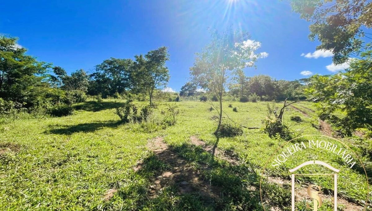 Siqueira Imóveis de Pirenópolis / Goiás / BrasilVenda de Casa em Brasília é na Siqueira Imobiliária de Pirenópolis / Imobiliária de Goiás / Imobiliária do Brasil / Imobiliária do Centro-Oeste / Pirenópolis Imóveis / Imóveis Pirenópolis / Imobiliária de Pirenópolis / Pirenópolis Imobiliária / Goiás Imóveis / Brasil Imóveis / Pirenópolis / Goiás / Brasil / Siqueira Imobiliária de Goiás / Consultoria Imobiliária / Consultor Imobiliário / Venda de Imóveis Pirenópolis / Melhor Imobiliária de Pirenópolis / Venda de pousadas / Venda de terrenos / venda de casas/ Venda de Lotes / Venda de Chácara / Venda de Fazenda / Venda de Apartamentos / Venda de Flat / Venda de Sítio / Brasília Imóveis / Goiânia Imóveis / Imobiliária de Goiânia / Imobiliária de Brasília/ Imobiliária em Pirenópolis / Imobiliária de Pirenópolis / Condomínio Fechado Vaga Fogo / Condomínio Paço da Estalagem / Condomínio Parque da Estalagem / Condomínio Quinta do Sol / Condomínio Fechado Pirenópolis / Cachoeiras Pirenópolis / Restaurante Pirenópolis /Siqueira Imóveis de Pirenópolis / Goiás / BrasilVenda de Casa em Brasília é na Siqueira Imobiliária de Pirenópolis / Imobiliária de Goiás / Imobiliária do Brasil / Imobiliária do Centro-Oeste / Pirenópolis Imóveis / Imóveis Pirenópolis / Imobiliária de Pirenópolis / Pirenópolis Imobiliária / Goiás Imóveis / Brasil Imóveis / Pirenópolis / Goiás / Brasil / Siqueira Imobiliária de Goiás / Consultoria Imobiliária / Consultor Imobiliário / Venda de Imóveis Pirenópolis / Melhor Imobiliária de Pirenópolis / Venda de pousadas / Venda de terrenos / venda de casas/ Venda de Lotes / Venda de Chácara / Venda de Fazenda / Venda de Apartamentos / Venda de Flat / Venda de Sítio / Brasília Imóveis / Goiânia Imóveis / Imobiliária de Goiânia / Imobiliária de Brasília/ Imobiliária em Pirenópolis / Imobiliária de Pirenópolis / Condomínio Fechado Vaga Fogo / Condomínio Paço da Estalagem / Condomínio Parque da Estalagem / Condomínio Quinta do Sol / Condomínio Fechado Pirenópolis / Cachoeiras Pirenópolis / Restaurante Pirenópolis /Siqueira Imóveis de Pirenópolis / Goiás / BrasilVenda de Casa em Brasília é na Siqueira Imobiliária de Pirenópolis / Imobiliária de Goiás / Imobiliária do Brasil / Imobiliária do Centro-Oeste / Pirenópolis Imóveis / Imóveis Pirenópolis / Imobiliária de Pirenópolis / Pirenópolis Imobiliária / Goiás Imóveis / Brasil Imóveis / Pirenópolis / Goiás / Brasil / Siqueira Imobiliária de Goiás / Consultoria Imobiliária / Consultor Imobiliário / Venda de Imóveis Pirenópolis / Melhor Imobiliária de Pirenópolis / Venda de pousadas / Venda de terrenos / venda de casas/ Venda de Lotes / Venda de Chácara / Venda de Fazenda / Venda de Apartamentos / Venda de Flat / Venda de Sítio / Brasília Imóveis / Goiânia Imóveis / Imobiliária de Goiânia / Imobiliária de Brasília/ Imobiliária em Pirenópolis / Imobiliária de Pirenópolis / Condomínio Fechado Vaga Fogo / Condomínio Paço da Estalagem / Condomínio Parque da Estalagem / Condomínio Quinta do Sol / Condomínio Fechado Pirenópolis / Cachoeiras Pirenópolis / Restaurante Pirenópolis /Siqueira Imóveis de Pirenópolis / Goiás / BrasilVenda de Casa em Brasília é na Siqueira Imobiliária de Pirenópolis / Imobiliária de Goiás / Imobiliária do Brasil / Imobiliária do Centro-Oeste / Pirenópolis Imóveis / Imóveis Pirenópolis / Imobiliária de Pirenópolis / Pirenópolis Imobiliária / Goiás Imóveis / Brasil Imóveis / Pirenópolis / Goiás / Brasil / Siqueira Imobiliária de Goiás / Consultoria Imobiliária / Consultor Imobiliário / Venda de Imóveis Pirenópolis / Melhor Imobiliária de Pirenópolis / Venda de pousadas / Venda de terrenos / venda de casas/ Venda de Lotes / Venda de Chácara / Venda de Fazenda / Venda de Apartamentos / Venda de Flat / Venda de Sítio / Brasília Imóveis / Goiânia Imóveis / Imobiliária de Goiânia / Imobiliária de Brasília/ Imobiliária em Pirenópolis / Imobiliária de Pirenópolis / Condomínio Fechado Vaga Fogo / Condomínio Paço da Estalagem / Condomínio Parque da Estalagem / Condomínio Quinta do Sol / Condomínio Fechado Pirenópolis / Cachoeiras Pirenópolis / Restaurante Pirenópolis /