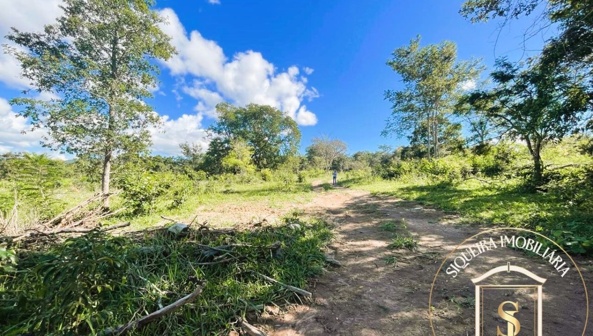 Siqueira Imóveis de Pirenópolis / Goiás / BrasilVenda de Casa em Brasília é na Siqueira Imobiliária de Pirenópolis / Imobiliária de Goiás / Imobiliária do Brasil / Imobiliária do Centro-Oeste / Pirenópolis Imóveis / Imóveis Pirenópolis / Imobiliária de Pirenópolis / Pirenópolis Imobiliária / Goiás Imóveis / Brasil Imóveis / Pirenópolis / Goiás / Brasil / Siqueira Imobiliária de Goiás / Consultoria Imobiliária / Consultor Imobiliário / Venda de Imóveis Pirenópolis / Melhor Imobiliária de Pirenópolis / Venda de pousadas / Venda de terrenos / venda de casas/ Venda de Lotes / Venda de Chácara / Venda de Fazenda / Venda de Apartamentos / Venda de Flat / Venda de Sítio / Brasília Imóveis / Goiânia Imóveis / Imobiliária de Goiânia / Imobiliária de Brasília/ Imobiliária em Pirenópolis / Imobiliária de Pirenópolis / Condomínio Fechado Vaga Fogo / Condomínio Paço da Estalagem / Condomínio Parque da Estalagem / Condomínio Quinta do Sol / Condomínio Fechado Pirenópolis / Cachoeiras Pirenópolis / Restaurante Pirenópolis /Siqueira Imóveis de Pirenópolis / Goiás / BrasilVenda de Casa em Brasília é na Siqueira Imobiliária de Pirenópolis / Imobiliária de Goiás / Imobiliária do Brasil / Imobiliária do Centro-Oeste / Pirenópolis Imóveis / Imóveis Pirenópolis / Imobiliária de Pirenópolis / Pirenópolis Imobiliária / Goiás Imóveis / Brasil Imóveis / Pirenópolis / Goiás / Brasil / Siqueira Imobiliária de Goiás / Consultoria Imobiliária / Consultor Imobiliário / Venda de Imóveis Pirenópolis / Melhor Imobiliária de Pirenópolis / Venda de pousadas / Venda de terrenos / venda de casas/ Venda de Lotes / Venda de Chácara / Venda de Fazenda / Venda de Apartamentos / Venda de Flat / Venda de Sítio / Brasília Imóveis / Goiânia Imóveis / Imobiliária de Goiânia / Imobiliária de Brasília/ Imobiliária em Pirenópolis / Imobiliária de Pirenópolis / Condomínio Fechado Vaga Fogo / Condomínio Paço da Estalagem / Condomínio Parque da Estalagem / Condomínio Quinta do Sol / Condomínio Fechado Pirenópolis / Cachoeiras Pirenópolis / Restaurante Pirenópolis /Siqueira Imóveis de Pirenópolis / Goiás / BrasilVenda de Casa em Brasília é na Siqueira Imobiliária de Pirenópolis / Imobiliária de Goiás / Imobiliária do Brasil / Imobiliária do Centro-Oeste / Pirenópolis Imóveis / Imóveis Pirenópolis / Imobiliária de Pirenópolis / Pirenópolis Imobiliária / Goiás Imóveis / Brasil Imóveis / Pirenópolis / Goiás / Brasil / Siqueira Imobiliária de Goiás / Consultoria Imobiliária / Consultor Imobiliário / Venda de Imóveis Pirenópolis / Melhor Imobiliária de Pirenópolis / Venda de pousadas / Venda de terrenos / venda de casas/ Venda de Lotes / Venda de Chácara / Venda de Fazenda / Venda de Apartamentos / Venda de Flat / Venda de Sítio / Brasília Imóveis / Goiânia Imóveis / Imobiliária de Goiânia / Imobiliária de Brasília/ Imobiliária em Pirenópolis / Imobiliária de Pirenópolis / Condomínio Fechado Vaga Fogo / Condomínio Paço da Estalagem / Condomínio Parque da Estalagem / Condomínio Quinta do Sol / Condomínio Fechado Pirenópolis / Cachoeiras Pirenópolis / Restaurante Pirenópolis /Siqueira Imóveis de Pirenópolis / Goiás / BrasilVenda de Casa em Brasília é na Siqueira Imobiliária de Pirenópolis / Imobiliária de Goiás / Imobiliária do Brasil / Imobiliária do Centro-Oeste / Pirenópolis Imóveis / Imóveis Pirenópolis / Imobiliária de Pirenópolis / Pirenópolis Imobiliária / Goiás Imóveis / Brasil Imóveis / Pirenópolis / Goiás / Brasil / Siqueira Imobiliária de Goiás / Consultoria Imobiliária / Consultor Imobiliário / Venda de Imóveis Pirenópolis / Melhor Imobiliária de Pirenópolis / Venda de pousadas / Venda de terrenos / venda de casas/ Venda de Lotes / Venda de Chácara / Venda de Fazenda / Venda de Apartamentos / Venda de Flat / Venda de Sítio / Brasília Imóveis / Goiânia Imóveis / Imobiliária de Goiânia / Imobiliária de Brasília/ Imobiliária em Pirenópolis / Imobiliária de Pirenópolis / Condomínio Fechado Vaga Fogo / Condomínio Paço da Estalagem / Condomínio Parque da Estalagem / Condomínio Quinta do Sol / Condomínio Fechado Pirenópolis / Cachoeiras Pirenópolis / Restaurante Pirenópolis /