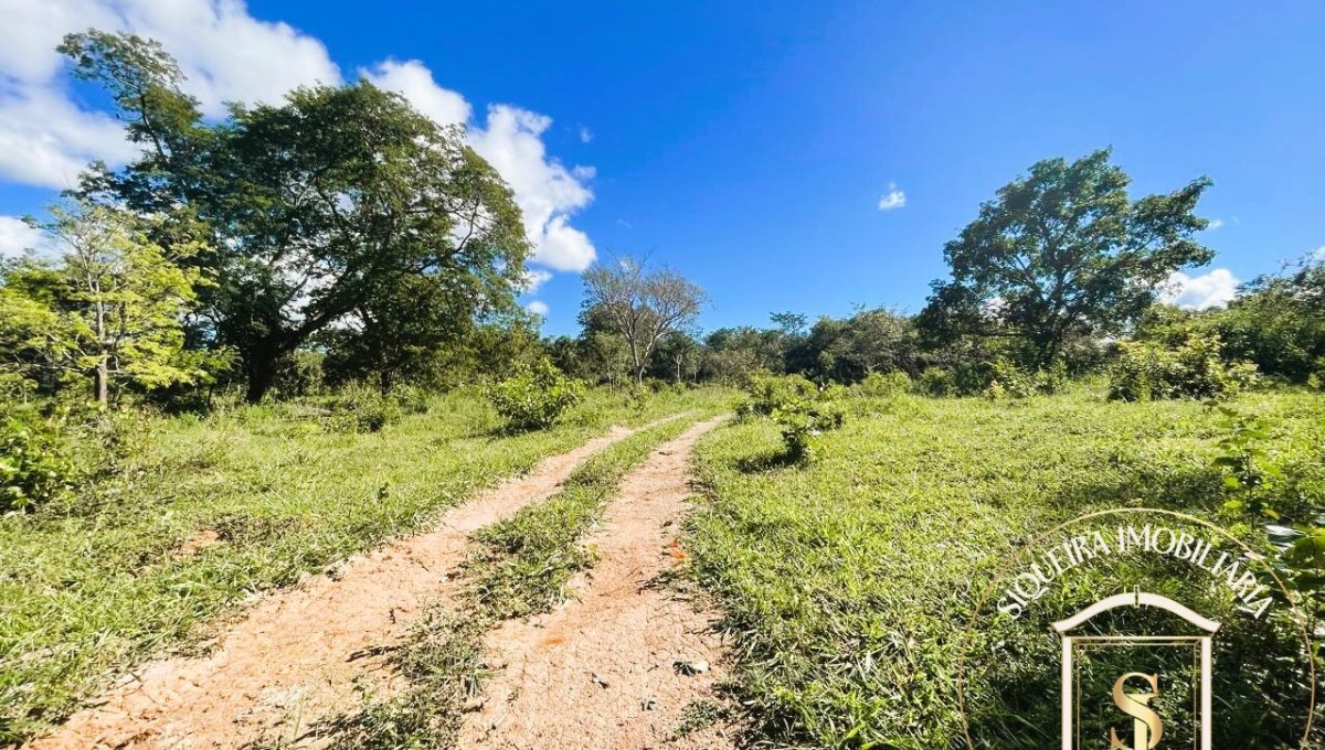 Siqueira Imóveis de Pirenópolis / Goiás / BrasilVenda de Casa em Brasília é na Siqueira Imobiliária de Pirenópolis / Imobiliária de Goiás / Imobiliária do Brasil / Imobiliária do Centro-Oeste / Pirenópolis Imóveis / Imóveis Pirenópolis / Imobiliária de Pirenópolis / Pirenópolis Imobiliária / Goiás Imóveis / Brasil Imóveis / Pirenópolis / Goiás / Brasil / Siqueira Imobiliária de Goiás / Consultoria Imobiliária / Consultor Imobiliário / Venda de Imóveis Pirenópolis / Melhor Imobiliária de Pirenópolis / Venda de pousadas / Venda de terrenos / venda de casas/ Venda de Lotes / Venda de Chácara / Venda de Fazenda / Venda de Apartamentos / Venda de Flat / Venda de Sítio / Brasília Imóveis / Goiânia Imóveis / Imobiliária de Goiânia / Imobiliária de Brasília/ Imobiliária em Pirenópolis / Imobiliária de Pirenópolis / Condomínio Fechado Vaga Fogo / Condomínio Paço da Estalagem / Condomínio Parque da Estalagem / Condomínio Quinta do Sol / Condomínio Fechado Pirenópolis / Cachoeiras Pirenópolis / Restaurante Pirenópolis /Siqueira Imóveis de Pirenópolis / Goiás / BrasilVenda de Casa em Brasília é na Siqueira Imobiliária de Pirenópolis / Imobiliária de Goiás / Imobiliária do Brasil / Imobiliária do Centro-Oeste / Pirenópolis Imóveis / Imóveis Pirenópolis / Imobiliária de Pirenópolis / Pirenópolis Imobiliária / Goiás Imóveis / Brasil Imóveis / Pirenópolis / Goiás / Brasil / Siqueira Imobiliária de Goiás / Consultoria Imobiliária / Consultor Imobiliário / Venda de Imóveis Pirenópolis / Melhor Imobiliária de Pirenópolis / Venda de pousadas / Venda de terrenos / venda de casas/ Venda de Lotes / Venda de Chácara / Venda de Fazenda / Venda de Apartamentos / Venda de Flat / Venda de Sítio / Brasília Imóveis / Goiânia Imóveis / Imobiliária de Goiânia / Imobiliária de Brasília/ Imobiliária em Pirenópolis / Imobiliária de Pirenópolis / Condomínio Fechado Vaga Fogo / Condomínio Paço da Estalagem / Condomínio Parque da Estalagem / Condomínio Quinta do Sol / Condomínio Fechado Pirenópolis / Cachoeiras Pirenópolis / Restaurante Pirenópolis /Siqueira Imóveis de Pirenópolis / Goiás / BrasilVenda de Casa em Brasília é na Siqueira Imobiliária de Pirenópolis / Imobiliária de Goiás / Imobiliária do Brasil / Imobiliária do Centro-Oeste / Pirenópolis Imóveis / Imóveis Pirenópolis / Imobiliária de Pirenópolis / Pirenópolis Imobiliária / Goiás Imóveis / Brasil Imóveis / Pirenópolis / Goiás / Brasil / Siqueira Imobiliária de Goiás / Consultoria Imobiliária / Consultor Imobiliário / Venda de Imóveis Pirenópolis / Melhor Imobiliária de Pirenópolis / Venda de pousadas / Venda de terrenos / venda de casas/ Venda de Lotes / Venda de Chácara / Venda de Fazenda / Venda de Apartamentos / Venda de Flat / Venda de Sítio / Brasília Imóveis / Goiânia Imóveis / Imobiliária de Goiânia / Imobiliária de Brasília/ Imobiliária em Pirenópolis / Imobiliária de Pirenópolis / Condomínio Fechado Vaga Fogo / Condomínio Paço da Estalagem / Condomínio Parque da Estalagem / Condomínio Quinta do Sol / Condomínio Fechado Pirenópolis / Cachoeiras Pirenópolis / Restaurante Pirenópolis /Siqueira Imóveis de Pirenópolis / Goiás / BrasilVenda de Casa em Brasília é na Siqueira Imobiliária de Pirenópolis / Imobiliária de Goiás / Imobiliária do Brasil / Imobiliária do Centro-Oeste / Pirenópolis Imóveis / Imóveis Pirenópolis / Imobiliária de Pirenópolis / Pirenópolis Imobiliária / Goiás Imóveis / Brasil Imóveis / Pirenópolis / Goiás / Brasil / Siqueira Imobiliária de Goiás / Consultoria Imobiliária / Consultor Imobiliário / Venda de Imóveis Pirenópolis / Melhor Imobiliária de Pirenópolis / Venda de pousadas / Venda de terrenos / venda de casas/ Venda de Lotes / Venda de Chácara / Venda de Fazenda / Venda de Apartamentos / Venda de Flat / Venda de Sítio / Brasília Imóveis / Goiânia Imóveis / Imobiliária de Goiânia / Imobiliária de Brasília/ Imobiliária em Pirenópolis / Imobiliária de Pirenópolis / Condomínio Fechado Vaga Fogo / Condomínio Paço da Estalagem / Condomínio Parque da Estalagem / Condomínio Quinta do Sol / Condomínio Fechado Pirenópolis / Cachoeiras Pirenópolis / Restaurante Pirenópolis /