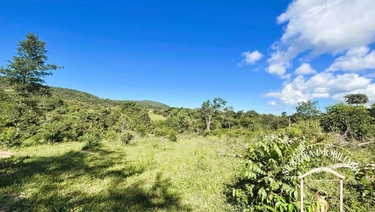 Siqueira Imóveis de Pirenópolis / Goiás / BrasilVenda de Casa em Brasília é na Siqueira Imobiliária de Pirenópolis / Imobiliária de Goiás / Imobiliária do Brasil / Imobiliária do Centro-Oeste / Pirenópolis Imóveis / Imóveis Pirenópolis / Imobiliária de Pirenópolis / Pirenópolis Imobiliária / Goiás Imóveis / Brasil Imóveis / Pirenópolis / Goiás / Brasil / Siqueira Imobiliária de Goiás / Consultoria Imobiliária / Consultor Imobiliário / Venda de Imóveis Pirenópolis / Melhor Imobiliária de Pirenópolis / Venda de pousadas / Venda de terrenos / venda de casas/ Venda de Lotes / Venda de Chácara / Venda de Fazenda / Venda de Apartamentos / Venda de Flat / Venda de Sítio / Brasília Imóveis / Goiânia Imóveis / Imobiliária de Goiânia / Imobiliária de Brasília/ Imobiliária em Pirenópolis / Imobiliária de Pirenópolis / Condomínio Fechado Vaga Fogo / Condomínio Paço da Estalagem / Condomínio Parque da Estalagem / Condomínio Quinta do Sol / Condomínio Fechado Pirenópolis / Cachoeiras Pirenópolis / Restaurante Pirenópolis /Siqueira Imóveis de Pirenópolis / Goiás / BrasilVenda de Casa em Brasília é na Siqueira Imobiliária de Pirenópolis / Imobiliária de Goiás / Imobiliária do Brasil / Imobiliária do Centro-Oeste / Pirenópolis Imóveis / Imóveis Pirenópolis / Imobiliária de Pirenópolis / Pirenópolis Imobiliária / Goiás Imóveis / Brasil Imóveis / Pirenópolis / Goiás / Brasil / Siqueira Imobiliária de Goiás / Consultoria Imobiliária / Consultor Imobiliário / Venda de Imóveis Pirenópolis / Melhor Imobiliária de Pirenópolis / Venda de pousadas / Venda de terrenos / venda de casas/ Venda de Lotes / Venda de Chácara / Venda de Fazenda / Venda de Apartamentos / Venda de Flat / Venda de Sítio / Brasília Imóveis / Goiânia Imóveis / Imobiliária de Goiânia / Imobiliária de Brasília/ Imobiliária em Pirenópolis / Imobiliária de Pirenópolis / Condomínio Fechado Vaga Fogo / Condomínio Paço da Estalagem / Condomínio Parque da Estalagem / Condomínio Quinta do Sol / Condomínio Fechado Pirenópolis / Cachoeiras Pirenópolis / Restaurante Pirenópolis /Siqueira Imóveis de Pirenópolis / Goiás / BrasilVenda de Casa em Brasília é na Siqueira Imobiliária de Pirenópolis / Imobiliária de Goiás / Imobiliária do Brasil / Imobiliária do Centro-Oeste / Pirenópolis Imóveis / Imóveis Pirenópolis / Imobiliária de Pirenópolis / Pirenópolis Imobiliária / Goiás Imóveis / Brasil Imóveis / Pirenópolis / Goiás / Brasil / Siqueira Imobiliária de Goiás / Consultoria Imobiliária / Consultor Imobiliário / Venda de Imóveis Pirenópolis / Melhor Imobiliária de Pirenópolis / Venda de pousadas / Venda de terrenos / venda de casas/ Venda de Lotes / Venda de Chácara / Venda de Fazenda / Venda de Apartamentos / Venda de Flat / Venda de Sítio / Brasília Imóveis / Goiânia Imóveis / Imobiliária de Goiânia / Imobiliária de Brasília/ Imobiliária em Pirenópolis / Imobiliária de Pirenópolis / Condomínio Fechado Vaga Fogo / Condomínio Paço da Estalagem / Condomínio Parque da Estalagem / Condomínio Quinta do Sol / Condomínio Fechado Pirenópolis / Cachoeiras Pirenópolis / Restaurante Pirenópolis /Siqueira Imóveis de Pirenópolis / Goiás / BrasilVenda de Casa em Brasília é na Siqueira Imobiliária de Pirenópolis / Imobiliária de Goiás / Imobiliária do Brasil / Imobiliária do Centro-Oeste / Pirenópolis Imóveis / Imóveis Pirenópolis / Imobiliária de Pirenópolis / Pirenópolis Imobiliária / Goiás Imóveis / Brasil Imóveis / Pirenópolis / Goiás / Brasil / Siqueira Imobiliária de Goiás / Consultoria Imobiliária / Consultor Imobiliário / Venda de Imóveis Pirenópolis / Melhor Imobiliária de Pirenópolis / Venda de pousadas / Venda de terrenos / venda de casas/ Venda de Lotes / Venda de Chácara / Venda de Fazenda / Venda de Apartamentos / Venda de Flat / Venda de Sítio / Brasília Imóveis / Goiânia Imóveis / Imobiliária de Goiânia / Imobiliária de Brasília/ Imobiliária em Pirenópolis / Imobiliária de Pirenópolis / Condomínio Fechado Vaga Fogo / Condomínio Paço da Estalagem / Condomínio Parque da Estalagem / Condomínio Quinta do Sol / Condomínio Fechado Pirenópolis / Cachoeiras Pirenópolis / Restaurante Pirenópolis /