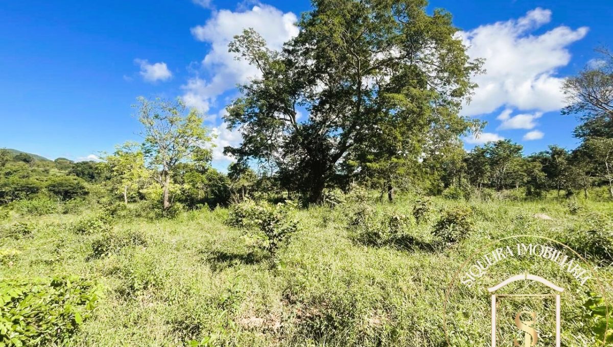 Siqueira Imóveis de Pirenópolis / Goiás / BrasilVenda de Casa em Brasília é na Siqueira Imobiliária de Pirenópolis / Imobiliária de Goiás / Imobiliária do Brasil / Imobiliária do Centro-Oeste / Pirenópolis Imóveis / Imóveis Pirenópolis / Imobiliária de Pirenópolis / Pirenópolis Imobiliária / Goiás Imóveis / Brasil Imóveis / Pirenópolis / Goiás / Brasil / Siqueira Imobiliária de Goiás / Consultoria Imobiliária / Consultor Imobiliário / Venda de Imóveis Pirenópolis / Melhor Imobiliária de Pirenópolis / Venda de pousadas / Venda de terrenos / venda de casas/ Venda de Lotes / Venda de Chácara / Venda de Fazenda / Venda de Apartamentos / Venda de Flat / Venda de Sítio / Brasília Imóveis / Goiânia Imóveis / Imobiliária de Goiânia / Imobiliária de Brasília/ Imobiliária em Pirenópolis / Imobiliária de Pirenópolis / Condomínio Fechado Vaga Fogo / Condomínio Paço da Estalagem / Condomínio Parque da Estalagem / Condomínio Quinta do Sol / Condomínio Fechado Pirenópolis / Cachoeiras Pirenópolis / Restaurante Pirenópolis /Siqueira Imóveis de Pirenópolis / Goiás / BrasilVenda de Casa em Brasília é na Siqueira Imobiliária de Pirenópolis / Imobiliária de Goiás / Imobiliária do Brasil / Imobiliária do Centro-Oeste / Pirenópolis Imóveis / Imóveis Pirenópolis / Imobiliária de Pirenópolis / Pirenópolis Imobiliária / Goiás Imóveis / Brasil Imóveis / Pirenópolis / Goiás / Brasil / Siqueira Imobiliária de Goiás / Consultoria Imobiliária / Consultor Imobiliário / Venda de Imóveis Pirenópolis / Melhor Imobiliária de Pirenópolis / Venda de pousadas / Venda de terrenos / venda de casas/ Venda de Lotes / Venda de Chácara / Venda de Fazenda / Venda de Apartamentos / Venda de Flat / Venda de Sítio / Brasília Imóveis / Goiânia Imóveis / Imobiliária de Goiânia / Imobiliária de Brasília/ Imobiliária em Pirenópolis / Imobiliária de Pirenópolis / Condomínio Fechado Vaga Fogo / Condomínio Paço da Estalagem / Condomínio Parque da Estalagem / Condomínio Quinta do Sol / Condomínio Fechado Pirenópolis / Cachoeiras Pirenópolis / Restaurante Pirenópolis /Siqueira Imóveis de Pirenópolis / Goiás / BrasilVenda de Casa em Brasília é na Siqueira Imobiliária de Pirenópolis / Imobiliária de Goiás / Imobiliária do Brasil / Imobiliária do Centro-Oeste / Pirenópolis Imóveis / Imóveis Pirenópolis / Imobiliária de Pirenópolis / Pirenópolis Imobiliária / Goiás Imóveis / Brasil Imóveis / Pirenópolis / Goiás / Brasil / Siqueira Imobiliária de Goiás / Consultoria Imobiliária / Consultor Imobiliário / Venda de Imóveis Pirenópolis / Melhor Imobiliária de Pirenópolis / Venda de pousadas / Venda de terrenos / venda de casas/ Venda de Lotes / Venda de Chácara / Venda de Fazenda / Venda de Apartamentos / Venda de Flat / Venda de Sítio / Brasília Imóveis / Goiânia Imóveis / Imobiliária de Goiânia / Imobiliária de Brasília/ Imobiliária em Pirenópolis / Imobiliária de Pirenópolis / Condomínio Fechado Vaga Fogo / Condomínio Paço da Estalagem / Condomínio Parque da Estalagem / Condomínio Quinta do Sol / Condomínio Fechado Pirenópolis / Cachoeiras Pirenópolis / Restaurante Pirenópolis /Siqueira Imóveis de Pirenópolis / Goiás / BrasilVenda de Casa em Brasília é na Siqueira Imobiliária de Pirenópolis / Imobiliária de Goiás / Imobiliária do Brasil / Imobiliária do Centro-Oeste / Pirenópolis Imóveis / Imóveis Pirenópolis / Imobiliária de Pirenópolis / Pirenópolis Imobiliária / Goiás Imóveis / Brasil Imóveis / Pirenópolis / Goiás / Brasil / Siqueira Imobiliária de Goiás / Consultoria Imobiliária / Consultor Imobiliário / Venda de Imóveis Pirenópolis / Melhor Imobiliária de Pirenópolis / Venda de pousadas / Venda de terrenos / venda de casas/ Venda de Lotes / Venda de Chácara / Venda de Fazenda / Venda de Apartamentos / Venda de Flat / Venda de Sítio / Brasília Imóveis / Goiânia Imóveis / Imobiliária de Goiânia / Imobiliária de Brasília/ Imobiliária em Pirenópolis / Imobiliária de Pirenópolis / Condomínio Fechado Vaga Fogo / Condomínio Paço da Estalagem / Condomínio Parque da Estalagem / Condomínio Quinta do Sol / Condomínio Fechado Pirenópolis / Cachoeiras Pirenópolis / Restaurante Pirenópolis /