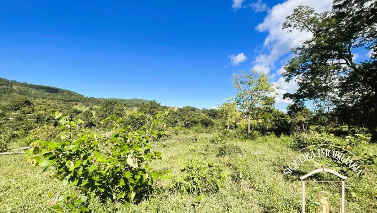 Siqueira Imóveis de Pirenópolis / Goiás / BrasilVenda de Casa em Brasília é na Siqueira Imobiliária de Pirenópolis / Imobiliária de Goiás / Imobiliária do Brasil / Imobiliária do Centro-Oeste / Pirenópolis Imóveis / Imóveis Pirenópolis / Imobiliária de Pirenópolis / Pirenópolis Imobiliária / Goiás Imóveis / Brasil Imóveis / Pirenópolis / Goiás / Brasil / Siqueira Imobiliária de Goiás / Consultoria Imobiliária / Consultor Imobiliário / Venda de Imóveis Pirenópolis / Melhor Imobiliária de Pirenópolis / Venda de pousadas / Venda de terrenos / venda de casas/ Venda de Lotes / Venda de Chácara / Venda de Fazenda / Venda de Apartamentos / Venda de Flat / Venda de Sítio / Brasília Imóveis / Goiânia Imóveis / Imobiliária de Goiânia / Imobiliária de Brasília/ Imobiliária em Pirenópolis / Imobiliária de Pirenópolis / Condomínio Fechado Vaga Fogo / Condomínio Paço da Estalagem / Condomínio Parque da Estalagem / Condomínio Quinta do Sol / Condomínio Fechado Pirenópolis / Cachoeiras Pirenópolis / Restaurante Pirenópolis /Siqueira Imóveis de Pirenópolis / Goiás / BrasilVenda de Casa em Brasília é na Siqueira Imobiliária de Pirenópolis / Imobiliária de Goiás / Imobiliária do Brasil / Imobiliária do Centro-Oeste / Pirenópolis Imóveis / Imóveis Pirenópolis / Imobiliária de Pirenópolis / Pirenópolis Imobiliária / Goiás Imóveis / Brasil Imóveis / Pirenópolis / Goiás / Brasil / Siqueira Imobiliária de Goiás / Consultoria Imobiliária / Consultor Imobiliário / Venda de Imóveis Pirenópolis / Melhor Imobiliária de Pirenópolis / Venda de pousadas / Venda de terrenos / venda de casas/ Venda de Lotes / Venda de Chácara / Venda de Fazenda / Venda de Apartamentos / Venda de Flat / Venda de Sítio / Brasília Imóveis / Goiânia Imóveis / Imobiliária de Goiânia / Imobiliária de Brasília/ Imobiliária em Pirenópolis / Imobiliária de Pirenópolis / Condomínio Fechado Vaga Fogo / Condomínio Paço da Estalagem / Condomínio Parque da Estalagem / Condomínio Quinta do Sol / Condomínio Fechado Pirenópolis / Cachoeiras Pirenópolis / Restaurante Pirenópolis /Siqueira Imóveis de Pirenópolis / Goiás / BrasilVenda de Casa em Brasília é na Siqueira Imobiliária de Pirenópolis / Imobiliária de Goiás / Imobiliária do Brasil / Imobiliária do Centro-Oeste / Pirenópolis Imóveis / Imóveis Pirenópolis / Imobiliária de Pirenópolis / Pirenópolis Imobiliária / Goiás Imóveis / Brasil Imóveis / Pirenópolis / Goiás / Brasil / Siqueira Imobiliária de Goiás / Consultoria Imobiliária / Consultor Imobiliário / Venda de Imóveis Pirenópolis / Melhor Imobiliária de Pirenópolis / Venda de pousadas / Venda de terrenos / venda de casas/ Venda de Lotes / Venda de Chácara / Venda de Fazenda / Venda de Apartamentos / Venda de Flat / Venda de Sítio / Brasília Imóveis / Goiânia Imóveis / Imobiliária de Goiânia / Imobiliária de Brasília/ Imobiliária em Pirenópolis / Imobiliária de Pirenópolis / Condomínio Fechado Vaga Fogo / Condomínio Paço da Estalagem / Condomínio Parque da Estalagem / Condomínio Quinta do Sol / Condomínio Fechado Pirenópolis / Cachoeiras Pirenópolis / Restaurante Pirenópolis /Siqueira Imóveis de Pirenópolis / Goiás / BrasilVenda de Casa em Brasília é na Siqueira Imobiliária de Pirenópolis / Imobiliária de Goiás / Imobiliária do Brasil / Imobiliária do Centro-Oeste / Pirenópolis Imóveis / Imóveis Pirenópolis / Imobiliária de Pirenópolis / Pirenópolis Imobiliária / Goiás Imóveis / Brasil Imóveis / Pirenópolis / Goiás / Brasil / Siqueira Imobiliária de Goiás / Consultoria Imobiliária / Consultor Imobiliário / Venda de Imóveis Pirenópolis / Melhor Imobiliária de Pirenópolis / Venda de pousadas / Venda de terrenos / venda de casas/ Venda de Lotes / Venda de Chácara / Venda de Fazenda / Venda de Apartamentos / Venda de Flat / Venda de Sítio / Brasília Imóveis / Goiânia Imóveis / Imobiliária de Goiânia / Imobiliária de Brasília/ Imobiliária em Pirenópolis / Imobiliária de Pirenópolis / Condomínio Fechado Vaga Fogo / Condomínio Paço da Estalagem / Condomínio Parque da Estalagem / Condomínio Quinta do Sol / Condomínio Fechado Pirenópolis / Cachoeiras Pirenópolis / Restaurante Pirenópolis /