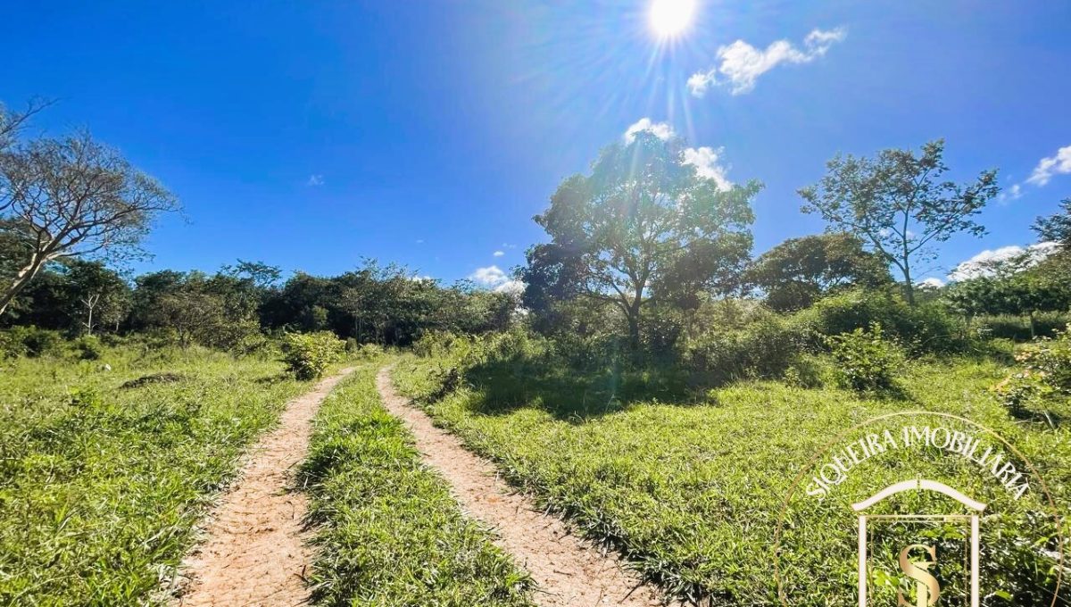 Siqueira Imóveis de Pirenópolis / Goiás / BrasilVenda de Casa em Brasília é na Siqueira Imobiliária de Pirenópolis / Imobiliária de Goiás / Imobiliária do Brasil / Imobiliária do Centro-Oeste / Pirenópolis Imóveis / Imóveis Pirenópolis / Imobiliária de Pirenópolis / Pirenópolis Imobiliária / Goiás Imóveis / Brasil Imóveis / Pirenópolis / Goiás / Brasil / Siqueira Imobiliária de Goiás / Consultoria Imobiliária / Consultor Imobiliário / Venda de Imóveis Pirenópolis / Melhor Imobiliária de Pirenópolis / Venda de pousadas / Venda de terrenos / venda de casas/ Venda de Lotes / Venda de Chácara / Venda de Fazenda / Venda de Apartamentos / Venda de Flat / Venda de Sítio / Brasília Imóveis / Goiânia Imóveis / Imobiliária de Goiânia / Imobiliária de Brasília/ Imobiliária em Pirenópolis / Imobiliária de Pirenópolis / Condomínio Fechado Vaga Fogo / Condomínio Paço da Estalagem / Condomínio Parque da Estalagem / Condomínio Quinta do Sol / Condomínio Fechado Pirenópolis / Cachoeiras Pirenópolis / Restaurante Pirenópolis /Siqueira Imóveis de Pirenópolis / Goiás / BrasilVenda de Casa em Brasília é na Siqueira Imobiliária de Pirenópolis / Imobiliária de Goiás / Imobiliária do Brasil / Imobiliária do Centro-Oeste / Pirenópolis Imóveis / Imóveis Pirenópolis / Imobiliária de Pirenópolis / Pirenópolis Imobiliária / Goiás Imóveis / Brasil Imóveis / Pirenópolis / Goiás / Brasil / Siqueira Imobiliária de Goiás / Consultoria Imobiliária / Consultor Imobiliário / Venda de Imóveis Pirenópolis / Melhor Imobiliária de Pirenópolis / Venda de pousadas / Venda de terrenos / venda de casas/ Venda de Lotes / Venda de Chácara / Venda de Fazenda / Venda de Apartamentos / Venda de Flat / Venda de Sítio / Brasília Imóveis / Goiânia Imóveis / Imobiliária de Goiânia / Imobiliária de Brasília/ Imobiliária em Pirenópolis / Imobiliária de Pirenópolis / Condomínio Fechado Vaga Fogo / Condomínio Paço da Estalagem / Condomínio Parque da Estalagem / Condomínio Quinta do Sol / Condomínio Fechado Pirenópolis / Cachoeiras Pirenópolis / Restaurante Pirenópolis /Siqueira Imóveis de Pirenópolis / Goiás / BrasilVenda de Casa em Brasília é na Siqueira Imobiliária de Pirenópolis / Imobiliária de Goiás / Imobiliária do Brasil / Imobiliária do Centro-Oeste / Pirenópolis Imóveis / Imóveis Pirenópolis / Imobiliária de Pirenópolis / Pirenópolis Imobiliária / Goiás Imóveis / Brasil Imóveis / Pirenópolis / Goiás / Brasil / Siqueira Imobiliária de Goiás / Consultoria Imobiliária / Consultor Imobiliário / Venda de Imóveis Pirenópolis / Melhor Imobiliária de Pirenópolis / Venda de pousadas / Venda de terrenos / venda de casas/ Venda de Lotes / Venda de Chácara / Venda de Fazenda / Venda de Apartamentos / Venda de Flat / Venda de Sítio / Brasília Imóveis / Goiânia Imóveis / Imobiliária de Goiânia / Imobiliária de Brasília/ Imobiliária em Pirenópolis / Imobiliária de Pirenópolis / Condomínio Fechado Vaga Fogo / Condomínio Paço da Estalagem / Condomínio Parque da Estalagem / Condomínio Quinta do Sol / Condomínio Fechado Pirenópolis / Cachoeiras Pirenópolis / Restaurante Pirenópolis /Siqueira Imóveis de Pirenópolis / Goiás / BrasilVenda de Casa em Brasília é na Siqueira Imobiliária de Pirenópolis / Imobiliária de Goiás / Imobiliária do Brasil / Imobiliária do Centro-Oeste / Pirenópolis Imóveis / Imóveis Pirenópolis / Imobiliária de Pirenópolis / Pirenópolis Imobiliária / Goiás Imóveis / Brasil Imóveis / Pirenópolis / Goiás / Brasil / Siqueira Imobiliária de Goiás / Consultoria Imobiliária / Consultor Imobiliário / Venda de Imóveis Pirenópolis / Melhor Imobiliária de Pirenópolis / Venda de pousadas / Venda de terrenos / venda de casas/ Venda de Lotes / Venda de Chácara / Venda de Fazenda / Venda de Apartamentos / Venda de Flat / Venda de Sítio / Brasília Imóveis / Goiânia Imóveis / Imobiliária de Goiânia / Imobiliária de Brasília/ Imobiliária em Pirenópolis / Imobiliária de Pirenópolis / Condomínio Fechado Vaga Fogo / Condomínio Paço da Estalagem / Condomínio Parque da Estalagem / Condomínio Quinta do Sol / Condomínio Fechado Pirenópolis / Cachoeiras Pirenópolis / Restaurante Pirenópolis /