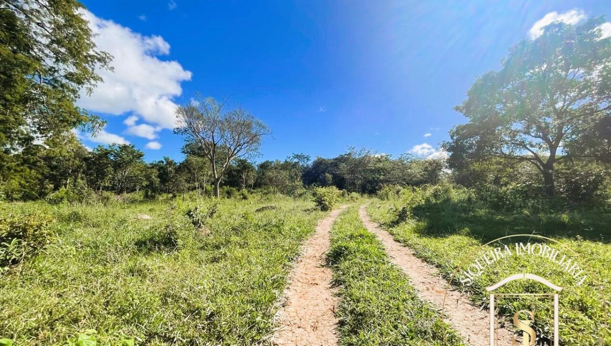 Siqueira Imóveis de Pirenópolis / Goiás / BrasilVenda de Casa em Brasília é na Siqueira Imobiliária de Pirenópolis / Imobiliária de Goiás / Imobiliária do Brasil / Imobiliária do Centro-Oeste / Pirenópolis Imóveis / Imóveis Pirenópolis / Imobiliária de Pirenópolis / Pirenópolis Imobiliária / Goiás Imóveis / Brasil Imóveis / Pirenópolis / Goiás / Brasil / Siqueira Imobiliária de Goiás / Consultoria Imobiliária / Consultor Imobiliário / Venda de Imóveis Pirenópolis / Melhor Imobiliária de Pirenópolis / Venda de pousadas / Venda de terrenos / venda de casas/ Venda de Lotes / Venda de Chácara / Venda de Fazenda / Venda de Apartamentos / Venda de Flat / Venda de Sítio / Brasília Imóveis / Goiânia Imóveis / Imobiliária de Goiânia / Imobiliária de Brasília/ Imobiliária em Pirenópolis / Imobiliária de Pirenópolis / Condomínio Fechado Vaga Fogo / Condomínio Paço da Estalagem / Condomínio Parque da Estalagem / Condomínio Quinta do Sol / Condomínio Fechado Pirenópolis / Cachoeiras Pirenópolis / Restaurante Pirenópolis /Siqueira Imóveis de Pirenópolis / Goiás / BrasilVenda de Casa em Brasília é na Siqueira Imobiliária de Pirenópolis / Imobiliária de Goiás / Imobiliária do Brasil / Imobiliária do Centro-Oeste / Pirenópolis Imóveis / Imóveis Pirenópolis / Imobiliária de Pirenópolis / Pirenópolis Imobiliária / Goiás Imóveis / Brasil Imóveis / Pirenópolis / Goiás / Brasil / Siqueira Imobiliária de Goiás / Consultoria Imobiliária / Consultor Imobiliário / Venda de Imóveis Pirenópolis / Melhor Imobiliária de Pirenópolis / Venda de pousadas / Venda de terrenos / venda de casas/ Venda de Lotes / Venda de Chácara / Venda de Fazenda / Venda de Apartamentos / Venda de Flat / Venda de Sítio / Brasília Imóveis / Goiânia Imóveis / Imobiliária de Goiânia / Imobiliária de Brasília/ Imobiliária em Pirenópolis / Imobiliária de Pirenópolis / Condomínio Fechado Vaga Fogo / Condomínio Paço da Estalagem / Condomínio Parque da Estalagem / Condomínio Quinta do Sol / Condomínio Fechado Pirenópolis / Cachoeiras Pirenópolis / Restaurante Pirenópolis /Siqueira Imóveis de Pirenópolis / Goiás / BrasilVenda de Casa em Brasília é na Siqueira Imobiliária de Pirenópolis / Imobiliária de Goiás / Imobiliária do Brasil / Imobiliária do Centro-Oeste / Pirenópolis Imóveis / Imóveis Pirenópolis / Imobiliária de Pirenópolis / Pirenópolis Imobiliária / Goiás Imóveis / Brasil Imóveis / Pirenópolis / Goiás / Brasil / Siqueira Imobiliária de Goiás / Consultoria Imobiliária / Consultor Imobiliário / Venda de Imóveis Pirenópolis / Melhor Imobiliária de Pirenópolis / Venda de pousadas / Venda de terrenos / venda de casas/ Venda de Lotes / Venda de Chácara / Venda de Fazenda / Venda de Apartamentos / Venda de Flat / Venda de Sítio / Brasília Imóveis / Goiânia Imóveis / Imobiliária de Goiânia / Imobiliária de Brasília/ Imobiliária em Pirenópolis / Imobiliária de Pirenópolis / Condomínio Fechado Vaga Fogo / Condomínio Paço da Estalagem / Condomínio Parque da Estalagem / Condomínio Quinta do Sol / Condomínio Fechado Pirenópolis / Cachoeiras Pirenópolis / Restaurante Pirenópolis /Siqueira Imóveis de Pirenópolis / Goiás / BrasilVenda de Casa em Brasília é na Siqueira Imobiliária de Pirenópolis / Imobiliária de Goiás / Imobiliária do Brasil / Imobiliária do Centro-Oeste / Pirenópolis Imóveis / Imóveis Pirenópolis / Imobiliária de Pirenópolis / Pirenópolis Imobiliária / Goiás Imóveis / Brasil Imóveis / Pirenópolis / Goiás / Brasil / Siqueira Imobiliária de Goiás / Consultoria Imobiliária / Consultor Imobiliário / Venda de Imóveis Pirenópolis / Melhor Imobiliária de Pirenópolis / Venda de pousadas / Venda de terrenos / venda de casas/ Venda de Lotes / Venda de Chácara / Venda de Fazenda / Venda de Apartamentos / Venda de Flat / Venda de Sítio / Brasília Imóveis / Goiânia Imóveis / Imobiliária de Goiânia / Imobiliária de Brasília/ Imobiliária em Pirenópolis / Imobiliária de Pirenópolis / Condomínio Fechado Vaga Fogo / Condomínio Paço da Estalagem / Condomínio Parque da Estalagem / Condomínio Quinta do Sol / Condomínio Fechado Pirenópolis / Cachoeiras Pirenópolis / Restaurante Pirenópolis /