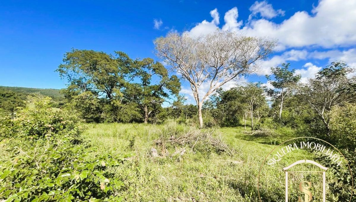 Siqueira Imóveis de Pirenópolis / Goiás / BrasilVenda de Casa em Brasília é na Siqueira Imobiliária de Pirenópolis / Imobiliária de Goiás / Imobiliária do Brasil / Imobiliária do Centro-Oeste / Pirenópolis Imóveis / Imóveis Pirenópolis / Imobiliária de Pirenópolis / Pirenópolis Imobiliária / Goiás Imóveis / Brasil Imóveis / Pirenópolis / Goiás / Brasil / Siqueira Imobiliária de Goiás / Consultoria Imobiliária / Consultor Imobiliário / Venda de Imóveis Pirenópolis / Melhor Imobiliária de Pirenópolis / Venda de pousadas / Venda de terrenos / venda de casas/ Venda de Lotes / Venda de Chácara / Venda de Fazenda / Venda de Apartamentos / Venda de Flat / Venda de Sítio / Brasília Imóveis / Goiânia Imóveis / Imobiliária de Goiânia / Imobiliária de Brasília/ Imobiliária em Pirenópolis / Imobiliária de Pirenópolis / Condomínio Fechado Vaga Fogo / Condomínio Paço da Estalagem / Condomínio Parque da Estalagem / Condomínio Quinta do Sol / Condomínio Fechado Pirenópolis / Cachoeiras Pirenópolis / Restaurante Pirenópolis /Siqueira Imóveis de Pirenópolis / Goiás / BrasilVenda de Casa em Brasília é na Siqueira Imobiliária de Pirenópolis / Imobiliária de Goiás / Imobiliária do Brasil / Imobiliária do Centro-Oeste / Pirenópolis Imóveis / Imóveis Pirenópolis / Imobiliária de Pirenópolis / Pirenópolis Imobiliária / Goiás Imóveis / Brasil Imóveis / Pirenópolis / Goiás / Brasil / Siqueira Imobiliária de Goiás / Consultoria Imobiliária / Consultor Imobiliário / Venda de Imóveis Pirenópolis / Melhor Imobiliária de Pirenópolis / Venda de pousadas / Venda de terrenos / venda de casas/ Venda de Lotes / Venda de Chácara / Venda de Fazenda / Venda de Apartamentos / Venda de Flat / Venda de Sítio / Brasília Imóveis / Goiânia Imóveis / Imobiliária de Goiânia / Imobiliária de Brasília/ Imobiliária em Pirenópolis / Imobiliária de Pirenópolis / Condomínio Fechado Vaga Fogo / Condomínio Paço da Estalagem / Condomínio Parque da Estalagem / Condomínio Quinta do Sol / Condomínio Fechado Pirenópolis / Cachoeiras Pirenópolis / Restaurante Pirenópolis /Siqueira Imóveis de Pirenópolis / Goiás / BrasilVenda de Casa em Brasília é na Siqueira Imobiliária de Pirenópolis / Imobiliária de Goiás / Imobiliária do Brasil / Imobiliária do Centro-Oeste / Pirenópolis Imóveis / Imóveis Pirenópolis / Imobiliária de Pirenópolis / Pirenópolis Imobiliária / Goiás Imóveis / Brasil Imóveis / Pirenópolis / Goiás / Brasil / Siqueira Imobiliária de Goiás / Consultoria Imobiliária / Consultor Imobiliário / Venda de Imóveis Pirenópolis / Melhor Imobiliária de Pirenópolis / Venda de pousadas / Venda de terrenos / venda de casas/ Venda de Lotes / Venda de Chácara / Venda de Fazenda / Venda de Apartamentos / Venda de Flat / Venda de Sítio / Brasília Imóveis / Goiânia Imóveis / Imobiliária de Goiânia / Imobiliária de Brasília/ Imobiliária em Pirenópolis / Imobiliária de Pirenópolis / Condomínio Fechado Vaga Fogo / Condomínio Paço da Estalagem / Condomínio Parque da Estalagem / Condomínio Quinta do Sol / Condomínio Fechado Pirenópolis / Cachoeiras Pirenópolis / Restaurante Pirenópolis /Siqueira Imóveis de Pirenópolis / Goiás / BrasilVenda de Casa em Brasília é na Siqueira Imobiliária de Pirenópolis / Imobiliária de Goiás / Imobiliária do Brasil / Imobiliária do Centro-Oeste / Pirenópolis Imóveis / Imóveis Pirenópolis / Imobiliária de Pirenópolis / Pirenópolis Imobiliária / Goiás Imóveis / Brasil Imóveis / Pirenópolis / Goiás / Brasil / Siqueira Imobiliária de Goiás / Consultoria Imobiliária / Consultor Imobiliário / Venda de Imóveis Pirenópolis / Melhor Imobiliária de Pirenópolis / Venda de pousadas / Venda de terrenos / venda de casas/ Venda de Lotes / Venda de Chácara / Venda de Fazenda / Venda de Apartamentos / Venda de Flat / Venda de Sítio / Brasília Imóveis / Goiânia Imóveis / Imobiliária de Goiânia / Imobiliária de Brasília/ Imobiliária em Pirenópolis / Imobiliária de Pirenópolis / Condomínio Fechado Vaga Fogo / Condomínio Paço da Estalagem / Condomínio Parque da Estalagem / Condomínio Quinta do Sol / Condomínio Fechado Pirenópolis / Cachoeiras Pirenópolis / Restaurante Pirenópolis /