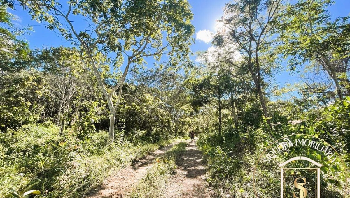 WhatsApp Siqueira Imóveis de Pirenópolis / Goiás / BrasilVenda de Casa em Brasília é na Siqueira Imobiliária de Pirenópolis / Imobiliária de Goiás / Imobiliária do Brasil / Imobiliária do Centro-Oeste / Pirenópolis Imóveis / Imóveis Pirenópolis / Imobiliária de Pirenópolis / Pirenópolis Imobiliária / Goiás Imóveis / Brasil Imóveis / Pirenópolis / Goiás / Brasil / Siqueira Imobiliária de Goiás / Consultoria Imobiliária / Consultor Imobiliário / Venda de Imóveis Pirenópolis / Melhor Imobiliária de Pirenópolis / Venda de pousadas / Venda de terrenos / venda de casas/ Venda de Lotes / Venda de Chácara / Venda de Fazenda / Venda de Apartamentos / Venda de Flat / Venda de Sítio / Brasília Imóveis / Goiânia Imóveis / Imobiliária de Goiânia / Imobiliária de Brasília/ Imobiliária em Pirenópolis / Imobiliária de Pirenópolis / Condomínio Fechado Vaga Fogo / Condomínio Paço da Estalagem / Condomínio Parque da Estalagem / Condomínio Quinta do Sol / Condomínio Fechado Pirenópolis / Cachoeiras Pirenópolis / Restaurante Pirenópolis /Siqueira Imóveis de Pirenópolis / Goiás / BrasilVenda de Casa em Brasília é na Siqueira Imobiliária de Pirenópolis / Imobiliária de Goiás / Imobiliária do Brasil / Imobiliária do Centro-Oeste / Pirenópolis Imóveis / Imóveis Pirenópolis / Imobiliária de Pirenópolis / Pirenópolis Imobiliária / Goiás Imóveis / Brasil Imóveis / Pirenópolis / Goiás / Brasil / Siqueira Imobiliária de Goiás / Consultoria Imobiliária / Consultor Imobiliário / Venda de Imóveis Pirenópolis / Melhor Imobiliária de Pirenópolis / Venda de pousadas / Venda de terrenos / venda de casas/ Venda de Lotes / Venda de Chácara / Venda de Fazenda / Venda de Apartamentos / Venda de Flat / Venda de Sítio / Brasília Imóveis / Goiânia Imóveis / Imobiliária de Goiânia / Imobiliária de Brasília/ Imobiliária em Pirenópolis / Imobiliária de Pirenópolis / Condomínio Fechado Vaga Fogo / Condomínio Paço da Estalagem / Condomínio Parque da Estalagem / Condomínio Quinta do Sol / Condomínio Fechado Pirenópolis / Cachoeiras Pirenópolis / Restaurante Pirenópolis /Siqueira Imóveis de Pirenópolis / Goiás / BrasilVenda de Casa em Brasília é na Siqueira Imobiliária de Pirenópolis / Imobiliária de Goiás / Imobiliária do Brasil / Imobiliária do Centro-Oeste / Pirenópolis Imóveis / Imóveis Pirenópolis / Imobiliária de Pirenópolis / Pirenópolis Imobiliária / Goiás Imóveis / Brasil Imóveis / Pirenópolis / Goiás / Brasil / Siqueira Imobiliária de Goiás / Consultoria Imobiliária / Consultor Imobiliário / Venda de Imóveis Pirenópolis / Melhor Imobiliária de Pirenópolis / Venda de pousadas / Venda de terrenos / venda de casas/ Venda de Lotes / Venda de Chácara / Venda de Fazenda / Venda de Apartamentos / Venda de Flat / Venda de Sítio / Brasília Imóveis / Goiânia Imóveis / Imobiliária de Goiânia / Imobiliária de Brasília/ Imobiliária em Pirenópolis / Imobiliária de Pirenópolis / Condomínio Fechado Vaga Fogo / Condomínio Paço da Estalagem / Condomínio Parque da Estalagem / Condomínio Quinta do Sol / Condomínio Fechado Pirenópolis / Cachoeiras Pirenópolis / Restaurante Pirenópolis /Siqueira Imóveis de Pirenópolis / Goiás / BrasilVenda de Casa em Brasília é na Siqueira Imobiliária de Pirenópolis / Imobiliária de Goiás / Imobiliária do Brasil / Imobiliária do Centro-Oeste / Pirenópolis Imóveis / Imóveis Pirenópolis / Imobiliária de Pirenópolis / Pirenópolis Imobiliária / Goiás Imóveis / Brasil Imóveis / Pirenópolis / Goiás / Brasil / Siqueira Imobiliária de Goiás / Consultoria Imobiliária / Consultor Imobiliário / Venda de Imóveis Pirenópolis / Melhor Imobiliária de Pirenópolis / Venda de pousadas / Venda de terrenos / venda de casas/ Venda de Lotes / Venda de Chácara / Venda de Fazenda / Venda de Apartamentos / Venda de Flat / Venda de Sítio / Brasília Imóveis / Goiânia Imóveis / Imobiliária de Goiânia / Imobiliária de Brasília/ Imobiliária em Pirenópolis / Imobiliária de Pirenópolis / Condomínio Fechado Vaga Fogo / Condomínio Paço da Estalagem / Condomínio Parque da Estalagem / Condomínio Quinta do Sol / Condomínio Fechado Pirenópolis / Cachoeiras Pirenópolis / Restaurante Pirenópolis /2026-04-22 at 20.31.46 (26)