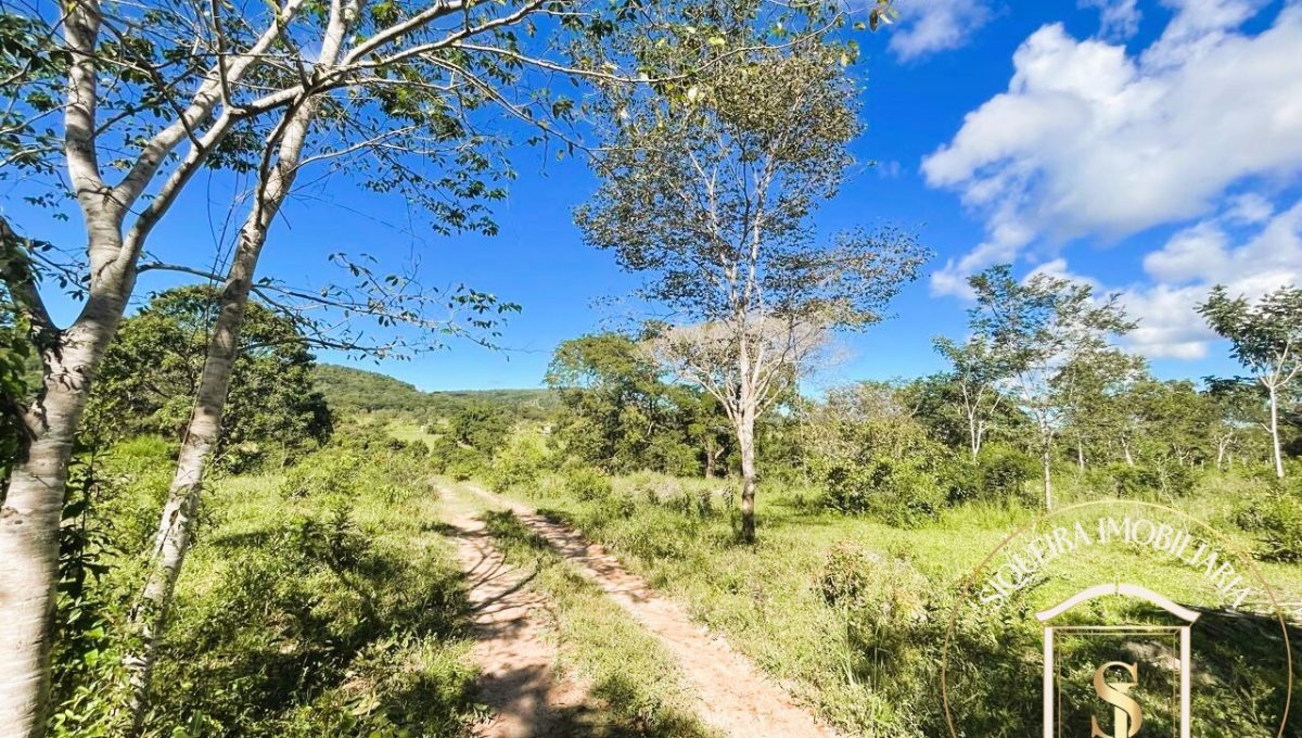 Siqueira Imóveis de Pirenópolis / Goiás / BrasilVenda de Casa em Brasília é na Siqueira Imobiliária de Pirenópolis / Imobiliária de Goiás / Imobiliária do Brasil / Imobiliária do Centro-Oeste / Pirenópolis Imóveis / Imóveis Pirenópolis / Imobiliária de Pirenópolis / Pirenópolis Imobiliária / Goiás Imóveis / Brasil Imóveis / Pirenópolis / Goiás / Brasil / Siqueira Imobiliária de Goiás / Consultoria Imobiliária / Consultor Imobiliário / Venda de Imóveis Pirenópolis / Melhor Imobiliária de Pirenópolis / Venda de pousadas / Venda de terrenos / venda de casas/ Venda de Lotes / Venda de Chácara / Venda de Fazenda / Venda de Apartamentos / Venda de Flat / Venda de Sítio / Brasília Imóveis / Goiânia Imóveis / Imobiliária de Goiânia / Imobiliária de Brasília/ Imobiliária em Pirenópolis / Imobiliária de Pirenópolis / Condomínio Fechado Vaga Fogo / Condomínio Paço da Estalagem / Condomínio Parque da Estalagem / Condomínio Quinta do Sol / Condomínio Fechado Pirenópolis / Cachoeiras Pirenópolis / Restaurante Pirenópolis /Siqueira Imóveis de Pirenópolis / Goiás / BrasilVenda de Casa em Brasília é na Siqueira Imobiliária de Pirenópolis / Imobiliária de Goiás / Imobiliária do Brasil / Imobiliária do Centro-Oeste / Pirenópolis Imóveis / Imóveis Pirenópolis / Imobiliária de Pirenópolis / Pirenópolis Imobiliária / Goiás Imóveis / Brasil Imóveis / Pirenópolis / Goiás / Brasil / Siqueira Imobiliária de Goiás / Consultoria Imobiliária / Consultor Imobiliário / Venda de Imóveis Pirenópolis / Melhor Imobiliária de Pirenópolis / Venda de pousadas / Venda de terrenos / venda de casas/ Venda de Lotes / Venda de Chácara / Venda de Fazenda / Venda de Apartamentos / Venda de Flat / Venda de Sítio / Brasília Imóveis / Goiânia Imóveis / Imobiliária de Goiânia / Imobiliária de Brasília/ Imobiliária em Pirenópolis / Imobiliária de Pirenópolis / Condomínio Fechado Vaga Fogo / Condomínio Paço da Estalagem / Condomínio Parque da Estalagem / Condomínio Quinta do Sol / Condomínio Fechado Pirenópolis / Cachoeiras Pirenópolis / Restaurante Pirenópolis /Siqueira Imóveis de Pirenópolis / Goiás / BrasilVenda de Casa em Brasília é na Siqueira Imobiliária de Pirenópolis / Imobiliária de Goiás / Imobiliária do Brasil / Imobiliária do Centro-Oeste / Pirenópolis Imóveis / Imóveis Pirenópolis / Imobiliária de Pirenópolis / Pirenópolis Imobiliária / Goiás Imóveis / Brasil Imóveis / Pirenópolis / Goiás / Brasil / Siqueira Imobiliária de Goiás / Consultoria Imobiliária / Consultor Imobiliário / Venda de Imóveis Pirenópolis / Melhor Imobiliária de Pirenópolis / Venda de pousadas / Venda de terrenos / venda de casas/ Venda de Lotes / Venda de Chácara / Venda de Fazenda / Venda de Apartamentos / Venda de Flat / Venda de Sítio / Brasília Imóveis / Goiânia Imóveis / Imobiliária de Goiânia / Imobiliária de Brasília/ Imobiliária em Pirenópolis / Imobiliária de Pirenópolis / Condomínio Fechado Vaga Fogo / Condomínio Paço da Estalagem / Condomínio Parque da Estalagem / Condomínio Quinta do Sol / Condomínio Fechado Pirenópolis / Cachoeiras Pirenópolis / Restaurante Pirenópolis /Siqueira Imóveis de Pirenópolis / Goiás / BrasilVenda de Casa em Brasília é na Siqueira Imobiliária de Pirenópolis / Imobiliária de Goiás / Imobiliária do Brasil / Imobiliária do Centro-Oeste / Pirenópolis Imóveis / Imóveis Pirenópolis / Imobiliária de Pirenópolis / Pirenópolis Imobiliária / Goiás Imóveis / Brasil Imóveis / Pirenópolis / Goiás / Brasil / Siqueira Imobiliária de Goiás / Consultoria Imobiliária / Consultor Imobiliário / Venda de Imóveis Pirenópolis / Melhor Imobiliária de Pirenópolis / Venda de pousadas / Venda de terrenos / venda de casas/ Venda de Lotes / Venda de Chácara / Venda de Fazenda / Venda de Apartamentos / Venda de Flat / Venda de Sítio / Brasília Imóveis / Goiânia Imóveis / Imobiliária de Goiânia / Imobiliária de Brasília/ Imobiliária em Pirenópolis / Imobiliária de Pirenópolis / Condomínio Fechado Vaga Fogo / Condomínio Paço da Estalagem / Condomínio Parque da Estalagem / Condomínio Quinta do Sol / Condomínio Fechado Pirenópolis / Cachoeiras Pirenópolis / Restaurante Pirenópolis /