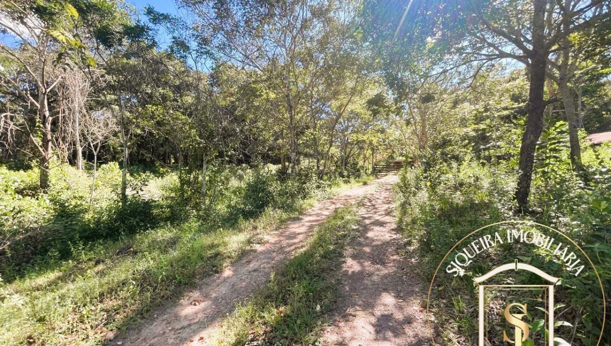 Siqueira Imóveis de Pirenópolis / Goiás / BrasilVenda de Casa em Brasília é na Siqueira Imobiliária de Pirenópolis / Imobiliária de Goiás / Imobiliária do Brasil / Imobiliária do Centro-Oeste / Pirenópolis Imóveis / Imóveis Pirenópolis / Imobiliária de Pirenópolis / Pirenópolis Imobiliária / Goiás Imóveis / Brasil Imóveis / Pirenópolis / Goiás / Brasil / Siqueira Imobiliária de Goiás / Consultoria Imobiliária / Consultor Imobiliário / Venda de Imóveis Pirenópolis / Melhor Imobiliária de Pirenópolis / Venda de pousadas / Venda de terrenos / venda de casas/ Venda de Lotes / Venda de Chácara / Venda de Fazenda / Venda de Apartamentos / Venda de Flat / Venda de Sítio / Brasília Imóveis / Goiânia Imóveis / Imobiliária de Goiânia / Imobiliária de Brasília/ Imobiliária em Pirenópolis / Imobiliária de Pirenópolis / Condomínio Fechado Vaga Fogo / Condomínio Paço da Estalagem / Condomínio Parque da Estalagem / Condomínio Quinta do Sol / Condomínio Fechado Pirenópolis / Cachoeiras Pirenópolis / Restaurante Pirenópolis /Siqueira Imóveis de Pirenópolis / Goiás / BrasilVenda de Casa em Brasília é na Siqueira Imobiliária de Pirenópolis / Imobiliária de Goiás / Imobiliária do Brasil / Imobiliária do Centro-Oeste / Pirenópolis Imóveis / Imóveis Pirenópolis / Imobiliária de Pirenópolis / Pirenópolis Imobiliária / Goiás Imóveis / Brasil Imóveis / Pirenópolis / Goiás / Brasil / Siqueira Imobiliária de Goiás / Consultoria Imobiliária / Consultor Imobiliário / Venda de Imóveis Pirenópolis / Melhor Imobiliária de Pirenópolis / Venda de pousadas / Venda de terrenos / venda de casas/ Venda de Lotes / Venda de Chácara / Venda de Fazenda / Venda de Apartamentos / Venda de Flat / Venda de Sítio / Brasília Imóveis / Goiânia Imóveis / Imobiliária de Goiânia / Imobiliária de Brasília/ Imobiliária em Pirenópolis / Imobiliária de Pirenópolis / Condomínio Fechado Vaga Fogo / Condomínio Paço da Estalagem / Condomínio Parque da Estalagem / Condomínio Quinta do Sol / Condomínio Fechado Pirenópolis / Cachoeiras Pirenópolis / Restaurante Pirenópolis /Siqueira Imóveis de Pirenópolis / Goiás / BrasilVenda de Casa em Brasília é na Siqueira Imobiliária de Pirenópolis / Imobiliária de Goiás / Imobiliária do Brasil / Imobiliária do Centro-Oeste / Pirenópolis Imóveis / Imóveis Pirenópolis / Imobiliária de Pirenópolis / Pirenópolis Imobiliária / Goiás Imóveis / Brasil Imóveis / Pirenópolis / Goiás / Brasil / Siqueira Imobiliária de Goiás / Consultoria Imobiliária / Consultor Imobiliário / Venda de Imóveis Pirenópolis / Melhor Imobiliária de Pirenópolis / Venda de pousadas / Venda de terrenos / venda de casas/ Venda de Lotes / Venda de Chácara / Venda de Fazenda / Venda de Apartamentos / Venda de Flat / Venda de Sítio / Brasília Imóveis / Goiânia Imóveis / Imobiliária de Goiânia / Imobiliária de Brasília/ Imobiliária em Pirenópolis / Imobiliária de Pirenópolis / Condomínio Fechado Vaga Fogo / Condomínio Paço da Estalagem / Condomínio Parque da Estalagem / Condomínio Quinta do Sol / Condomínio Fechado Pirenópolis / Cachoeiras Pirenópolis / Restaurante Pirenópolis /Siqueira Imóveis de Pirenópolis / Goiás / BrasilVenda de Casa em Brasília é na Siqueira Imobiliária de Pirenópolis / Imobiliária de Goiás / Imobiliária do Brasil / Imobiliária do Centro-Oeste / Pirenópolis Imóveis / Imóveis Pirenópolis / Imobiliária de Pirenópolis / Pirenópolis Imobiliária / Goiás Imóveis / Brasil Imóveis / Pirenópolis / Goiás / Brasil / Siqueira Imobiliária de Goiás / Consultoria Imobiliária / Consultor Imobiliário / Venda de Imóveis Pirenópolis / Melhor Imobiliária de Pirenópolis / Venda de pousadas / Venda de terrenos / venda de casas/ Venda de Lotes / Venda de Chácara / Venda de Fazenda / Venda de Apartamentos / Venda de Flat / Venda de Sítio / Brasília Imóveis / Goiânia Imóveis / Imobiliária de Goiânia / Imobiliária de Brasília/ Imobiliária em Pirenópolis / Imobiliária de Pirenópolis / Condomínio Fechado Vaga Fogo / Condomínio Paço da Estalagem / Condomínio Parque da Estalagem / Condomínio Quinta do Sol / Condomínio Fechado Pirenópolis / Cachoeiras Pirenópolis / Restaurante Pirenópolis /