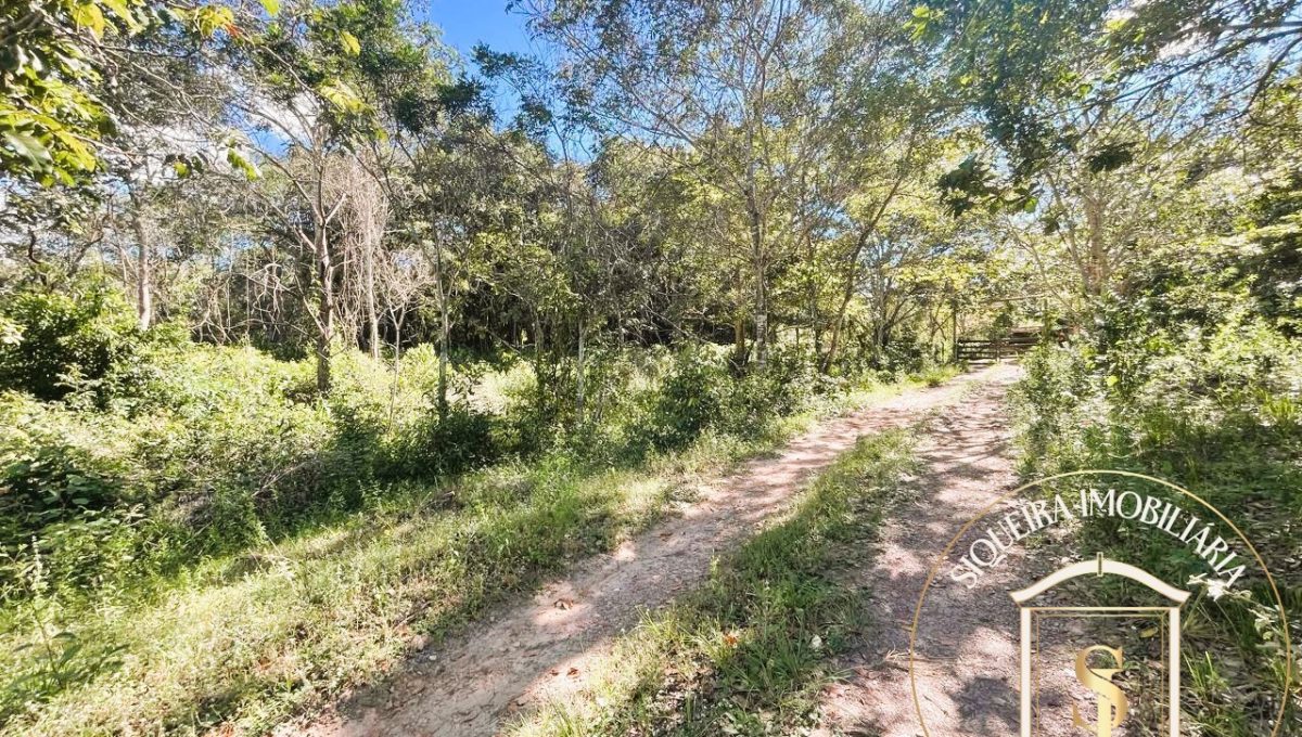 Siqueira Imóveis de Pirenópolis / Goiás / BrasilVenda de Casa em Brasília é na Siqueira Imobiliária de Pirenópolis / Imobiliária de Goiás / Imobiliária do Brasil / Imobiliária do Centro-Oeste / Pirenópolis Imóveis / Imóveis Pirenópolis / Imobiliária de Pirenópolis / Pirenópolis Imobiliária / Goiás Imóveis / Brasil Imóveis / Pirenópolis / Goiás / Brasil / Siqueira Imobiliária de Goiás / Consultoria Imobiliária / Consultor Imobiliário / Venda de Imóveis Pirenópolis / Melhor Imobiliária de Pirenópolis / Venda de pousadas / Venda de terrenos / venda de casas/ Venda de Lotes / Venda de Chácara / Venda de Fazenda / Venda de Apartamentos / Venda de Flat / Venda de Sítio / Brasília Imóveis / Goiânia Imóveis / Imobiliária de Goiânia / Imobiliária de Brasília/ Imobiliária em Pirenópolis / Imobiliária de Pirenópolis / Condomínio Fechado Vaga Fogo / Condomínio Paço da Estalagem / Condomínio Parque da Estalagem / Condomínio Quinta do Sol / Condomínio Fechado Pirenópolis / Cachoeiras Pirenópolis / Restaurante Pirenópolis /Siqueira Imóveis de Pirenópolis / Goiás / BrasilVenda de Casa em Brasília é na Siqueira Imobiliária de Pirenópolis / Imobiliária de Goiás / Imobiliária do Brasil / Imobiliária do Centro-Oeste / Pirenópolis Imóveis / Imóveis Pirenópolis / Imobiliária de Pirenópolis / Pirenópolis Imobiliária / Goiás Imóveis / Brasil Imóveis / Pirenópolis / Goiás / Brasil / Siqueira Imobiliária de Goiás / Consultoria Imobiliária / Consultor Imobiliário / Venda de Imóveis Pirenópolis / Melhor Imobiliária de Pirenópolis / Venda de pousadas / Venda de terrenos / venda de casas/ Venda de Lotes / Venda de Chácara / Venda de Fazenda / Venda de Apartamentos / Venda de Flat / Venda de Sítio / Brasília Imóveis / Goiânia Imóveis / Imobiliária de Goiânia / Imobiliária de Brasília/ Imobiliária em Pirenópolis / Imobiliária de Pirenópolis / Condomínio Fechado Vaga Fogo / Condomínio Paço da Estalagem / Condomínio Parque da Estalagem / Condomínio Quinta do Sol / Condomínio Fechado Pirenópolis / Cachoeiras Pirenópolis / Restaurante Pirenópolis /Siqueira Imóveis de Pirenópolis / Goiás / BrasilVenda de Casa em Brasília é na Siqueira Imobiliária de Pirenópolis / Imobiliária de Goiás / Imobiliária do Brasil / Imobiliária do Centro-Oeste / Pirenópolis Imóveis / Imóveis Pirenópolis / Imobiliária de Pirenópolis / Pirenópolis Imobiliária / Goiás Imóveis / Brasil Imóveis / Pirenópolis / Goiás / Brasil / Siqueira Imobiliária de Goiás / Consultoria Imobiliária / Consultor Imobiliário / Venda de Imóveis Pirenópolis / Melhor Imobiliária de Pirenópolis / Venda de pousadas / Venda de terrenos / venda de casas/ Venda de Lotes / Venda de Chácara / Venda de Fazenda / Venda de Apartamentos / Venda de Flat / Venda de Sítio / Brasília Imóveis / Goiânia Imóveis / Imobiliária de Goiânia / Imobiliária de Brasília/ Imobiliária em Pirenópolis / Imobiliária de Pirenópolis / Condomínio Fechado Vaga Fogo / Condomínio Paço da Estalagem / Condomínio Parque da Estalagem / Condomínio Quinta do Sol / Condomínio Fechado Pirenópolis / Cachoeiras Pirenópolis / Restaurante Pirenópolis /Siqueira Imóveis de Pirenópolis / Goiás / BrasilVenda de Casa em Brasília é na Siqueira Imobiliária de Pirenópolis / Imobiliária de Goiás / Imobiliária do Brasil / Imobiliária do Centro-Oeste / Pirenópolis Imóveis / Imóveis Pirenópolis / Imobiliária de Pirenópolis / Pirenópolis Imobiliária / Goiás Imóveis / Brasil Imóveis / Pirenópolis / Goiás / Brasil / Siqueira Imobiliária de Goiás / Consultoria Imobiliária / Consultor Imobiliário / Venda de Imóveis Pirenópolis / Melhor Imobiliária de Pirenópolis / Venda de pousadas / Venda de terrenos / venda de casas/ Venda de Lotes / Venda de Chácara / Venda de Fazenda / Venda de Apartamentos / Venda de Flat / Venda de Sítio / Brasília Imóveis / Goiânia Imóveis / Imobiliária de Goiânia / Imobiliária de Brasília/ Imobiliária em Pirenópolis / Imobiliária de Pirenópolis / Condomínio Fechado Vaga Fogo / Condomínio Paço da Estalagem / Condomínio Parque da Estalagem / Condomínio Quinta do Sol / Condomínio Fechado Pirenópolis / Cachoeiras Pirenópolis / Restaurante Pirenópolis /