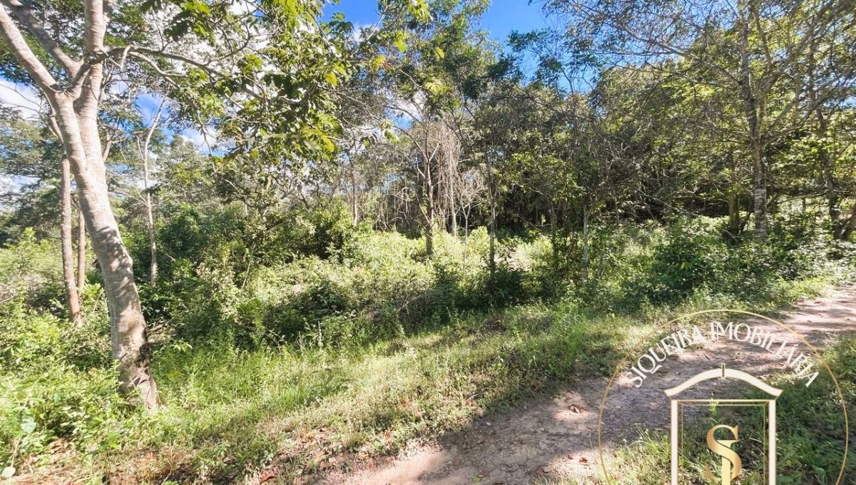 Siqueira Imóveis de Pirenópolis / Goiás / BrasilVenda de Casa em Brasília é na Siqueira Imobiliária de Pirenópolis / Imobiliária de Goiás / Imobiliária do Brasil / Imobiliária do Centro-Oeste / Pirenópolis Imóveis / Imóveis Pirenópolis / Imobiliária de Pirenópolis / Pirenópolis Imobiliária / Goiás Imóveis / Brasil Imóveis / Pirenópolis / Goiás / Brasil / Siqueira Imobiliária de Goiás / Consultoria Imobiliária / Consultor Imobiliário / Venda de Imóveis Pirenópolis / Melhor Imobiliária de Pirenópolis / Venda de pousadas / Venda de terrenos / venda de casas/ Venda de Lotes / Venda de Chácara / Venda de Fazenda / Venda de Apartamentos / Venda de Flat / Venda de Sítio / Brasília Imóveis / Goiânia Imóveis / Imobiliária de Goiânia / Imobiliária de Brasília/ Imobiliária em Pirenópolis / Imobiliária de Pirenópolis / Condomínio Fechado Vaga Fogo / Condomínio Paço da Estalagem / Condomínio Parque da Estalagem / Condomínio Quinta do Sol / Condomínio Fechado Pirenópolis / Cachoeiras Pirenópolis / Restaurante Pirenópolis /Siqueira Imóveis de Pirenópolis / Goiás / BrasilVenda de Casa em Brasília é na Siqueira Imobiliária de Pirenópolis / Imobiliária de Goiás / Imobiliária do Brasil / Imobiliária do Centro-Oeste / Pirenópolis Imóveis / Imóveis Pirenópolis / Imobiliária de Pirenópolis / Pirenópolis Imobiliária / Goiás Imóveis / Brasil Imóveis / Pirenópolis / Goiás / Brasil / Siqueira Imobiliária de Goiás / Consultoria Imobiliária / Consultor Imobiliário / Venda de Imóveis Pirenópolis / Melhor Imobiliária de Pirenópolis / Venda de pousadas / Venda de terrenos / venda de casas/ Venda de Lotes / Venda de Chácara / Venda de Fazenda / Venda de Apartamentos / Venda de Flat / Venda de Sítio / Brasília Imóveis / Goiânia Imóveis / Imobiliária de Goiânia / Imobiliária de Brasília/ Imobiliária em Pirenópolis / Imobiliária de Pirenópolis / Condomínio Fechado Vaga Fogo / Condomínio Paço da Estalagem / Condomínio Parque da Estalagem / Condomínio Quinta do Sol / Condomínio Fechado Pirenópolis / Cachoeiras Pirenópolis / Restaurante Pirenópolis /Siqueira Imóveis de Pirenópolis / Goiás / BrasilVenda de Casa em Brasília é na Siqueira Imobiliária de Pirenópolis / Imobiliária de Goiás / Imobiliária do Brasil / Imobiliária do Centro-Oeste / Pirenópolis Imóveis / Imóveis Pirenópolis / Imobiliária de Pirenópolis / Pirenópolis Imobiliária / Goiás Imóveis / Brasil Imóveis / Pirenópolis / Goiás / Brasil / Siqueira Imobiliária de Goiás / Consultoria Imobiliária / Consultor Imobiliário / Venda de Imóveis Pirenópolis / Melhor Imobiliária de Pirenópolis / Venda de pousadas / Venda de terrenos / venda de casas/ Venda de Lotes / Venda de Chácara / Venda de Fazenda / Venda de Apartamentos / Venda de Flat / Venda de Sítio / Brasília Imóveis / Goiânia Imóveis / Imobiliária de Goiânia / Imobiliária de Brasília/ Imobiliária em Pirenópolis / Imobiliária de Pirenópolis / Condomínio Fechado Vaga Fogo / Condomínio Paço da Estalagem / Condomínio Parque da Estalagem / Condomínio Quinta do Sol / Condomínio Fechado Pirenópolis / Cachoeiras Pirenópolis / Restaurante Pirenópolis /Siqueira Imóveis de Pirenópolis / Goiás / BrasilVenda de Casa em Brasília é na Siqueira Imobiliária de Pirenópolis / Imobiliária de Goiás / Imobiliária do Brasil / Imobiliária do Centro-Oeste / Pirenópolis Imóveis / Imóveis Pirenópolis / Imobiliária de Pirenópolis / Pirenópolis Imobiliária / Goiás Imóveis / Brasil Imóveis / Pirenópolis / Goiás / Brasil / Siqueira Imobiliária de Goiás / Consultoria Imobiliária / Consultor Imobiliário / Venda de Imóveis Pirenópolis / Melhor Imobiliária de Pirenópolis / Venda de pousadas / Venda de terrenos / venda de casas/ Venda de Lotes / Venda de Chácara / Venda de Fazenda / Venda de Apartamentos / Venda de Flat / Venda de Sítio / Brasília Imóveis / Goiânia Imóveis / Imobiliária de Goiânia / Imobiliária de Brasília/ Imobiliária em Pirenópolis / Imobiliária de Pirenópolis / Condomínio Fechado Vaga Fogo / Condomínio Paço da Estalagem / Condomínio Parque da Estalagem / Condomínio Quinta do Sol / Condomínio Fechado Pirenópolis / Cachoeiras Pirenópolis / Restaurante Pirenópolis /