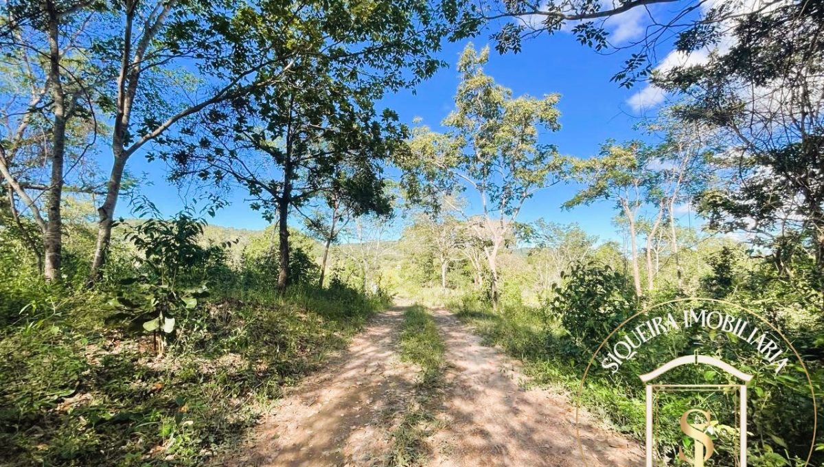 Siqueira Imóveis de Pirenópolis / Goiás / BrasilVenda de Casa em Brasília é na Siqueira Imobiliária de Pirenópolis / Imobiliária de Goiás / Imobiliária do Brasil / Imobiliária do Centro-Oeste / Pirenópolis Imóveis / Imóveis Pirenópolis / Imobiliária de Pirenópolis / Pirenópolis Imobiliária / Goiás Imóveis / Brasil Imóveis / Pirenópolis / Goiás / Brasil / Siqueira Imobiliária de Goiás / Consultoria Imobiliária / Consultor Imobiliário / Venda de Imóveis Pirenópolis / Melhor Imobiliária de Pirenópolis / Venda de pousadas / Venda de terrenos / venda de casas/ Venda de Lotes / Venda de Chácara / Venda de Fazenda / Venda de Apartamentos / Venda de Flat / Venda de Sítio / Brasília Imóveis / Goiânia Imóveis / Imobiliária de Goiânia / Imobiliária de Brasília/ Imobiliária em Pirenópolis / Imobiliária de Pirenópolis / Condomínio Fechado Vaga Fogo / Condomínio Paço da Estalagem / Condomínio Parque da Estalagem / Condomínio Quinta do Sol / Condomínio Fechado Pirenópolis / Cachoeiras Pirenópolis / Restaurante Pirenópolis /Siqueira Imóveis de Pirenópolis / Goiás / BrasilVenda de Casa em Brasília é na Siqueira Imobiliária de Pirenópolis / Imobiliária de Goiás / Imobiliária do Brasil / Imobiliária do Centro-Oeste / Pirenópolis Imóveis / Imóveis Pirenópolis / Imobiliária de Pirenópolis / Pirenópolis Imobiliária / Goiás Imóveis / Brasil Imóveis / Pirenópolis / Goiás / Brasil / Siqueira Imobiliária de Goiás / Consultoria Imobiliária / Consultor Imobiliário / Venda de Imóveis Pirenópolis / Melhor Imobiliária de Pirenópolis / Venda de pousadas / Venda de terrenos / venda de casas/ Venda de Lotes / Venda de Chácara / Venda de Fazenda / Venda de Apartamentos / Venda de Flat / Venda de Sítio / Brasília Imóveis / Goiânia Imóveis / Imobiliária de Goiânia / Imobiliária de Brasília/ Imobiliária em Pirenópolis / Imobiliária de Pirenópolis / Condomínio Fechado Vaga Fogo / Condomínio Paço da Estalagem / Condomínio Parque da Estalagem / Condomínio Quinta do Sol / Condomínio Fechado Pirenópolis / Cachoeiras Pirenópolis / Restaurante Pirenópolis /Siqueira Imóveis de Pirenópolis / Goiás / BrasilVenda de Casa em Brasília é na Siqueira Imobiliária de Pirenópolis / Imobiliária de Goiás / Imobiliária do Brasil / Imobiliária do Centro-Oeste / Pirenópolis Imóveis / Imóveis Pirenópolis / Imobiliária de Pirenópolis / Pirenópolis Imobiliária / Goiás Imóveis / Brasil Imóveis / Pirenópolis / Goiás / Brasil / Siqueira Imobiliária de Goiás / Consultoria Imobiliária / Consultor Imobiliário / Venda de Imóveis Pirenópolis / Melhor Imobiliária de Pirenópolis / Venda de pousadas / Venda de terrenos / venda de casas/ Venda de Lotes / Venda de Chácara / Venda de Fazenda / Venda de Apartamentos / Venda de Flat / Venda de Sítio / Brasília Imóveis / Goiânia Imóveis / Imobiliária de Goiânia / Imobiliária de Brasília/ Imobiliária em Pirenópolis / Imobiliária de Pirenópolis / Condomínio Fechado Vaga Fogo / Condomínio Paço da Estalagem / Condomínio Parque da Estalagem / Condomínio Quinta do Sol / Condomínio Fechado Pirenópolis / Cachoeiras Pirenópolis / Restaurante Pirenópolis /Siqueira Imóveis de Pirenópolis / Goiás / BrasilVenda de Casa em Brasília é na Siqueira Imobiliária de Pirenópolis / Imobiliária de Goiás / Imobiliária do Brasil / Imobiliária do Centro-Oeste / Pirenópolis Imóveis / Imóveis Pirenópolis / Imobiliária de Pirenópolis / Pirenópolis Imobiliária / Goiás Imóveis / Brasil Imóveis / Pirenópolis / Goiás / Brasil / Siqueira Imobiliária de Goiás / Consultoria Imobiliária / Consultor Imobiliário / Venda de Imóveis Pirenópolis / Melhor Imobiliária de Pirenópolis / Venda de pousadas / Venda de terrenos / venda de casas/ Venda de Lotes / Venda de Chácara / Venda de Fazenda / Venda de Apartamentos / Venda de Flat / Venda de Sítio / Brasília Imóveis / Goiânia Imóveis / Imobiliária de Goiânia / Imobiliária de Brasília/ Imobiliária em Pirenópolis / Imobiliária de Pirenópolis / Condomínio Fechado Vaga Fogo / Condomínio Paço da Estalagem / Condomínio Parque da Estalagem / Condomínio Quinta do Sol / Condomínio Fechado Pirenópolis / Cachoeiras Pirenópolis / Restaurante Pirenópolis /