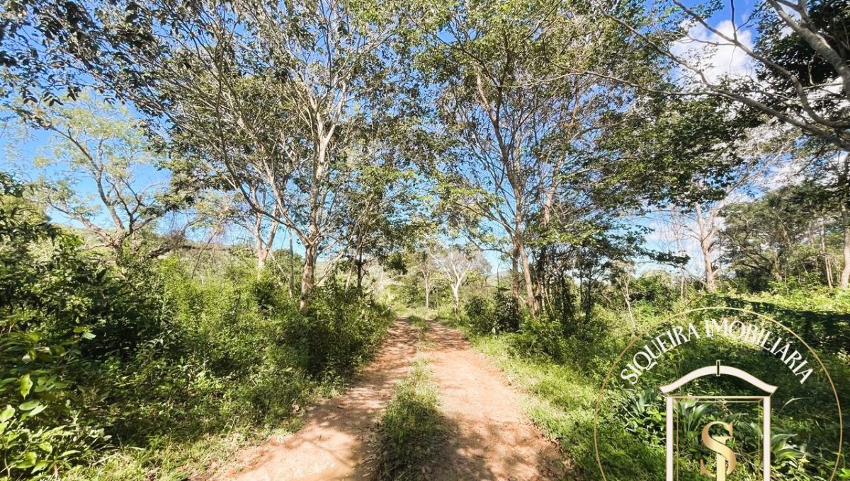 Siqueira Imóveis de Pirenópolis / Goiás / BrasilVenda de Casa em Brasília é na Siqueira Imobiliária de Pirenópolis / Imobiliária de Goiás / Imobiliária do Brasil / Imobiliária do Centro-Oeste / Pirenópolis Imóveis / Imóveis Pirenópolis / Imobiliária de Pirenópolis / Pirenópolis Imobiliária / Goiás Imóveis / Brasil Imóveis / Pirenópolis / Goiás / Brasil / Siqueira Imobiliária de Goiás / Consultoria Imobiliária / Consultor Imobiliário / Venda de Imóveis Pirenópolis / Melhor Imobiliária de Pirenópolis / Venda de pousadas / Venda de terrenos / venda de casas/ Venda de Lotes / Venda de Chácara / Venda de Fazenda / Venda de Apartamentos / Venda de Flat / Venda de Sítio / Brasília Imóveis / Goiânia Imóveis / Imobiliária de Goiânia / Imobiliária de Brasília/ Imobiliária em Pirenópolis / Imobiliária de Pirenópolis / Condomínio Fechado Vaga Fogo / Condomínio Paço da Estalagem / Condomínio Parque da Estalagem / Condomínio Quinta do Sol / Condomínio Fechado Pirenópolis / Cachoeiras Pirenópolis / Restaurante Pirenópolis /Siqueira Imóveis de Pirenópolis / Goiás / BrasilVenda de Casa em Brasília é na Siqueira Imobiliária de Pirenópolis / Imobiliária de Goiás / Imobiliária do Brasil / Imobiliária do Centro-Oeste / Pirenópolis Imóveis / Imóveis Pirenópolis / Imobiliária de Pirenópolis / Pirenópolis Imobiliária / Goiás Imóveis / Brasil Imóveis / Pirenópolis / Goiás / Brasil / Siqueira Imobiliária de Goiás / Consultoria Imobiliária / Consultor Imobiliário / Venda de Imóveis Pirenópolis / Melhor Imobiliária de Pirenópolis / Venda de pousadas / Venda de terrenos / venda de casas/ Venda de Lotes / Venda de Chácara / Venda de Fazenda / Venda de Apartamentos / Venda de Flat / Venda de Sítio / Brasília Imóveis / Goiânia Imóveis / Imobiliária de Goiânia / Imobiliária de Brasília/ Imobiliária em Pirenópolis / Imobiliária de Pirenópolis / Condomínio Fechado Vaga Fogo / Condomínio Paço da Estalagem / Condomínio Parque da Estalagem / Condomínio Quinta do Sol / Condomínio Fechado Pirenópolis / Cachoeiras Pirenópolis / Restaurante Pirenópolis /Siqueira Imóveis de Pirenópolis / Goiás / BrasilVenda de Casa em Brasília é na Siqueira Imobiliária de Pirenópolis / Imobiliária de Goiás / Imobiliária do Brasil / Imobiliária do Centro-Oeste / Pirenópolis Imóveis / Imóveis Pirenópolis / Imobiliária de Pirenópolis / Pirenópolis Imobiliária / Goiás Imóveis / Brasil Imóveis / Pirenópolis / Goiás / Brasil / Siqueira Imobiliária de Goiás / Consultoria Imobiliária / Consultor Imobiliário / Venda de Imóveis Pirenópolis / Melhor Imobiliária de Pirenópolis / Venda de pousadas / Venda de terrenos / venda de casas/ Venda de Lotes / Venda de Chácara / Venda de Fazenda / Venda de Apartamentos / Venda de Flat / Venda de Sítio / Brasília Imóveis / Goiânia Imóveis / Imobiliária de Goiânia / Imobiliária de Brasília/ Imobiliária em Pirenópolis / Imobiliária de Pirenópolis / Condomínio Fechado Vaga Fogo / Condomínio Paço da Estalagem / Condomínio Parque da Estalagem / Condomínio Quinta do Sol / Condomínio Fechado Pirenópolis / Cachoeiras Pirenópolis / Restaurante Pirenópolis /Siqueira Imóveis de Pirenópolis / Goiás / BrasilVenda de Casa em Brasília é na Siqueira Imobiliária de Pirenópolis / Imobiliária de Goiás / Imobiliária do Brasil / Imobiliária do Centro-Oeste / Pirenópolis Imóveis / Imóveis Pirenópolis / Imobiliária de Pirenópolis / Pirenópolis Imobiliária / Goiás Imóveis / Brasil Imóveis / Pirenópolis / Goiás / Brasil / Siqueira Imobiliária de Goiás / Consultoria Imobiliária / Consultor Imobiliário / Venda de Imóveis Pirenópolis / Melhor Imobiliária de Pirenópolis / Venda de pousadas / Venda de terrenos / venda de casas/ Venda de Lotes / Venda de Chácara / Venda de Fazenda / Venda de Apartamentos / Venda de Flat / Venda de Sítio / Brasília Imóveis / Goiânia Imóveis / Imobiliária de Goiânia / Imobiliária de Brasília/ Imobiliária em Pirenópolis / Imobiliária de Pirenópolis / Condomínio Fechado Vaga Fogo / Condomínio Paço da Estalagem / Condomínio Parque da Estalagem / Condomínio Quinta do Sol / Condomínio Fechado Pirenópolis / Cachoeiras Pirenópolis / Restaurante Pirenópolis /