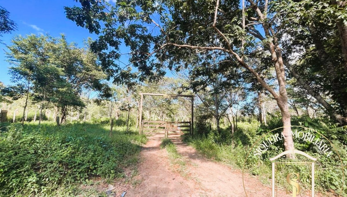 Siqueira Imóveis de Pirenópolis / Goiás / BrasilVenda de Casa em Brasília é na Siqueira Imobiliária de Pirenópolis / Imobiliária de Goiás / Imobiliária do Brasil / Imobiliária do Centro-Oeste / Pirenópolis Imóveis / Imóveis Pirenópolis / Imobiliária de Pirenópolis / Pirenópolis Imobiliária / Goiás Imóveis / Brasil Imóveis / Pirenópolis / Goiás / Brasil / Siqueira Imobiliária de Goiás / Consultoria Imobiliária / Consultor Imobiliário / Venda de Imóveis Pirenópolis / Melhor Imobiliária de Pirenópolis / Venda de pousadas / Venda de terrenos / venda de casas/ Venda de Lotes / Venda de Chácara / Venda de Fazenda / Venda de Apartamentos / Venda de Flat / Venda de Sítio / Brasília Imóveis / Goiânia Imóveis / Imobiliária de Goiânia / Imobiliária de Brasília/ Imobiliária em Pirenópolis / Imobiliária de Pirenópolis / Condomínio Fechado Vaga Fogo / Condomínio Paço da Estalagem / Condomínio Parque da Estalagem / Condomínio Quinta do Sol / Condomínio Fechado Pirenópolis / Cachoeiras Pirenópolis / Restaurante Pirenópolis /Siqueira Imóveis de Pirenópolis / Goiás / BrasilVenda de Casa em Brasília é na Siqueira Imobiliária de Pirenópolis / Imobiliária de Goiás / Imobiliária do Brasil / Imobiliária do Centro-Oeste / Pirenópolis Imóveis / Imóveis Pirenópolis / Imobiliária de Pirenópolis / Pirenópolis Imobiliária / Goiás Imóveis / Brasil Imóveis / Pirenópolis / Goiás / Brasil / Siqueira Imobiliária de Goiás / Consultoria Imobiliária / Consultor Imobiliário / Venda de Imóveis Pirenópolis / Melhor Imobiliária de Pirenópolis / Venda de pousadas / Venda de terrenos / venda de casas/ Venda de Lotes / Venda de Chácara / Venda de Fazenda / Venda de Apartamentos / Venda de Flat / Venda de Sítio / Brasília Imóveis / Goiânia Imóveis / Imobiliária de Goiânia / Imobiliária de Brasília/ Imobiliária em Pirenópolis / Imobiliária de Pirenópolis / Condomínio Fechado Vaga Fogo / Condomínio Paço da Estalagem / Condomínio Parque da Estalagem / Condomínio Quinta do Sol / Condomínio Fechado Pirenópolis / Cachoeiras Pirenópolis / Restaurante Pirenópolis /Siqueira Imóveis de Pirenópolis / Goiás / BrasilVenda de Casa em Brasília é na Siqueira Imobiliária de Pirenópolis / Imobiliária de Goiás / Imobiliária do Brasil / Imobiliária do Centro-Oeste / Pirenópolis Imóveis / Imóveis Pirenópolis / Imobiliária de Pirenópolis / Pirenópolis Imobiliária / Goiás Imóveis / Brasil Imóveis / Pirenópolis / Goiás / Brasil / Siqueira Imobiliária de Goiás / Consultoria Imobiliária / Consultor Imobiliário / Venda de Imóveis Pirenópolis / Melhor Imobiliária de Pirenópolis / Venda de pousadas / Venda de terrenos / venda de casas/ Venda de Lotes / Venda de Chácara / Venda de Fazenda / Venda de Apartamentos / Venda de Flat / Venda de Sítio / Brasília Imóveis / Goiânia Imóveis / Imobiliária de Goiânia / Imobiliária de Brasília/ Imobiliária em Pirenópolis / Imobiliária de Pirenópolis / Condomínio Fechado Vaga Fogo / Condomínio Paço da Estalagem / Condomínio Parque da Estalagem / Condomínio Quinta do Sol / Condomínio Fechado Pirenópolis / Cachoeiras Pirenópolis / Restaurante Pirenópolis /Siqueira Imóveis de Pirenópolis / Goiás / BrasilVenda de Casa em Brasília é na Siqueira Imobiliária de Pirenópolis / Imobiliária de Goiás / Imobiliária do Brasil / Imobiliária do Centro-Oeste / Pirenópolis Imóveis / Imóveis Pirenópolis / Imobiliária de Pirenópolis / Pirenópolis Imobiliária / Goiás Imóveis / Brasil Imóveis / Pirenópolis / Goiás / Brasil / Siqueira Imobiliária de Goiás / Consultoria Imobiliária / Consultor Imobiliário / Venda de Imóveis Pirenópolis / Melhor Imobiliária de Pirenópolis / Venda de pousadas / Venda de terrenos / venda de casas/ Venda de Lotes / Venda de Chácara / Venda de Fazenda / Venda de Apartamentos / Venda de Flat / Venda de Sítio / Brasília Imóveis / Goiânia Imóveis / Imobiliária de Goiânia / Imobiliária de Brasília/ Imobiliária em Pirenópolis / Imobiliária de Pirenópolis / Condomínio Fechado Vaga Fogo / Condomínio Paço da Estalagem / Condomínio Parque da Estalagem / Condomínio Quinta do Sol / Condomínio Fechado Pirenópolis / Cachoeiras Pirenópolis / Restaurante Pirenópolis /