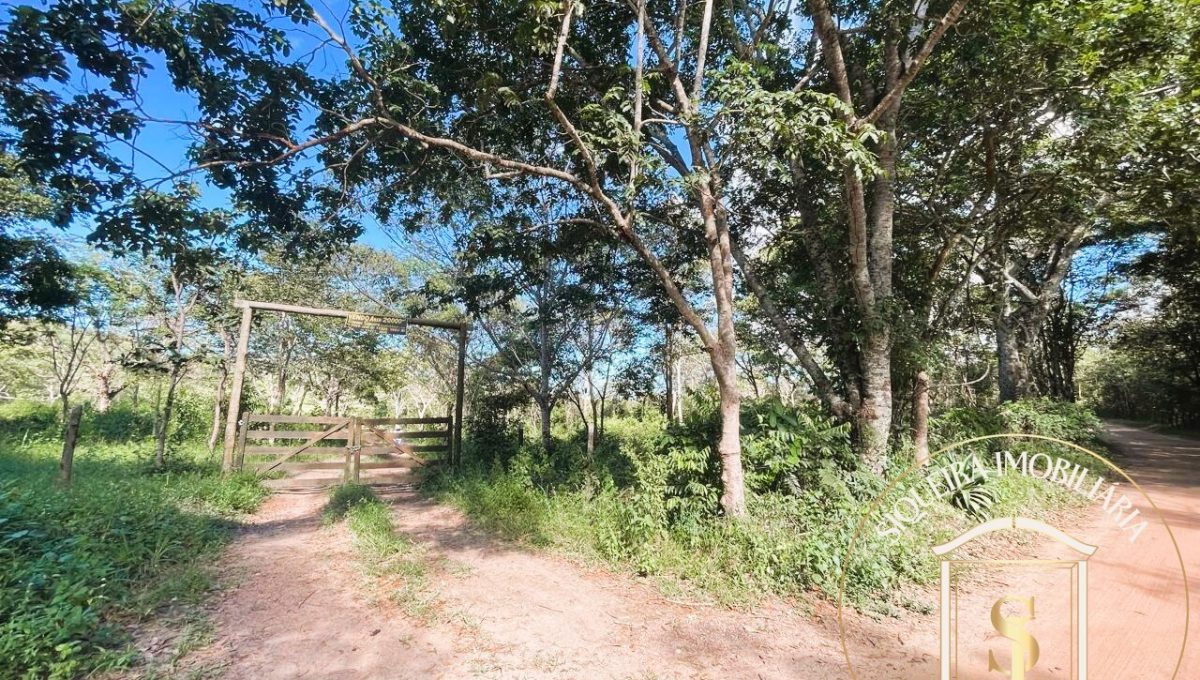 Siqueira Imóveis de Pirenópolis / Goiás / BrasilVenda de Casa em Brasília é na Siqueira Imobiliária de Pirenópolis / Imobiliária de Goiás / Imobiliária do Brasil / Imobiliária do Centro-Oeste / Pirenópolis Imóveis / Imóveis Pirenópolis / Imobiliária de Pirenópolis / Pirenópolis Imobiliária / Goiás Imóveis / Brasil Imóveis / Pirenópolis / Goiás / Brasil / Siqueira Imobiliária de Goiás / Consultoria Imobiliária / Consultor Imobiliário / Venda de Imóveis Pirenópolis / Melhor Imobiliária de Pirenópolis / Venda de pousadas / Venda de terrenos / venda de casas/ Venda de Lotes / Venda de Chácara / Venda de Fazenda / Venda de Apartamentos / Venda de Flat / Venda de Sítio / Brasília Imóveis / Goiânia Imóveis / Imobiliária de Goiânia / Imobiliária de Brasília/ Imobiliária em Pirenópolis / Imobiliária de Pirenópolis / Condomínio Fechado Vaga Fogo / Condomínio Paço da Estalagem / Condomínio Parque da Estalagem / Condomínio Quinta do Sol / Condomínio Fechado Pirenópolis / Cachoeiras Pirenópolis / Restaurante Pirenópolis /Siqueira Imóveis de Pirenópolis / Goiás / BrasilVenda de Casa em Brasília é na Siqueira Imobiliária de Pirenópolis / Imobiliária de Goiás / Imobiliária do Brasil / Imobiliária do Centro-Oeste / Pirenópolis Imóveis / Imóveis Pirenópolis / Imobiliária de Pirenópolis / Pirenópolis Imobiliária / Goiás Imóveis / Brasil Imóveis / Pirenópolis / Goiás / Brasil / Siqueira Imobiliária de Goiás / Consultoria Imobiliária / Consultor Imobiliário / Venda de Imóveis Pirenópolis / Melhor Imobiliária de Pirenópolis / Venda de pousadas / Venda de terrenos / venda de casas/ Venda de Lotes / Venda de Chácara / Venda de Fazenda / Venda de Apartamentos / Venda de Flat / Venda de Sítio / Brasília Imóveis / Goiânia Imóveis / Imobiliária de Goiânia / Imobiliária de Brasília/ Imobiliária em Pirenópolis / Imobiliária de Pirenópolis / Condomínio Fechado Vaga Fogo / Condomínio Paço da Estalagem / Condomínio Parque da Estalagem / Condomínio Quinta do Sol / Condomínio Fechado Pirenópolis / Cachoeiras Pirenópolis / Restaurante Pirenópolis /Siqueira Imóveis de Pirenópolis / Goiás / BrasilVenda de Casa em Brasília é na Siqueira Imobiliária de Pirenópolis / Imobiliária de Goiás / Imobiliária do Brasil / Imobiliária do Centro-Oeste / Pirenópolis Imóveis / Imóveis Pirenópolis / Imobiliária de Pirenópolis / Pirenópolis Imobiliária / Goiás Imóveis / Brasil Imóveis / Pirenópolis / Goiás / Brasil / Siqueira Imobiliária de Goiás / Consultoria Imobiliária / Consultor Imobiliário / Venda de Imóveis Pirenópolis / Melhor Imobiliária de Pirenópolis / Venda de pousadas / Venda de terrenos / venda de casas/ Venda de Lotes / Venda de Chácara / Venda de Fazenda / Venda de Apartamentos / Venda de Flat / Venda de Sítio / Brasília Imóveis / Goiânia Imóveis / Imobiliária de Goiânia / Imobiliária de Brasília/ Imobiliária em Pirenópolis / Imobiliária de Pirenópolis / Condomínio Fechado Vaga Fogo / Condomínio Paço da Estalagem / Condomínio Parque da Estalagem / Condomínio Quinta do Sol / Condomínio Fechado Pirenópolis / Cachoeiras Pirenópolis / Restaurante Pirenópolis /Siqueira Imóveis de Pirenópolis / Goiás / BrasilVenda de Casa em Brasília é na Siqueira Imobiliária de Pirenópolis / Imobiliária de Goiás / Imobiliária do Brasil / Imobiliária do Centro-Oeste / Pirenópolis Imóveis / Imóveis Pirenópolis / Imobiliária de Pirenópolis / Pirenópolis Imobiliária / Goiás Imóveis / Brasil Imóveis / Pirenópolis / Goiás / Brasil / Siqueira Imobiliária de Goiás / Consultoria Imobiliária / Consultor Imobiliário / Venda de Imóveis Pirenópolis / Melhor Imobiliária de Pirenópolis / Venda de pousadas / Venda de terrenos / venda de casas/ Venda de Lotes / Venda de Chácara / Venda de Fazenda / Venda de Apartamentos / Venda de Flat / Venda de Sítio / Brasília Imóveis / Goiânia Imóveis / Imobiliária de Goiânia / Imobiliária de Brasília/ Imobiliária em Pirenópolis / Imobiliária de Pirenópolis / Condomínio Fechado Vaga Fogo / Condomínio Paço da Estalagem / Condomínio Parque da Estalagem / Condomínio Quinta do Sol / Condomínio Fechado Pirenópolis / Cachoeiras Pirenópolis / Restaurante Pirenópolis /